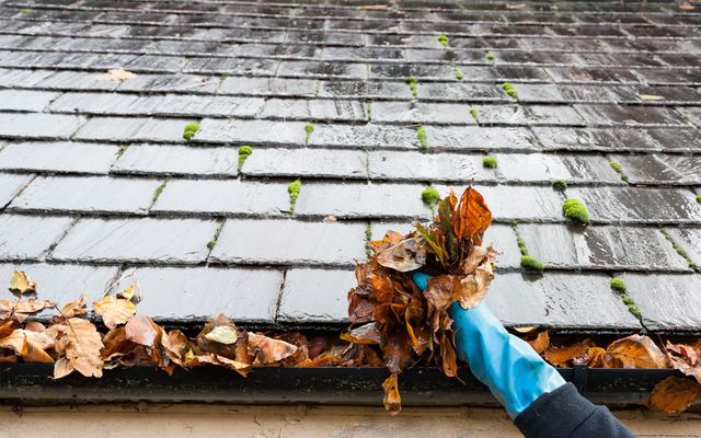 Roof And Gutter Cleaning