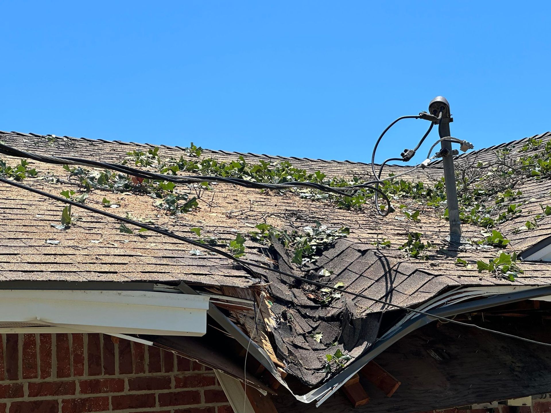 tree removal; tree service; arborist; tree removal choctaw, OK; tree removal midwest city, ok; tree removal nicoma park, ok; tree service choctaw, ok; tree service midwest city, ok; tree service nicoma park, ok tree removal harrah, tree removal choctaw, tree removal mcloud, tree removal jones, tree removal luther, tree removal edmond, tree removal arcadia, tree removal shawnee, tree removal meeker, tree removal nicoma park, tree removal spencer, tree removal mwc, tree removal midwest city, tree removal del city, tree removal okc, tree removal oklahoma city, tree removal moore, tree removal dale, tree removal midway, tree removal fowler, tree removal jacktown,  tree removal bethel acres, tree removal tecumseh, tree removal pink, tree removal nichols hills, tree removal the village, tree removal wellston, tree removal lake thunderbird, tree removal thunderbird, tree service harrah, tree service choctaw, tree service mcloud, tree service jones, tree service luther, tree service edmond, tree service arcadia, tree service shawnee, tree service meeker, tree service nicoma park, tree service spencer, tree service mwc, tree service midwest city, tree service del city, tree service okc, tree service oklahoma city, tree service moore, tree service dale, tree service midway, tree service fowler, tree service jacktown,  tree service bethel acres, tree service tecumseh, tree service pink, tree service nichols hills, tree service the village, tree service wellston, tree service lake thunderbird, tree service thunderbird, tree services harrah, tree services choctaw, tree services mcloud, tree services jones, tree services luther, tree services edmond, tree services arcadia, tree services shawnee, tree services meeker, tree services nicoma park, tree services spencer, tree services mwc, tree services midwest city, tree services del city, tree services okc, tree services oklahoma city, tree services moore, tree services dale, tree services midway, tree services fowler, tree services jacktown,  tree services bethel acres, tree services tecumseh, tree services pink, tree services nichols hills, tree services the village, tree services wellston, tree services lake thunderbird, tree services thunderbird, tree pruning harrah, tree pruning choctaw, tree pruning mcloud, tree pruning jones, tree pruning luther, tree pruning edmond, tree pruning arcadia, tree pruning shawnee, tree pruning meeker, tree pruning nicoma park, tree pruning spencer, tree pruning mwc, tree pruning midwest city, tree pruning del city, tree pruning okc, tree pruning oklahoma city, tree pruning moore, tree pruning dale, tree pruning midway, tree pruning fowler, tree pruning jacktown,  tree pruning bethel acres, tree pruning tecumseh, tree pruning pink, tree pruning nichols hills, tree pruning the village, tree pruning wellston, tree pruning lake thunderbird, tree pruning thunderbird, tree trimming harrah, tree trimming choctaw, tree trimming mcloud, tree trimming jones, tree trimming luther, tree trimming edmond, tree trimming arcadia, tree trimming shawnee, tree trimming meeker, tree trimming nicoma park, tree trimming spencer, tree trimming mwc, tree trimming midwest city, tree trimming del city, tree trimming okc, tree trimming oklahoma city, tree trimming moore, tree trimming dale, tree trimming midway, tree trimming fowler, tree trimming jacktown,  tree trimming bethel acres, tree trimming tecumseh, tree trimming pink, tree trimming nichols hills, tree trimming the village, tree trimming wellston, tree trimming lake thunderbird, tree trimming thunderbird, stump grinding harrah, stump grinding  choctaw, stump grinding mcloud, stump grinding jones, stump grinding luther, stump grinding  edmond, stump grinding arcadia, stump grinding shawnee, stump grinding meeker, stump grinding nicoma park, stump grinding spencer, stump grinding mwc, stump grinding midwest city, stump grinding del city, stump grinding okc, stump grinding oklahoma city, stump grinding moore, stump grinding dale, stump grinding midway, stump grinding fowler, stump grinding jacktown, stump grinding bethel acres, stump grinding tecumseh, stump grinding pink, stump grinding nichols hills, stump grinding the village, stump grinding wellston, stump grinding lake thunderbird, stump grinding thunderbird, harrah tree removal, choctaw tree removal, mcloud tree removal, jones tree removal, luther tree removal, edmond tree removal, arcadia tree removal, shawnee tree removal, meeker tree removal, nicoma park tree removal, spencer tree removal, mwc tree removal, midwest city tree removal, del city tree removal, okc tree removal, oklahoma city tree removal, moore tree removal, dale tree removal, midway tree removal, fowler tree removal, jacktown tree removal, bethel acres tree removal,  tecumseh tree removal, pink tree removal, nichols hills tree removal, the village tree removal, wellston tree removal, lake thunderbird tree removal, thunderbird tree removal, harrah tree service, choctaw tree service, mcloud tree service, jones tree service, luther tree service, edmond tree service, arcadia tree service, shawnee tree service, meeker tree service, nicoma park tree service, spencer tree service, mwc tree service, midwest city tree service, del city tree service, okc tree service, oklahoma city tree service, moore tree service, dale tree service, midway tree service, fowler tree service, jacktown tree service, bethel acres tree service,  tecumseh tree service, pink tree service, nichols hills tree service, the village tree service, wellston tree service, lake thunderbird tree service, thunderbird tree service, harrah tree services, choctaw tree services, mcloud tree services, jones tree services, luther tree services, edmond tree services, arcadia tree services, shawnee tree services, meeker tree services, nicoma park tree services, spencer tree services, mwc tree services, midwest city tree services, del city tree services, okc tree services, oklahoma city tree services, moore tree services, dale tree services, midway tree services, fowler tree services, jacktown tree services, bethel acres tree services,  tecumseh tree services, pink tree services, nichols hills tree services, the village tree services, wellston tree services, lake thunderbird tree services, thunderbird tree services, harrah tree pruning, choctaw tree pruning, mcloud tree pruning, jones tree pruning, luther tree pruning, edmond tree pruning, arcadia tree pruning, shawnee tree pruning, meeker tree pruning, nicoma park tree pruning, spencer tree pruning, mwc tree pruning, midwest city tree pruning, del city tree pruning, okc tree pruning, oklahoma city tree pruning, moore tree pruning, dale tree pruning, midway tree pruning, fowler tree pruning, jacktown tree pruning, bethel acres tree pruning,  tecumseh tree pruning, pink tree pruning, nichols hills tree pruning, the village tree pruning, wellston tree pruning, lake thunderbird tree pruning, thunderbird tree pruning, harrah tree trimming, choctaw tree trimming, mcloud tree trimming, jones tree trimming, luther tree trimming, edmond tree trimming, arcadia tree trimming, shawnee tree trimming, meeker tree trimming, nicoma park tree trimming, spencer tree trimming, mwc tree trimming, midwest city tree trimming, del city tree trimming, okc tree trimming, oklahoma city tree trimming, moore tree trimming, dale tree trimming, midway tree trimming, fowler tree trimming, jacktown tree trimming, bethel acres tree trimming,  tecumseh tree trimming, pink tree trimming, nichols hills tree trimming, the village tree trimming, wellston tree trimming, lake thunderbird tree trimming, thunderbird tree trimming, harrah stump grinding, choctaw stump grinding, mcloud stump grinding, jones stump grinding, luther stump grinding, edmond stump grinding, arcadia stump grinding, shawnee stump grinding, meeker stump grinding, nicoma park stump grinding, spencer stump grinding, mwc stump grinding, midwest city stump grinding, del city stump grinding, okc stump grinding, oklahoma city stump grinding, moore stump grinding, dale stump grinding, midway stump grinding, fowler stump grinding, jacktown stump grinding, bethel acres stump grinding,  tecumseh stump grinding, pink stump grinding, nichols hills stump grinding, the village stump grinding, wellston stump grinding, lake thunderbird stump grinding, thunderbird stump grinding, harrah arborist, choctaw arborist, mcloud arborist, jones arborist, luther arborist, edmond arborist, arcadia arborist, shawnee arborist, meeker arborist, nicoma park arborist, spencer arborist, mwc arborist, midwest city arborist, del city arborist, okc arborist, oklahoma city arborist, moore arborist, dale arborist, midway arborist, fowler arborist, jacktown arborist, bethel acres arborist,  tecumseh arborist, pink arborist, nichols hills arborist, the village arborist, wellston arborist, lake thunderbird arborist, thunderbird arborist, arborist harrah, arborist choctaw, arborist mcloud, arborist jones, arborist luther, arborist edmond, arborist arcadia, arborist shawnee, arborist meeker, arborist nicoma park, arborist spencer, arborist mwc, arborist midwest city, arborist del city, arborist okc, arborist oklahoma city, arborist moore, arborist dale, arborist midway, arborist fowler, arborist jacktown, arborist bethel acres, arborist tecumseh, arborist pink, arborist nichols hills, arborist the village, arborist wellston, arborist lake thunderbird, arborist thunderbird,