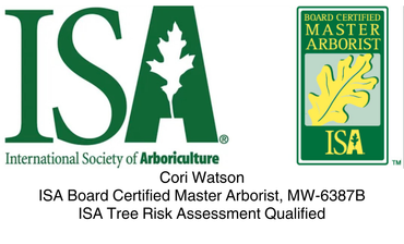 International Society of Arboriculture