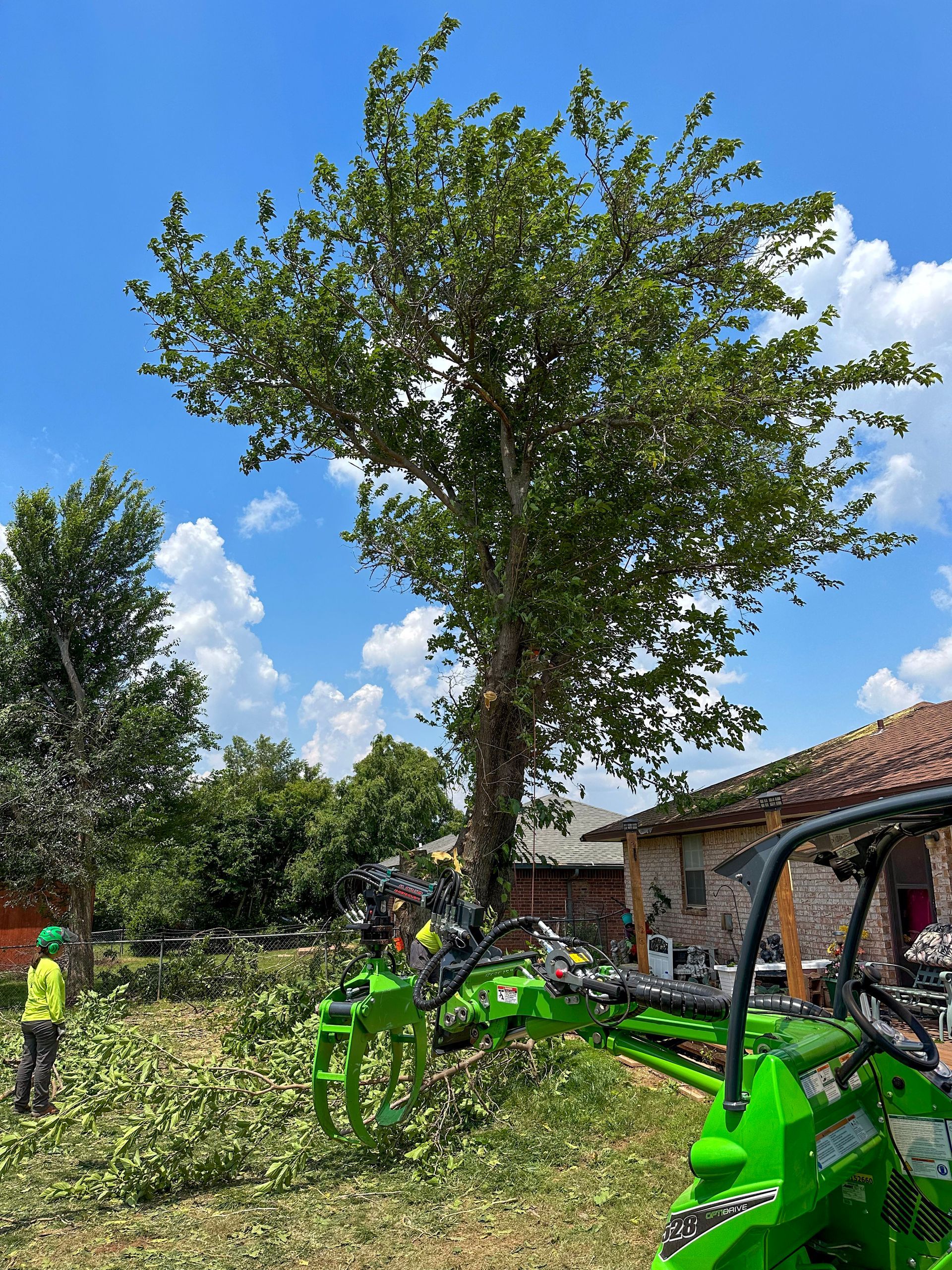 tree removal; tree service; arborist; tree removal choctaw, OK; tree removal midwest city, ok; tree removal nicoma park, ok; tree service choctaw, ok; tree service midwest city, ok; tree service nicoma park, ok tree removal harrah, tree removal choctaw, tree removal mcloud, tree removal jones, tree removal luther, tree removal edmond, tree removal arcadia, tree removal shawnee, tree removal meeker, tree removal nicoma park, tree removal spencer, tree removal mwc, tree removal midwest city, tree removal del city, tree removal okc, tree removal oklahoma city, tree removal moore, tree removal dale, tree removal midway, tree removal fowler, tree removal jacktown,  tree removal bethel acres, tree removal tecumseh, tree removal pink, tree removal nichols hills, tree removal the village, tree removal wellston, tree removal lake thunderbird, tree removal thunderbird, tree service harrah, tree service choctaw, tree service mcloud, tree service jones, tree service luther, tree service edmond, tree service arcadia, tree service shawnee, tree service meeker, tree service nicoma park, tree service spencer, tree service mwc, tree service midwest city, tree service del city, tree service okc, tree service oklahoma city, tree service moore, tree service dale, tree service midway, tree service fowler, tree service jacktown,  tree service bethel acres, tree service tecumseh, tree service pink, tree service nichols hills, tree service the village, tree service wellston, tree service lake thunderbird, tree service thunderbird, tree services harrah, tree services choctaw, tree services mcloud, tree services jones, tree services luther, tree services edmond, tree services arcadia, tree services shawnee, tree services meeker, tree services nicoma park, tree services spencer, tree services mwc, tree services midwest city, tree services del city, tree services okc, tree services oklahoma city, tree services moore, tree services dale, tree services midway, tree services fowler, tree services jacktown,  tree services bethel acres, tree services tecumseh, tree services pink, tree services nichols hills, tree services the village, tree services wellston, tree services lake thunderbird, tree services thunderbird, tree pruning harrah, tree pruning choctaw, tree pruning mcloud, tree pruning jones, tree pruning luther, tree pruning edmond, tree pruning arcadia, tree pruning shawnee, tree pruning meeker, tree pruning nicoma park, tree pruning spencer, tree pruning mwc, tree pruning midwest city, tree pruning del city, tree pruning okc, tree pruning oklahoma city, tree pruning moore, tree pruning dale, tree pruning midway, tree pruning fowler, tree pruning jacktown,  tree pruning bethel acres, tree pruning tecumseh, tree pruning pink, tree pruning nichols hills, tree pruning the village, tree pruning wellston, tree pruning lake thunderbird, tree pruning thunderbird, tree trimming harrah, tree trimming choctaw, tree trimming mcloud, tree trimming jones, tree trimming luther, tree trimming edmond, tree trimming arcadia, tree trimming shawnee, tree trimming meeker, tree trimming nicoma park, tree trimming spencer, tree trimming mwc, tree trimming midwest city, tree trimming del city, tree trimming okc, tree trimming oklahoma city, tree trimming moore, tree trimming dale, tree trimming midway, tree trimming fowler, tree trimming jacktown,  tree trimming bethel acres, tree trimming tecumseh, tree trimming pink, tree trimming nichols hills, tree trimming the village, tree trimming wellston, tree trimming lake thunderbird, tree trimming thunderbird, stump grinding harrah, stump grinding  choctaw, stump grinding mcloud, stump grinding jones, stump grinding luther, stump grinding  edmond, stump grinding arcadia, stump grinding shawnee, stump grinding meeker, stump grinding nicoma park, stump grinding spencer, stump grinding mwc, stump grinding midwest city, stump grinding del city, stump grinding okc, stump grinding oklahoma city, stump grinding moore, stump grinding dale, stump grinding midway, stump grinding fowler, stump grinding jacktown, stump grinding bethel acres, stump grinding tecumseh, stump grinding pink, stump grinding nichols hills, stump grinding the village, stump grinding wellston, stump grinding lake thunderbird, stump grinding thunderbird, harrah tree removal, choctaw tree removal, mcloud tree removal, jones tree removal, luther tree removal, edmond tree removal, arcadia tree removal, shawnee tree removal, meeker tree removal, nicoma park tree removal, spencer tree removal, mwc tree removal, midwest city tree removal, del city tree removal, okc tree removal, oklahoma city tree removal, moore tree removal, dale tree removal, midway tree removal, fowler tree removal, jacktown tree removal, bethel acres tree removal,  tecumseh tree removal, pink tree removal, nichols hills tree removal, the village tree removal, wellston tree removal, lake thunderbird tree removal, thunderbird tree removal, harrah tree service, choctaw tree service, mcloud tree service, jones tree service, luther tree service, edmond tree service, arcadia tree service, shawnee tree service, meeker tree service, nicoma park tree service, spencer tree service, mwc tree service, midwest city tree service, del city tree service, okc tree service, oklahoma city tree service, moore tree service, dale tree service, midway tree service, fowler tree service, jacktown tree service, bethel acres tree service,  tecumseh tree service, pink tree service, nichols hills tree service, the village tree service, wellston tree service, lake thunderbird tree service, thunderbird tree service, harrah tree services, choctaw tree services, mcloud tree services, jones tree services, luther tree services, edmond tree services, arcadia tree services, shawnee tree services, meeker tree services, nicoma park tree services, spencer tree services, mwc tree services, midwest city tree services, del city tree services, okc tree services, oklahoma city tree services, moore tree services, dale tree services, midway tree services, fowler tree services, jacktown tree services, bethel acres tree services,  tecumseh tree services, pink tree services, nichols hills tree services, the village tree services, wellston tree services, lake thunderbird tree services, thunderbird tree services, harrah tree pruning, choctaw tree pruning, mcloud tree pruning, jones tree pruning, luther tree pruning, edmond tree pruning, arcadia tree pruning, shawnee tree pruning, meeker tree pruning, nicoma park tree pruning, spencer tree pruning, mwc tree pruning, midwest city tree pruning, del city tree pruning, okc tree pruning, oklahoma city tree pruning, moore tree pruning, dale tree pruning, midway tree pruning, fowler tree pruning, jacktown tree pruning, bethel acres tree pruning,  tecumseh tree pruning, pink tree pruning, nichols hills tree pruning, the village tree pruning, wellston tree pruning, lake thunderbird tree pruning, thunderbird tree pruning, harrah tree trimming, choctaw tree trimming, mcloud tree trimming, jones tree trimming, luther tree trimming, edmond tree trimming, arcadia tree trimming, shawnee tree trimming, meeker tree trimming, nicoma park tree trimming, spencer tree trimming, mwc tree trimming, midwest city tree trimming, del city tree trimming, okc tree trimming, oklahoma city tree trimming, moore tree trimming, dale tree trimming, midway tree trimming, fowler tree trimming, jacktown tree trimming, bethel acres tree trimming,  tecumseh tree trimming, pink tree trimming, nichols hills tree trimming, the village tree trimming, wellston tree trimming, lake thunderbird tree trimming, thunderbird tree trimming, harrah stump grinding, choctaw stump grinding, mcloud stump grinding, jones stump grinding, luther stump grinding, edmond stump grinding, arcadia stump grinding, shawnee stump grinding, meeker stump grinding, nicoma park stump grinding, spencer stump grinding, mwc stump grinding, midwest city stump grinding, del city stump grinding, okc stump grinding, oklahoma city stump grinding, moore stump grinding, dale stump grinding, midway stump grinding, fowler stump grinding, jacktown stump grinding, bethel acres stump grinding,  tecumseh stump grinding, pink stump grinding, nichols hills stump grinding, the village stump grinding, wellston stump grinding, lake thunderbird stump grinding, thunderbird stump grinding, harrah arborist, choctaw arborist, mcloud arborist, jones arborist, luther arborist, edmond arborist, arcadia arborist, shawnee arborist, meeker arborist, nicoma park arborist, spencer arborist, mwc arborist, midwest city arborist, del city arborist, okc arborist, oklahoma city arborist, moore arborist, dale arborist, midway arborist, fowler arborist, jacktown arborist, bethel acres arborist,  tecumseh arborist, pink arborist, nichols hills arborist, the village arborist, wellston arborist, lake thunderbird arborist, thunderbird arborist, arborist harrah, arborist choctaw, arborist mcloud, arborist jones, arborist luther, arborist edmond, arborist arcadia, arborist shawnee, arborist meeker, arborist nicoma park, arborist spencer, arborist mwc, arborist midwest city, arborist del city, arborist okc, arborist oklahoma city, arborist moore, arborist dale, arborist midway, arborist fowler, arborist jacktown, arborist bethel acres, arborist tecumseh, arborist pink, arborist nichols hills, arborist the village, arborist wellston, arborist lake thunderbird, arborist thunderbird,