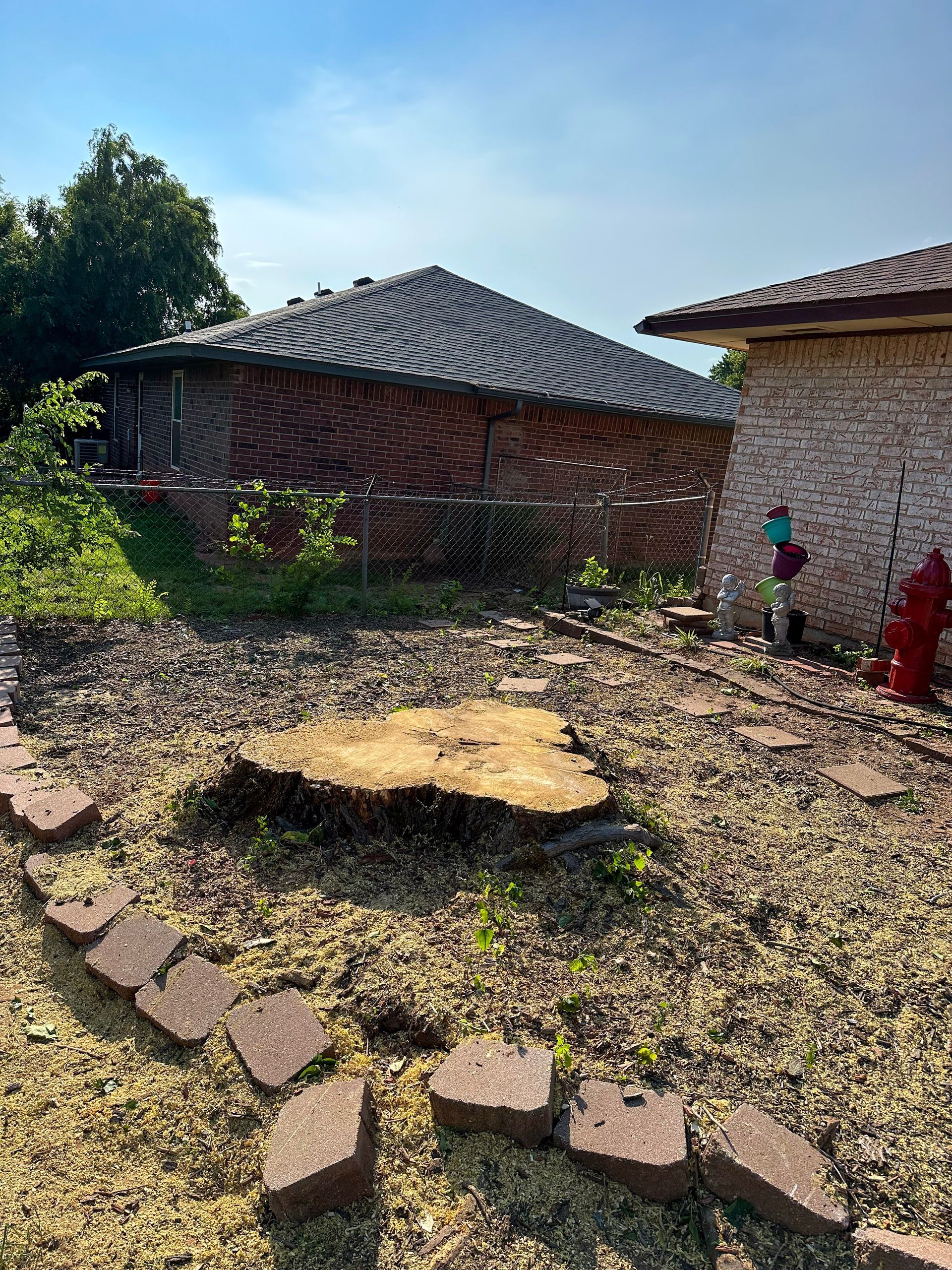 tree removal; tree service; arborist; tree removal choctaw, OK; tree removal midwest city, ok; tree removal nicoma park, ok; tree service choctaw, ok; tree service midwest city, ok; tree service nicoma park, ok tree removal harrah, tree removal choctaw, tree removal mcloud, tree removal jones, tree removal luther, tree removal edmond, tree removal arcadia, tree removal shawnee, tree removal meeker, tree removal nicoma park, tree removal spencer, tree removal mwc, tree removal midwest city, tree removal del city, tree removal okc, tree removal oklahoma city, tree removal moore, tree removal dale, tree removal midway, tree removal fowler, tree removal jacktown,  tree removal bethel acres, tree removal tecumseh, tree removal pink, tree removal nichols hills, tree removal the village, tree removal wellston, tree removal lake thunderbird, tree removal thunderbird, tree service harrah, tree service choctaw, tree service mcloud, tree service jones, tree service luther, tree service edmond, tree service arcadia, tree service shawnee, tree service meeker, tree service nicoma park, tree service spencer, tree service mwc, tree service midwest city, tree service del city, tree service okc, tree service oklahoma city, tree service moore, tree service dale, tree service midway, tree service fowler, tree service jacktown,  tree service bethel acres, tree service tecumseh, tree service pink, tree service nichols hills, tree service the village, tree service wellston, tree service lake thunderbird, tree service thunderbird, tree services harrah, tree services choctaw, tree services mcloud, tree services jones, tree services luther, tree services edmond, tree services arcadia, tree services shawnee, tree services meeker, tree services nicoma park, tree services spencer, tree services mwc, tree services midwest city, tree services del city, tree services okc, tree services oklahoma city, tree services moore, tree services dale, tree services midway, tree services fowler, tree services jacktown,  tree services bethel acres, tree services tecumseh, tree services pink, tree services nichols hills, tree services the village, tree services wellston, tree services lake thunderbird, tree services thunderbird, tree pruning harrah, tree pruning choctaw, tree pruning mcloud, tree pruning jones, tree pruning luther, tree pruning edmond, tree pruning arcadia, tree pruning shawnee, tree pruning meeker, tree pruning nicoma park, tree pruning spencer, tree pruning mwc, tree pruning midwest city, tree pruning del city, tree pruning okc, tree pruning oklahoma city, tree pruning moore, tree pruning dale, tree pruning midway, tree pruning fowler, tree pruning jacktown,  tree pruning bethel acres, tree pruning tecumseh, tree pruning pink, tree pruning nichols hills, tree pruning the village, tree pruning wellston, tree pruning lake thunderbird, tree pruning thunderbird, tree trimming harrah, tree trimming choctaw, tree trimming mcloud, tree trimming jones, tree trimming luther, tree trimming edmond, tree trimming arcadia, tree trimming shawnee, tree trimming meeker, tree trimming nicoma park, tree trimming spencer, tree trimming mwc, tree trimming midwest city, tree trimming del city, tree trimming okc, tree trimming oklahoma city, tree trimming moore, tree trimming dale, tree trimming midway, tree trimming fowler, tree trimming jacktown,  tree trimming bethel acres, tree trimming tecumseh, tree trimming pink, tree trimming nichols hills, tree trimming the village, tree trimming wellston, tree trimming lake thunderbird, tree trimming thunderbird, stump grinding harrah, stump grinding  choctaw, stump grinding mcloud, stump grinding jones, stump grinding luther, stump grinding  edmond, stump grinding arcadia, stump grinding shawnee, stump grinding meeker, stump grinding nicoma park, stump grinding spencer, stump grinding mwc, stump grinding midwest city, stump grinding del city, stump grinding okc, stump grinding oklahoma city, stump grinding moore, stump grinding dale, stump grinding midway, stump grinding fowler, stump grinding jacktown, stump grinding bethel acres, stump grinding tecumseh, stump grinding pink, stump grinding nichols hills, stump grinding the village, stump grinding wellston, stump grinding lake thunderbird, stump grinding thunderbird, harrah tree removal, choctaw tree removal, mcloud tree removal, jones tree removal, luther tree removal, edmond tree removal, arcadia tree removal, shawnee tree removal, meeker tree removal, nicoma park tree removal, spencer tree removal, mwc tree removal, midwest city tree removal, del city tree removal, okc tree removal, oklahoma city tree removal, moore tree removal, dale tree removal, midway tree removal, fowler tree removal, jacktown tree removal, bethel acres tree removal,  tecumseh tree removal, pink tree removal, nichols hills tree removal, the village tree removal, wellston tree removal, lake thunderbird tree removal, thunderbird tree removal, harrah tree service, choctaw tree service, mcloud tree service, jones tree service, luther tree service, edmond tree service, arcadia tree service, shawnee tree service, meeker tree service, nicoma park tree service, spencer tree service, mwc tree service, midwest city tree service, del city tree service, okc tree service, oklahoma city tree service, moore tree service, dale tree service, midway tree service, fowler tree service, jacktown tree service, bethel acres tree service,  tecumseh tree service, pink tree service, nichols hills tree service, the village tree service, wellston tree service, lake thunderbird tree service, thunderbird tree service, harrah tree services, choctaw tree services, mcloud tree services, jones tree services, luther tree services, edmond tree services, arcadia tree services, shawnee tree services, meeker tree services, nicoma park tree services, spencer tree services, mwc tree services, midwest city tree services, del city tree services, okc tree services, oklahoma city tree services, moore tree services, dale tree services, midway tree services, fowler tree services, jacktown tree services, bethel acres tree services,  tecumseh tree services, pink tree services, nichols hills tree services, the village tree services, wellston tree services, lake thunderbird tree services, thunderbird tree services, harrah tree pruning, choctaw tree pruning, mcloud tree pruning, jones tree pruning, luther tree pruning, edmond tree pruning, arcadia tree pruning, shawnee tree pruning, meeker tree pruning, nicoma park tree pruning, spencer tree pruning, mwc tree pruning, midwest city tree pruning, del city tree pruning, okc tree pruning, oklahoma city tree pruning, moore tree pruning, dale tree pruning, midway tree pruning, fowler tree pruning, jacktown tree pruning, bethel acres tree pruning,  tecumseh tree pruning, pink tree pruning, nichols hills tree pruning, the village tree pruning, wellston tree pruning, lake thunderbird tree pruning, thunderbird tree pruning, harrah tree trimming, choctaw tree trimming, mcloud tree trimming, jones tree trimming, luther tree trimming, edmond tree trimming, arcadia tree trimming, shawnee tree trimming, meeker tree trimming, nicoma park tree trimming, spencer tree trimming, mwc tree trimming, midwest city tree trimming, del city tree trimming, okc tree trimming, oklahoma city tree trimming, moore tree trimming, dale tree trimming, midway tree trimming, fowler tree trimming, jacktown tree trimming, bethel acres tree trimming,  tecumseh tree trimming, pink tree trimming, nichols hills tree trimming, the village tree trimming, wellston tree trimming, lake thunderbird tree trimming, thunderbird tree trimming, harrah stump grinding, choctaw stump grinding, mcloud stump grinding, jones stump grinding, luther stump grinding, edmond stump grinding, arcadia stump grinding, shawnee stump grinding, meeker stump grinding, nicoma park stump grinding, spencer stump grinding, mwc stump grinding, midwest city stump grinding, del city stump grinding, okc stump grinding, oklahoma city stump grinding, moore stump grinding, dale stump grinding, midway stump grinding, fowler stump grinding, jacktown stump grinding, bethel acres stump grinding,  tecumseh stump grinding, pink stump grinding, nichols hills stump grinding, the village stump grinding, wellston stump grinding, lake thunderbird stump grinding, thunderbird stump grinding, harrah arborist, choctaw arborist, mcloud arborist, jones arborist, luther arborist, edmond arborist, arcadia arborist, shawnee arborist, meeker arborist, nicoma park arborist, spencer arborist, mwc arborist, midwest city arborist, del city arborist, okc arborist, oklahoma city arborist, moore arborist, dale arborist, midway arborist, fowler arborist, jacktown arborist, bethel acres arborist,  tecumseh arborist, pink arborist, nichols hills arborist, the village arborist, wellston arborist, lake thunderbird arborist, thunderbird arborist, arborist harrah, arborist choctaw, arborist mcloud, arborist jones, arborist luther, arborist edmond, arborist arcadia, arborist shawnee, arborist meeker, arborist nicoma park, arborist spencer, arborist mwc, arborist midwest city, arborist del city, arborist okc, arborist oklahoma city, arborist moore, arborist dale, arborist midway, arborist fowler, arborist jacktown, arborist bethel acres, arborist tecumseh, arborist pink, arborist nichols hills, arborist the village, arborist wellston, arborist lake thunderbird, arborist thunderbird,