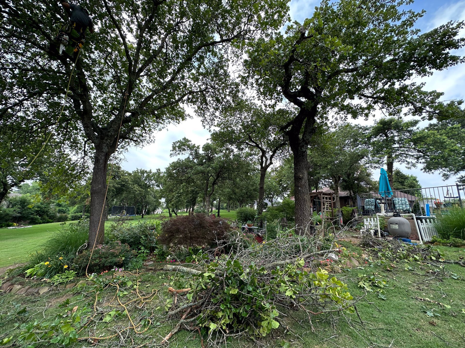 tree removal; tree service; arborist; tree removal choctaw, OK; tree removal midwest city, ok; tree removal nicoma park, ok; tree service choctaw, ok; tree service midwest city, ok; tree service nicoma park, ok tree removal harrah, tree removal choctaw, tree removal mcloud, tree removal jones, tree removal luther, tree removal edmond, tree removal arcadia, tree removal shawnee, tree removal meeker, tree removal nicoma park, tree removal spencer, tree removal mwc, tree removal midwest city, tree removal del city, tree removal okc, tree removal oklahoma city, tree removal moore, tree removal dale, tree removal midway, tree removal fowler, tree removal jacktown,  tree removal bethel acres, tree removal tecumseh, tree removal pink, tree removal nichols hills, tree removal the village, tree removal wellston, tree removal lake thunderbird, tree removal thunderbird, tree service harrah, tree service choctaw, tree service mcloud, tree service jones, tree service luther, tree service edmond, tree service arcadia, tree service shawnee, tree service meeker, tree service nicoma park, tree service spencer, tree service mwc, tree service midwest city, tree service del city, tree service okc, tree service oklahoma city, tree service moore, tree service dale, tree service midway, tree service fowler, tree service jacktown,  tree service bethel acres, tree service tecumseh, tree service pink, tree service nichols hills, tree service the village, tree service wellston, tree service lake thunderbird, tree service thunderbird, tree services harrah, tree services choctaw, tree services mcloud, tree services jones, tree services luther, tree services edmond, tree services arcadia, tree services shawnee, tree services meeker, tree services nicoma park, tree services spencer, tree services mwc, tree services midwest city, tree services del city, tree services okc, tree services oklahoma city, tree services moore, tree services dale, tree services midway, tree services fowler, tree services jacktown,  tree services bethel acres, tree services tecumseh, tree services pink, tree services nichols hills, tree services the village, tree services wellston, tree services lake thunderbird, tree services thunderbird, tree pruning harrah, tree pruning choctaw, tree pruning mcloud, tree pruning jones, tree pruning luther, tree pruning edmond, tree pruning arcadia, tree pruning shawnee, tree pruning meeker, tree pruning nicoma park, tree pruning spencer, tree pruning mwc, tree pruning midwest city, tree pruning del city, tree pruning okc, tree pruning oklahoma city, tree pruning moore, tree pruning dale, tree pruning midway, tree pruning fowler, tree pruning jacktown,  tree pruning bethel acres, tree pruning tecumseh, tree pruning pink, tree pruning nichols hills, tree pruning the village, tree pruning wellston, tree pruning lake thunderbird, tree pruning thunderbird, tree trimming harrah, tree trimming choctaw, tree trimming mcloud, tree trimming jones, tree trimming luther, tree trimming edmond, tree trimming arcadia, tree trimming shawnee, tree trimming meeker, tree trimming nicoma park, tree trimming spencer, tree trimming mwc, tree trimming midwest city, tree trimming del city, tree trimming okc, tree trimming oklahoma city, tree trimming moore, tree trimming dale, tree trimming midway, tree trimming fowler, tree trimming jacktown,  tree trimming bethel acres, tree trimming tecumseh, tree trimming pink, tree trimming nichols hills, tree trimming the village, tree trimming wellston, tree trimming lake thunderbird, tree trimming thunderbird, stump grinding harrah, stump grinding  choctaw, stump grinding mcloud, stump grinding jones, stump grinding luther, stump grinding  edmond, stump grinding arcadia, stump grinding shawnee, stump grinding meeker, stump grinding nicoma park, stump grinding spencer, stump grinding mwc, stump grinding midwest city, stump grinding del city, stump grinding okc, stump grinding oklahoma city, stump grinding moore, stump grinding dale, stump grinding midway, stump grinding fowler, stump grinding jacktown, stump grinding bethel acres, stump grinding tecumseh, stump grinding pink, stump grinding nichols hills, stump grinding the village, stump grinding wellston, stump grinding lake thunderbird, stump grinding thunderbird, harrah tree removal, choctaw tree removal, mcloud tree removal, jones tree removal, luther tree removal, edmond tree removal, arcadia tree removal, shawnee tree removal, meeker tree removal, nicoma park tree removal, spencer tree removal, mwc tree removal, midwest city tree removal, del city tree removal, okc tree removal, oklahoma city tree removal, moore tree removal, dale tree removal, midway tree removal, fowler tree removal, jacktown tree removal, bethel acres tree removal,  tecumseh tree removal, pink tree removal, nichols hills tree removal, the village tree removal, wellston tree removal, lake thunderbird tree removal, thunderbird tree removal, harrah tree service, choctaw tree service, mcloud tree service, jones tree service, luther tree service, edmond tree service, arcadia tree service, shawnee tree service, meeker tree service, nicoma park tree service, spencer tree service, mwc tree service, midwest city tree service, del city tree service, okc tree service, oklahoma city tree service, moore tree service, dale tree service, midway tree service, fowler tree service, jacktown tree service, bethel acres tree service,  tecumseh tree service, pink tree service, nichols hills tree service, the village tree service, wellston tree service, lake thunderbird tree service, thunderbird tree service, harrah tree services, choctaw tree services, mcloud tree services, jones tree services, luther tree services, edmond tree services, arcadia tree services, shawnee tree services, meeker tree services, nicoma park tree services, spencer tree services, mwc tree services, midwest city tree services, del city tree services, okc tree services, oklahoma city tree services, moore tree services, dale tree services, midway tree services, fowler tree services, jacktown tree services, bethel acres tree services,  tecumseh tree services, pink tree services, nichols hills tree services, the village tree services, wellston tree services, lake thunderbird tree services, thunderbird tree services, harrah tree pruning, choctaw tree pruning, mcloud tree pruning, jones tree pruning, luther tree pruning, edmond tree pruning, arcadia tree pruning, shawnee tree pruning, meeker tree pruning, nicoma park tree pruning, spencer tree pruning, mwc tree pruning, midwest city tree pruning, del city tree pruning, okc tree pruning, oklahoma city tree pruning, moore tree pruning, dale tree pruning, midway tree pruning, fowler tree pruning, jacktown tree pruning, bethel acres tree pruning,  tecumseh tree pruning, pink tree pruning, nichols hills tree pruning, the village tree pruning, wellston tree pruning, lake thunderbird tree pruning, thunderbird tree pruning, harrah tree trimming, choctaw tree trimming, mcloud tree trimming, jones tree trimming, luther tree trimming, edmond tree trimming, arcadia tree trimming, shawnee tree trimming, meeker tree trimming, nicoma park tree trimming, spencer tree trimming, mwc tree trimming, midwest city tree trimming, del city tree trimming, okc tree trimming, oklahoma city tree trimming, moore tree trimming, dale tree trimming, midway tree trimming, fowler tree trimming, jacktown tree trimming, bethel acres tree trimming,  tecumseh tree trimming, pink tree trimming, nichols hills tree trimming, the village tree trimming, wellston tree trimming, lake thunderbird tree trimming, thunderbird tree trimming, harrah stump grinding, choctaw stump grinding, mcloud stump grinding, jones stump grinding, luther stump grinding, edmond stump grinding, arcadia stump grinding, shawnee stump grinding, meeker stump grinding, nicoma park stump grinding, spencer stump grinding, mwc stump grinding, midwest city stump grinding, del city stump grinding, okc stump grinding, oklahoma city stump grinding, moore stump grinding, dale stump grinding, midway stump grinding, fowler stump grinding, jacktown stump grinding, bethel acres stump grinding,  tecumseh stump grinding, pink stump grinding, nichols hills stump grinding, the village stump grinding, wellston stump grinding, lake thunderbird stump grinding, thunderbird stump grinding, harrah arborist, choctaw arborist, mcloud arborist, jones arborist, luther arborist, edmond arborist, arcadia arborist, shawnee arborist, meeker arborist, nicoma park arborist, spencer arborist, mwc arborist, midwest city arborist, del city arborist, okc arborist, oklahoma city arborist, moore arborist, dale arborist, midway arborist, fowler arborist, jacktown arborist, bethel acres arborist,  tecumseh arborist, pink arborist, nichols hills arborist, the village arborist, wellston arborist, lake thunderbird arborist, thunderbird arborist, arborist harrah, arborist choctaw, arborist mcloud, arborist jones, arborist luther, arborist edmond, arborist arcadia, arborist shawnee, arborist meeker, arborist nicoma park, arborist spencer, arborist mwc, arborist midwest city, arborist del city, arborist okc, arborist oklahoma city, arborist moore, arborist dale, arborist midway, arborist fowler, arborist jacktown, arborist bethel acres, arborist tecumseh, arborist pink, arborist nichols hills, arborist the village, arborist wellston, arborist lake thunderbird, arborist thunderbird,