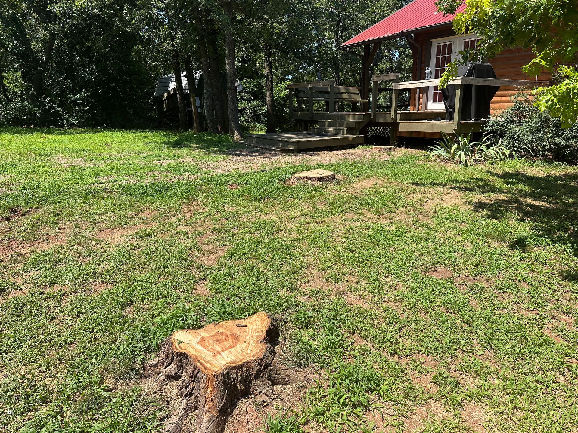 tree removal; tree service; arborist; tree removal choctaw, OK; tree removal midwest city, ok; tree removal nicoma park, ok; tree service choctaw, ok; tree service midwest city, ok; tree service nicoma park, ok tree removal harrah, tree removal choctaw, tree removal mcloud, tree removal jones, tree removal luther, tree removal edmond, tree removal arcadia, tree removal shawnee, tree removal meeker, tree removal nicoma park, tree removal spencer, tree removal mwc, tree removal midwest city, tree removal del city, tree removal okc, tree removal oklahoma city, tree removal moore, tree removal dale, tree removal midway, tree removal fowler, tree removal jacktown,  tree removal bethel acres, tree removal tecumseh, tree removal pink, tree removal nichols hills, tree removal the village, tree removal wellston, tree removal lake thunderbird, tree removal thunderbird, tree service harrah, tree service choctaw, tree service mcloud, tree service jones, tree service luther, tree service edmond, tree service arcadia, tree service shawnee, tree service meeker, tree service nicoma park, tree service spencer, tree service mwc, tree service midwest city, tree service del city, tree service okc, tree service oklahoma city, tree service moore, tree service dale, tree service midway, tree service fowler, tree service jacktown,  tree service bethel acres, tree service tecumseh, tree service pink, tree service nichols hills, tree service the village, tree service wellston, tree service lake thunderbird, tree service thunderbird, tree services harrah, tree services choctaw, tree services mcloud, tree services jones, tree services luther, tree services edmond, tree services arcadia, tree services shawnee, tree services meeker, tree services nicoma park, tree services spencer, tree services mwc, tree services midwest city, tree services del city, tree services okc, tree services oklahoma city, tree services moore, tree services dale, tree services midway, tree services fowler, tree services jacktown,  tree services bethel acres, tree services tecumseh, tree services pink, tree services nichols hills, tree services the village, tree services wellston, tree services lake thunderbird, tree services thunderbird, tree pruning harrah, tree pruning choctaw, tree pruning mcloud, tree pruning jones, tree pruning luther, tree pruning edmond, tree pruning arcadia, tree pruning shawnee, tree pruning meeker, tree pruning nicoma park, tree pruning spencer, tree pruning mwc, tree pruning midwest city, tree pruning del city, tree pruning okc, tree pruning oklahoma city, tree pruning moore, tree pruning dale, tree pruning midway, tree pruning fowler, tree pruning jacktown,  tree pruning bethel acres, tree pruning tecumseh, tree pruning pink, tree pruning nichols hills, tree pruning the village, tree pruning wellston, tree pruning lake thunderbird, tree pruning thunderbird, tree trimming harrah, tree trimming choctaw, tree trimming mcloud, tree trimming jones, tree trimming luther, tree trimming edmond, tree trimming arcadia, tree trimming shawnee, tree trimming meeker, tree trimming nicoma park, tree trimming spencer, tree trimming mwc, tree trimming midwest city, tree trimming del city, tree trimming okc, tree trimming oklahoma city, tree trimming moore, tree trimming dale, tree trimming midway, tree trimming fowler, tree trimming jacktown,  tree trimming bethel acres, tree trimming tecumseh, tree trimming pink, tree trimming nichols hills, tree trimming the village, tree trimming wellston, tree trimming lake thunderbird, tree trimming thunderbird, stump grinding harrah, stump grinding  choctaw, stump grinding mcloud, stump grinding jones, stump grinding luther, stump grinding  edmond, stump grinding arcadia, stump grinding shawnee, stump grinding meeker, stump grinding nicoma park, stump grinding spencer, stump grinding mwc, stump grinding midwest city, stump grinding del city, stump grinding okc, stump grinding oklahoma city, stump grinding moore, stump grinding dale, stump grinding midway, stump grinding fowler, stump grinding jacktown, stump grinding bethel acres, stump grinding tecumseh, stump grinding pink, stump grinding nichols hills, stump grinding the village, stump grinding wellston, stump grinding lake thunderbird, stump grinding thunderbird, harrah tree removal, choctaw tree removal, mcloud tree removal, jones tree removal, luther tree removal, edmond tree removal, arcadia tree removal, shawnee tree removal, meeker tree removal, nicoma park tree removal, spencer tree removal, mwc tree removal, midwest city tree removal, del city tree removal, okc tree removal, oklahoma city tree removal, moore tree removal, dale tree removal, midway tree removal, fowler tree removal, jacktown tree removal, bethel acres tree removal,  tecumseh tree removal, pink tree removal, nichols hills tree removal, the village tree removal, wellston tree removal, lake thunderbird tree removal, thunderbird tree removal, harrah tree service, choctaw tree service, mcloud tree service, jones tree service, luther tree service, edmond tree service, arcadia tree service, shawnee tree service, meeker tree service, nicoma park tree service, spencer tree service, mwc tree service, midwest city tree service, del city tree service, okc tree service, oklahoma city tree service, moore tree service, dale tree service, midway tree service, fowler tree service, jacktown tree service, bethel acres tree service,  tecumseh tree service, pink tree service, nichols hills tree service, the village tree service, wellston tree service, lake thunderbird tree service, thunderbird tree service, harrah tree services, choctaw tree services, mcloud tree services, jones tree services, luther tree services, edmond tree services, arcadia tree services, shawnee tree services, meeker tree services, nicoma park tree services, spencer tree services, mwc tree services, midwest city tree services, del city tree services, okc tree services, oklahoma city tree services, moore tree services, dale tree services, midway tree services, fowler tree services, jacktown tree services, bethel acres tree services,  tecumseh tree services, pink tree services, nichols hills tree services, the village tree services, wellston tree services, lake thunderbird tree services, thunderbird tree services, harrah tree pruning, choctaw tree pruning, mcloud tree pruning, jones tree pruning, luther tree pruning, edmond tree pruning, arcadia tree pruning, shawnee tree pruning, meeker tree pruning, nicoma park tree pruning, spencer tree pruning, mwc tree pruning, midwest city tree pruning, del city tree pruning, okc tree pruning, oklahoma city tree pruning, moore tree pruning, dale tree pruning, midway tree pruning, fowler tree pruning, jacktown tree pruning, bethel acres tree pruning,  tecumseh tree pruning, pink tree pruning, nichols hills tree pruning, the village tree pruning, wellston tree pruning, lake thunderbird tree pruning, thunderbird tree pruning, harrah tree trimming, choctaw tree trimming, mcloud tree trimming, jones tree trimming, luther tree trimming, edmond tree trimming, arcadia tree trimming, shawnee tree trimming, meeker tree trimming, nicoma park tree trimming, spencer tree trimming, mwc tree trimming, midwest city tree trimming, del city tree trimming, okc tree trimming, oklahoma city tree trimming, moore tree trimming, dale tree trimming, midway tree trimming, fowler tree trimming, jacktown tree trimming, bethel acres tree trimming,  tecumseh tree trimming, pink tree trimming, nichols hills tree trimming, the village tree trimming, wellston tree trimming, lake thunderbird tree trimming, thunderbird tree trimming, harrah stump grinding, choctaw stump grinding, mcloud stump grinding, jones stump grinding, luther stump grinding, edmond stump grinding, arcadia stump grinding, shawnee stump grinding, meeker stump grinding, nicoma park stump grinding, spencer stump grinding, mwc stump grinding, midwest city stump grinding, del city stump grinding, okc stump grinding, oklahoma city stump grinding, moore stump grinding, dale stump grinding, midway stump grinding, fowler stump grinding, jacktown stump grinding, bethel acres stump grinding,  tecumseh stump grinding, pink stump grinding, nichols hills stump grinding, the village stump grinding, wellston stump grinding, lake thunderbird stump grinding, thunderbird stump grinding, harrah arborist, choctaw arborist, mcloud arborist, jones arborist, luther arborist, edmond arborist, arcadia arborist, shawnee arborist, meeker arborist, nicoma park arborist, spencer arborist, mwc arborist, midwest city arborist, del city arborist, okc arborist, oklahoma city arborist, moore arborist, dale arborist, midway arborist, fowler arborist, jacktown arborist, bethel acres arborist,  tecumseh arborist, pink arborist, nichols hills arborist, the village arborist, wellston arborist, lake thunderbird arborist, thunderbird arborist, arborist harrah, arborist choctaw, arborist mcloud, arborist jones, arborist luther, arborist edmond, arborist arcadia, arborist shawnee, arborist meeker, arborist nicoma park, arborist spencer, arborist mwc, arborist midwest city, arborist del city, arborist okc, arborist oklahoma city, arborist moore, arborist dale, arborist midway, arborist fowler, arborist jacktown, arborist bethel acres, arborist tecumseh, arborist pink, arborist nichols hills, arborist the village, arborist wellston, arborist lake thunderbird, arborist thunderbird,