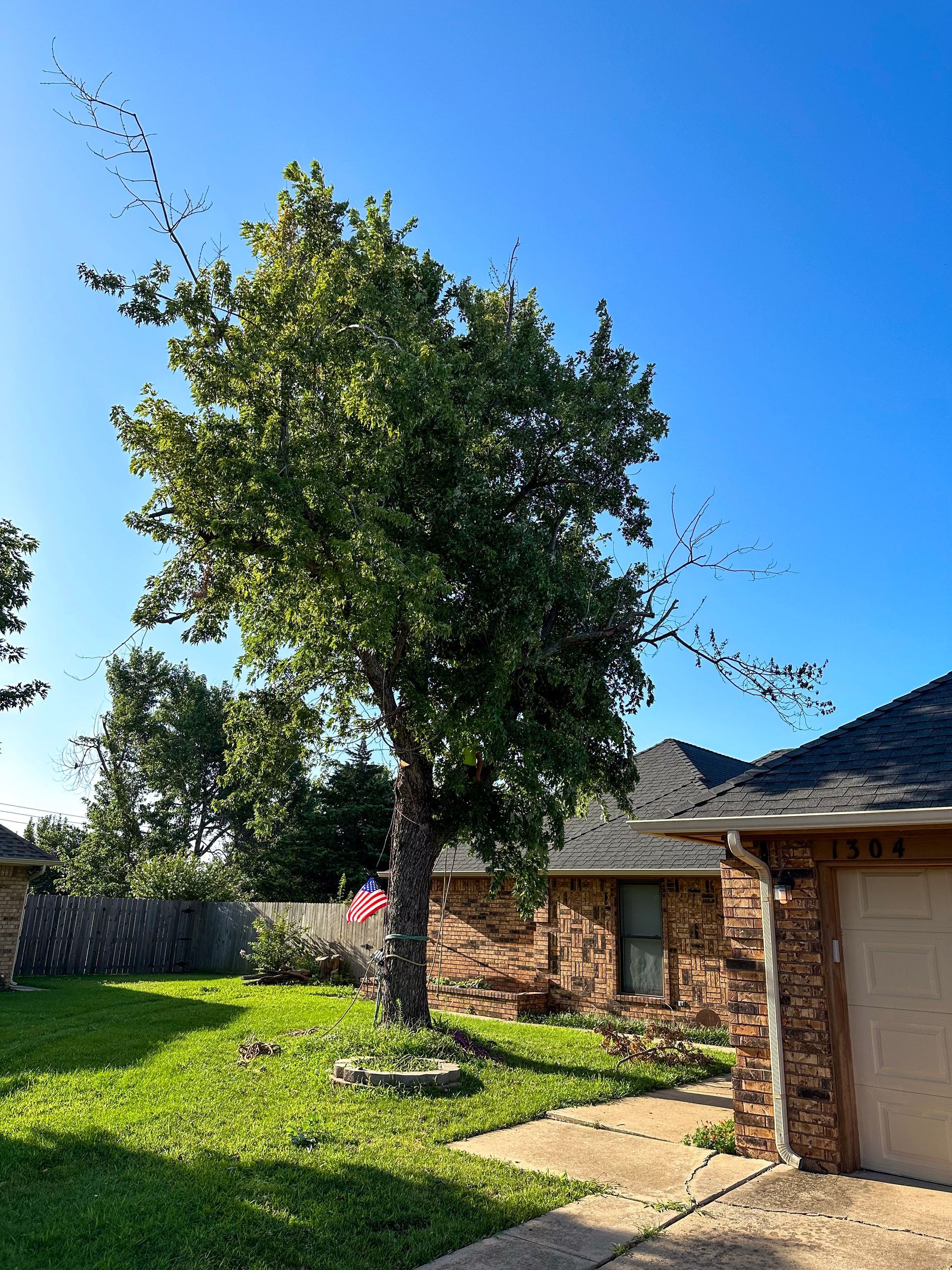 tree removal; tree service; arborist; tree removal choctaw, OK; tree removal midwest city, ok; tree removal nicoma park, ok; tree service choctaw, ok; tree service midwest city, ok; tree service nicoma park, ok tree removal harrah, tree removal choctaw, tree removal mcloud, tree removal jones, tree removal luther, tree removal edmond, tree removal arcadia, tree removal shawnee, tree removal meeker, tree removal nicoma park, tree removal spencer, tree removal mwc, tree removal midwest city, tree removal del city, tree removal okc, tree removal oklahoma city, tree removal moore, tree removal dale, tree removal midway, tree removal fowler, tree removal jacktown,  tree removal bethel acres, tree removal tecumseh, tree removal pink, tree removal nichols hills, tree removal the village, tree removal wellston, tree removal lake thunderbird, tree removal thunderbird, tree service harrah, tree service choctaw, tree service mcloud, tree service jones, tree service luther, tree service edmond, tree service arcadia, tree service shawnee, tree service meeker, tree service nicoma park, tree service spencer, tree service mwc, tree service midwest city, tree service del city, tree service okc, tree service oklahoma city, tree service moore, tree service dale, tree service midway, tree service fowler, tree service jacktown,  tree service bethel acres, tree service tecumseh, tree service pink, tree service nichols hills, tree service the village, tree service wellston, tree service lake thunderbird, tree service thunderbird, tree services harrah, tree services choctaw, tree services mcloud, tree services jones, tree services luther, tree services edmond, tree services arcadia, tree services shawnee, tree services meeker, tree services nicoma park, tree services spencer, tree services mwc, tree services midwest city, tree services del city, tree services okc, tree services oklahoma city, tree services moore, tree services dale, tree services midway, tree services fowler, tree services jacktown,  tree services bethel acres, tree services tecumseh, tree services pink, tree services nichols hills, tree services the village, tree services wellston, tree services lake thunderbird, tree services thunderbird, tree pruning harrah, tree pruning choctaw, tree pruning mcloud, tree pruning jones, tree pruning luther, tree pruning edmond, tree pruning arcadia, tree pruning shawnee, tree pruning meeker, tree pruning nicoma park, tree pruning spencer, tree pruning mwc, tree pruning midwest city, tree pruning del city, tree pruning okc, tree pruning oklahoma city, tree pruning moore, tree pruning dale, tree pruning midway, tree pruning fowler, tree pruning jacktown,  tree pruning bethel acres, tree pruning tecumseh, tree pruning pink, tree pruning nichols hills, tree pruning the village, tree pruning wellston, tree pruning lake thunderbird, tree pruning thunderbird, tree trimming harrah, tree trimming choctaw, tree trimming mcloud, tree trimming jones, tree trimming luther, tree trimming edmond, tree trimming arcadia, tree trimming shawnee, tree trimming meeker, tree trimming nicoma park, tree trimming spencer, tree trimming mwc, tree trimming midwest city, tree trimming del city, tree trimming okc, tree trimming oklahoma city, tree trimming moore, tree trimming dale, tree trimming midway, tree trimming fowler, tree trimming jacktown,  tree trimming bethel acres, tree trimming tecumseh, tree trimming pink, tree trimming nichols hills, tree trimming the village, tree trimming wellston, tree trimming lake thunderbird, tree trimming thunderbird, stump grinding harrah, stump grinding  choctaw, stump grinding mcloud, stump grinding jones, stump grinding luther, stump grinding  edmond, stump grinding arcadia, stump grinding shawnee, stump grinding meeker, stump grinding nicoma park, stump grinding spencer, stump grinding mwc, stump grinding midwest city, stump grinding del city, stump grinding okc, stump grinding oklahoma city, stump grinding moore, stump grinding dale, stump grinding midway, stump grinding fowler, stump grinding jacktown, stump grinding bethel acres, stump grinding tecumseh, stump grinding pink, stump grinding nichols hills, stump grinding the village, stump grinding wellston, stump grinding lake thunderbird, stump grinding thunderbird, harrah tree removal, choctaw tree removal, mcloud tree removal, jones tree removal, luther tree removal, edmond tree removal, arcadia tree removal, shawnee tree removal, meeker tree removal, nicoma park tree removal, spencer tree removal, mwc tree removal, midwest city tree removal, del city tree removal, okc tree removal, oklahoma city tree removal, moore tree removal, dale tree removal, midway tree removal, fowler tree removal, jacktown tree removal, bethel acres tree removal,  tecumseh tree removal, pink tree removal, nichols hills tree removal, the village tree removal, wellston tree removal, lake thunderbird tree removal, thunderbird tree removal, harrah tree service, choctaw tree service, mcloud tree service, jones tree service, luther tree service, edmond tree service, arcadia tree service, shawnee tree service, meeker tree service, nicoma park tree service, spencer tree service, mwc tree service, midwest city tree service, del city tree service, okc tree service, oklahoma city tree service, moore tree service, dale tree service, midway tree service, fowler tree service, jacktown tree service, bethel acres tree service,  tecumseh tree service, pink tree service, nichols hills tree service, the village tree service, wellston tree service, lake thunderbird tree service, thunderbird tree service, harrah tree services, choctaw tree services, mcloud tree services, jones tree services, luther tree services, edmond tree services, arcadia tree services, shawnee tree services, meeker tree services, nicoma park tree services, spencer tree services, mwc tree services, midwest city tree services, del city tree services, okc tree services, oklahoma city tree services, moore tree services, dale tree services, midway tree services, fowler tree services, jacktown tree services, bethel acres tree services,  tecumseh tree services, pink tree services, nichols hills tree services, the village tree services, wellston tree services, lake thunderbird tree services, thunderbird tree services, harrah tree pruning, choctaw tree pruning, mcloud tree pruning, jones tree pruning, luther tree pruning, edmond tree pruning, arcadia tree pruning, shawnee tree pruning, meeker tree pruning, nicoma park tree pruning, spencer tree pruning, mwc tree pruning, midwest city tree pruning, del city tree pruning, okc tree pruning, oklahoma city tree pruning, moore tree pruning, dale tree pruning, midway tree pruning, fowler tree pruning, jacktown tree pruning, bethel acres tree pruning,  tecumseh tree pruning, pink tree pruning, nichols hills tree pruning, the village tree pruning, wellston tree pruning, lake thunderbird tree pruning, thunderbird tree pruning, harrah tree trimming, choctaw tree trimming, mcloud tree trimming, jones tree trimming, luther tree trimming, edmond tree trimming, arcadia tree trimming, shawnee tree trimming, meeker tree trimming, nicoma park tree trimming, spencer tree trimming, mwc tree trimming, midwest city tree trimming, del city tree trimming, okc tree trimming, oklahoma city tree trimming, moore tree trimming, dale tree trimming, midway tree trimming, fowler tree trimming, jacktown tree trimming, bethel acres tree trimming,  tecumseh tree trimming, pink tree trimming, nichols hills tree trimming, the village tree trimming, wellston tree trimming, lake thunderbird tree trimming, thunderbird tree trimming, harrah stump grinding, choctaw stump grinding, mcloud stump grinding, jones stump grinding, luther stump grinding, edmond stump grinding, arcadia stump grinding, shawnee stump grinding, meeker stump grinding, nicoma park stump grinding, spencer stump grinding, mwc stump grinding, midwest city stump grinding, del city stump grinding, okc stump grinding, oklahoma city stump grinding, moore stump grinding, dale stump grinding, midway stump grinding, fowler stump grinding, jacktown stump grinding, bethel acres stump grinding,  tecumseh stump grinding, pink stump grinding, nichols hills stump grinding, the village stump grinding, wellston stump grinding, lake thunderbird stump grinding, thunderbird stump grinding, harrah arborist, choctaw arborist, mcloud arborist, jones arborist, luther arborist, edmond arborist, arcadia arborist, shawnee arborist, meeker arborist, nicoma park arborist, spencer arborist, mwc arborist, midwest city arborist, del city arborist, okc arborist, oklahoma city arborist, moore arborist, dale arborist, midway arborist, fowler arborist, jacktown arborist, bethel acres arborist,  tecumseh arborist, pink arborist, nichols hills arborist, the village arborist, wellston arborist, lake thunderbird arborist, thunderbird arborist, arborist harrah, arborist choctaw, arborist mcloud, arborist jones, arborist luther, arborist edmond, arborist arcadia, arborist shawnee, arborist meeker, arborist nicoma park, arborist spencer, arborist mwc, arborist midwest city, arborist del city, arborist okc, arborist oklahoma city, arborist moore, arborist dale, arborist midway, arborist fowler, arborist jacktown, arborist bethel acres, arborist tecumseh, arborist pink, arborist nichols hills, arborist the village, arborist wellston, arborist lake thunderbird, arborist thunderbird,