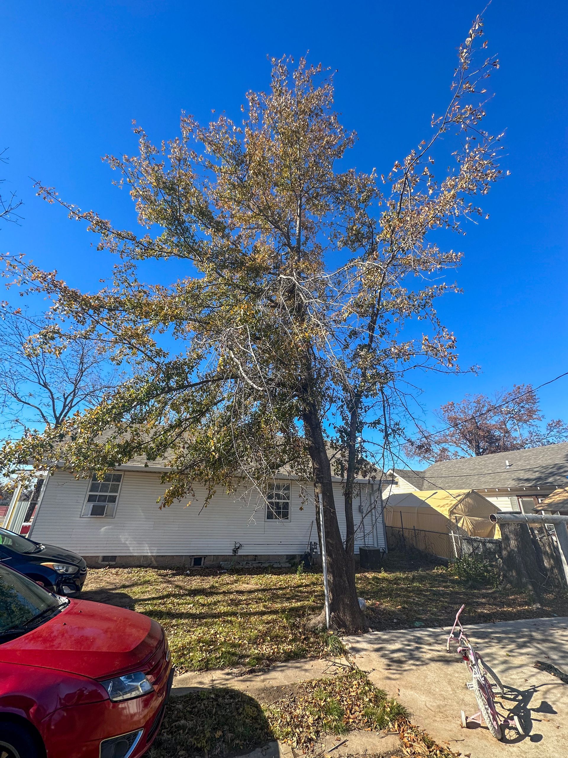 tree removal; tree service; arborist; tree removal choctaw, OK; tree removal midwest city, ok; tree removal nicoma park, ok; tree service choctaw, ok; tree service midwest city, ok; tree service nicoma park, ok tree removal harrah, tree removal choctaw, tree removal mcloud, tree removal jones, tree removal luther, tree removal edmond, tree removal arcadia, tree removal shawnee, tree removal meeker, tree removal nicoma park, tree removal spencer, tree removal mwc, tree removal midwest city, tree removal del city, tree removal okc, tree removal oklahoma city, tree removal moore, tree removal dale, tree removal midway, tree removal fowler, tree removal jacktown,  tree removal bethel acres, tree removal tecumseh, tree removal pink, tree removal nichols hills, tree removal the village, tree removal wellston, tree removal lake thunderbird, tree removal thunderbird, tree service harrah, tree service choctaw, tree service mcloud, tree service jones, tree service luther, tree service edmond, tree service arcadia, tree service shawnee, tree service meeker, tree service nicoma park, tree service spencer, tree service mwc, tree service midwest city, tree service del city, tree service okc, tree service oklahoma city, tree service moore, tree service dale, tree service midway, tree service fowler, tree service jacktown,  tree service bethel acres, tree service tecumseh, tree service pink, tree service nichols hills, tree service the village, tree service wellston, tree service lake thunderbird, tree service thunderbird, tree services harrah, tree services choctaw, tree services mcloud, tree services jones, tree services luther, tree services edmond, tree services arcadia, tree services shawnee, tree services meeker, tree services nicoma park, tree services spencer, tree services mwc, tree services midwest city, tree services del city, tree services okc, tree services oklahoma city, tree services moore, tree services dale, tree services midway, tree services fowler, tree services jacktown,  tree services bethel acres, tree services tecumseh, tree services pink, tree services nichols hills, tree services the village, tree services wellston, tree services lake thunderbird, tree services thunderbird, tree pruning harrah, tree pruning choctaw, tree pruning mcloud, tree pruning jones, tree pruning luther, tree pruning edmond, tree pruning arcadia, tree pruning shawnee, tree pruning meeker, tree pruning nicoma park, tree pruning spencer, tree pruning mwc, tree pruning midwest city, tree pruning del city, tree pruning okc, tree pruning oklahoma city, tree pruning moore, tree pruning dale, tree pruning midway, tree pruning fowler, tree pruning jacktown,  tree pruning bethel acres, tree pruning tecumseh, tree pruning pink, tree pruning nichols hills, tree pruning the village, tree pruning wellston, tree pruning lake thunderbird, tree pruning thunderbird, tree trimming harrah, tree trimming choctaw, tree trimming mcloud, tree trimming jones, tree trimming luther, tree trimming edmond, tree trimming arcadia, tree trimming shawnee, tree trimming meeker, tree trimming nicoma park, tree trimming spencer, tree trimming mwc, tree trimming midwest city, tree trimming del city, tree trimming okc, tree trimming oklahoma city, tree trimming moore, tree trimming dale, tree trimming midway, tree trimming fowler, tree trimming jacktown,  tree trimming bethel acres, tree trimming tecumseh, tree trimming pink, tree trimming nichols hills, tree trimming the village, tree trimming wellston, tree trimming lake thunderbird, tree trimming thunderbird, stump grinding harrah, stump grinding  choctaw, stump grinding mcloud, stump grinding jones, stump grinding luther, stump grinding  edmond, stump grinding arcadia, stump grinding shawnee, stump grinding meeker, stump grinding nicoma park, stump grinding spencer, stump grinding mwc, stump grinding midwest city, stump grinding del city, stump grinding okc, stump grinding oklahoma city, stump grinding moore, stump grinding dale, stump grinding midway, stump grinding fowler, stump grinding jacktown, stump grinding bethel acres, stump grinding tecumseh, stump grinding pink, stump grinding nichols hills, stump grinding the village, stump grinding wellston, stump grinding lake thunderbird, stump grinding thunderbird, harrah tree removal, choctaw tree removal, mcloud tree removal, jones tree removal, luther tree removal, edmond tree removal, arcadia tree removal, shawnee tree removal, meeker tree removal, nicoma park tree removal, spencer tree removal, mwc tree removal, midwest city tree removal, del city tree removal, okc tree removal, oklahoma city tree removal, moore tree removal, dale tree removal, midway tree removal, fowler tree removal, jacktown tree removal, bethel acres tree removal,  tecumseh tree removal, pink tree removal, nichols hills tree removal, the village tree removal, wellston tree removal, lake thunderbird tree removal, thunderbird tree removal, harrah tree service, choctaw tree service, mcloud tree service, jones tree service, luther tree service, edmond tree service, arcadia tree service, shawnee tree service, meeker tree service, nicoma park tree service, spencer tree service, mwc tree service, midwest city tree service, del city tree service, okc tree service, oklahoma city tree service, moore tree service, dale tree service, midway tree service, fowler tree service, jacktown tree service, bethel acres tree service,  tecumseh tree service, pink tree service, nichols hills tree service, the village tree service, wellston tree service, lake thunderbird tree service, thunderbird tree service, harrah tree services, choctaw tree services, mcloud tree services, jones tree services, luther tree services, edmond tree services, arcadia tree services, shawnee tree services, meeker tree services, nicoma park tree services, spencer tree services, mwc tree services, midwest city tree services, del city tree services, okc tree services, oklahoma city tree services, moore tree services, dale tree services, midway tree services, fowler tree services, jacktown tree services, bethel acres tree services,  tecumseh tree services, pink tree services, nichols hills tree services, the village tree services, wellston tree services, lake thunderbird tree services, thunderbird tree services, harrah tree pruning, choctaw tree pruning, mcloud tree pruning, jones tree pruning, luther tree pruning, edmond tree pruning, arcadia tree pruning, shawnee tree pruning, meeker tree pruning, nicoma park tree pruning, spencer tree pruning, mwc tree pruning, midwest city tree pruning, del city tree pruning, okc tree pruning, oklahoma city tree pruning, moore tree pruning, dale tree pruning, midway tree pruning, fowler tree pruning, jacktown tree pruning, bethel acres tree pruning,  tecumseh tree pruning, pink tree pruning, nichols hills tree pruning, the village tree pruning, wellston tree pruning, lake thunderbird tree pruning, thunderbird tree pruning, harrah tree trimming, choctaw tree trimming, mcloud tree trimming, jones tree trimming, luther tree trimming, edmond tree trimming, arcadia tree trimming, shawnee tree trimming, meeker tree trimming, nicoma park tree trimming, spencer tree trimming, mwc tree trimming, midwest city tree trimming, del city tree trimming, okc tree trimming, oklahoma city tree trimming, moore tree trimming, dale tree trimming, midway tree trimming, fowler tree trimming, jacktown tree trimming, bethel acres tree trimming,  tecumseh tree trimming, pink tree trimming, nichols hills tree trimming, the village tree trimming, wellston tree trimming, lake thunderbird tree trimming, thunderbird tree trimming, harrah stump grinding, choctaw stump grinding, mcloud stump grinding, jones stump grinding, luther stump grinding, edmond stump grinding, arcadia stump grinding, shawnee stump grinding, meeker stump grinding, nicoma park stump grinding, spencer stump grinding, mwc stump grinding, midwest city stump grinding, del city stump grinding, okc stump grinding, oklahoma city stump grinding, moore stump grinding, dale stump grinding, midway stump grinding, fowler stump grinding, jacktown stump grinding, bethel acres stump grinding,  tecumseh stump grinding, pink stump grinding, nichols hills stump grinding, the village stump grinding, wellston stump grinding, lake thunderbird stump grinding, thunderbird stump grinding, harrah arborist, choctaw arborist, mcloud arborist, jones arborist, luther arborist, edmond arborist, arcadia arborist, shawnee arborist, meeker arborist, nicoma park arborist, spencer arborist, mwc arborist, midwest city arborist, del city arborist, okc arborist, oklahoma city arborist, moore arborist, dale arborist, midway arborist, fowler arborist, jacktown arborist, bethel acres arborist,  tecumseh arborist, pink arborist, nichols hills arborist, the village arborist, wellston arborist, lake thunderbird arborist, thunderbird arborist, arborist harrah, arborist choctaw, arborist mcloud, arborist jones, arborist luther, arborist edmond, arborist arcadia, arborist shawnee, arborist meeker, arborist nicoma park, arborist spencer, arborist mwc, arborist midwest city, arborist del city, arborist okc, arborist oklahoma city, arborist moore, arborist dale, arborist midway, arborist fowler, arborist jacktown, arborist bethel acres, arborist tecumseh, arborist pink, arborist nichols hills, arborist the village, arborist wellston, arborist lake thunderbird, arborist thunderbird,