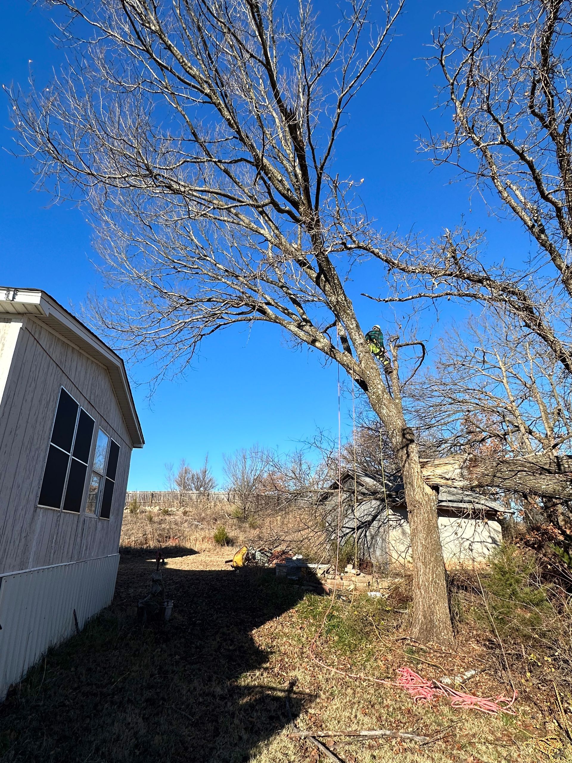 tree removal; tree service; arborist; tree removal choctaw, OK; tree removal midwest city, ok; tree removal nicoma park, ok; tree service choctaw, ok; tree service midwest city, ok; tree service nicoma park, ok tree removal harrah, tree removal choctaw, tree removal mcloud, tree removal jones, tree removal luther, tree removal edmond, tree removal arcadia, tree removal shawnee, tree removal meeker, tree removal nicoma park, tree removal spencer, tree removal mwc, tree removal midwest city, tree removal del city, tree removal okc, tree removal oklahoma city, tree removal moore, tree removal dale, tree removal midway, tree removal fowler, tree removal jacktown,  tree removal bethel acres, tree removal tecumseh, tree removal pink, tree removal nichols hills, tree removal the village, tree removal wellston, tree removal lake thunderbird, tree removal thunderbird, tree service harrah, tree service choctaw, tree service mcloud, tree service jones, tree service luther, tree service edmond, tree service arcadia, tree service shawnee, tree service meeker, tree service nicoma park, tree service spencer, tree service mwc, tree service midwest city, tree service del city, tree service okc, tree service oklahoma city, tree service moore, tree service dale, tree service midway, tree service fowler, tree service jacktown,  tree service bethel acres, tree service tecumseh, tree service pink, tree service nichols hills, tree service the village, tree service wellston, tree service lake thunderbird, tree service thunderbird, tree services harrah, tree services choctaw, tree services mcloud, tree services jones, tree services luther, tree services edmond, tree services arcadia, tree services shawnee, tree services meeker, tree services nicoma park, tree services spencer, tree services mwc, tree services midwest city, tree services del city, tree services okc, tree services oklahoma city, tree services moore, tree services dale, tree services midway, tree services fowler, tree services jacktown,  tree services bethel acres, tree services tecumseh, tree services pink, tree services nichols hills, tree services the village, tree services wellston, tree services lake thunderbird, tree services thunderbird, tree pruning harrah, tree pruning choctaw, tree pruning mcloud, tree pruning jones, tree pruning luther, tree pruning edmond, tree pruning arcadia, tree pruning shawnee, tree pruning meeker, tree pruning nicoma park, tree pruning spencer, tree pruning mwc, tree pruning midwest city, tree pruning del city, tree pruning okc, tree pruning oklahoma city, tree pruning moore, tree pruning dale, tree pruning midway, tree pruning fowler, tree pruning jacktown,  tree pruning bethel acres, tree pruning tecumseh, tree pruning pink, tree pruning nichols hills, tree pruning the village, tree pruning wellston, tree pruning lake thunderbird, tree pruning thunderbird, tree trimming harrah, tree trimming choctaw, tree trimming mcloud, tree trimming jones, tree trimming luther, tree trimming edmond, tree trimming arcadia, tree trimming shawnee, tree trimming meeker, tree trimming nicoma park, tree trimming spencer, tree trimming mwc, tree trimming midwest city, tree trimming del city, tree trimming okc, tree trimming oklahoma city, tree trimming moore, tree trimming dale, tree trimming midway, tree trimming fowler, tree trimming jacktown,  tree trimming bethel acres, tree trimming tecumseh, tree trimming pink, tree trimming nichols hills, tree trimming the village, tree trimming wellston, tree trimming lake thunderbird, tree trimming thunderbird, stump grinding harrah, stump grinding  choctaw, stump grinding mcloud, stump grinding jones, stump grinding luther, stump grinding  edmond, stump grinding arcadia, stump grinding shawnee, stump grinding meeker, stump grinding nicoma park, stump grinding spencer, stump grinding mwc, stump grinding midwest city, stump grinding del city, stump grinding okc, stump grinding oklahoma city, stump grinding moore, stump grinding dale, stump grinding midway, stump grinding fowler, stump grinding jacktown, stump grinding bethel acres, stump grinding tecumseh, stump grinding pink, stump grinding nichols hills, stump grinding the village, stump grinding wellston, stump grinding lake thunderbird, stump grinding thunderbird, harrah tree removal, choctaw tree removal, mcloud tree removal, jones tree removal, luther tree removal, edmond tree removal, arcadia tree removal, shawnee tree removal, meeker tree removal, nicoma park tree removal, spencer tree removal, mwc tree removal, midwest city tree removal, del city tree removal, okc tree removal, oklahoma city tree removal, moore tree removal, dale tree removal, midway tree removal, fowler tree removal, jacktown tree removal, bethel acres tree removal,  tecumseh tree removal, pink tree removal, nichols hills tree removal, the village tree removal, wellston tree removal, lake thunderbird tree removal, thunderbird tree removal, harrah tree service, choctaw tree service, mcloud tree service, jones tree service, luther tree service, edmond tree service, arcadia tree service, shawnee tree service, meeker tree service, nicoma park tree service, spencer tree service, mwc tree service, midwest city tree service, del city tree service, okc tree service, oklahoma city tree service, moore tree service, dale tree service, midway tree service, fowler tree service, jacktown tree service, bethel acres tree service,  tecumseh tree service, pink tree service, nichols hills tree service, the village tree service, wellston tree service, lake thunderbird tree service, thunderbird tree service, harrah tree services, choctaw tree services, mcloud tree services, jones tree services, luther tree services, edmond tree services, arcadia tree services, shawnee tree services, meeker tree services, nicoma park tree services, spencer tree services, mwc tree services, midwest city tree services, del city tree services, okc tree services, oklahoma city tree services, moore tree services, dale tree services, midway tree services, fowler tree services, jacktown tree services, bethel acres tree services,  tecumseh tree services, pink tree services, nichols hills tree services, the village tree services, wellston tree services, lake thunderbird tree services, thunderbird tree services, harrah tree pruning, choctaw tree pruning, mcloud tree pruning, jones tree pruning, luther tree pruning, edmond tree pruning, arcadia tree pruning, shawnee tree pruning, meeker tree pruning, nicoma park tree pruning, spencer tree pruning, mwc tree pruning, midwest city tree pruning, del city tree pruning, okc tree pruning, oklahoma city tree pruning, moore tree pruning, dale tree pruning, midway tree pruning, fowler tree pruning, jacktown tree pruning, bethel acres tree pruning,  tecumseh tree pruning, pink tree pruning, nichols hills tree pruning, the village tree pruning, wellston tree pruning, lake thunderbird tree pruning, thunderbird tree pruning, harrah tree trimming, choctaw tree trimming, mcloud tree trimming, jones tree trimming, luther tree trimming, edmond tree trimming, arcadia tree trimming, shawnee tree trimming, meeker tree trimming, nicoma park tree trimming, spencer tree trimming, mwc tree trimming, midwest city tree trimming, del city tree trimming, okc tree trimming, oklahoma city tree trimming, moore tree trimming, dale tree trimming, midway tree trimming, fowler tree trimming, jacktown tree trimming, bethel acres tree trimming,  tecumseh tree trimming, pink tree trimming, nichols hills tree trimming, the village tree trimming, wellston tree trimming, lake thunderbird tree trimming, thunderbird tree trimming, harrah stump grinding, choctaw stump grinding, mcloud stump grinding, jones stump grinding, luther stump grinding, edmond stump grinding, arcadia stump grinding, shawnee stump grinding, meeker stump grinding, nicoma park stump grinding, spencer stump grinding, mwc stump grinding, midwest city stump grinding, del city stump grinding, okc stump grinding, oklahoma city stump grinding, moore stump grinding, dale stump grinding, midway stump grinding, fowler stump grinding, jacktown stump grinding, bethel acres stump grinding,  tecumseh stump grinding, pink stump grinding, nichols hills stump grinding, the village stump grinding, wellston stump grinding, lake thunderbird stump grinding, thunderbird stump grinding, harrah arborist, choctaw arborist, mcloud arborist, jones arborist, luther arborist, edmond arborist, arcadia arborist, shawnee arborist, meeker arborist, nicoma park arborist, spencer arborist, mwc arborist, midwest city arborist, del city arborist, okc arborist, oklahoma city arborist, moore arborist, dale arborist, midway arborist, fowler arborist, jacktown arborist, bethel acres arborist,  tecumseh arborist, pink arborist, nichols hills arborist, the village arborist, wellston arborist, lake thunderbird arborist, thunderbird arborist, arborist harrah, arborist choctaw, arborist mcloud, arborist jones, arborist luther, arborist edmond, arborist arcadia, arborist shawnee, arborist meeker, arborist nicoma park, arborist spencer, arborist mwc, arborist midwest city, arborist del city, arborist okc, arborist oklahoma city, arborist moore, arborist dale, arborist midway, arborist fowler, arborist jacktown, arborist bethel acres, arborist tecumseh, arborist pink, arborist nichols hills, arborist the village, arborist wellston, arborist lake thunderbird, arborist thunderbird,