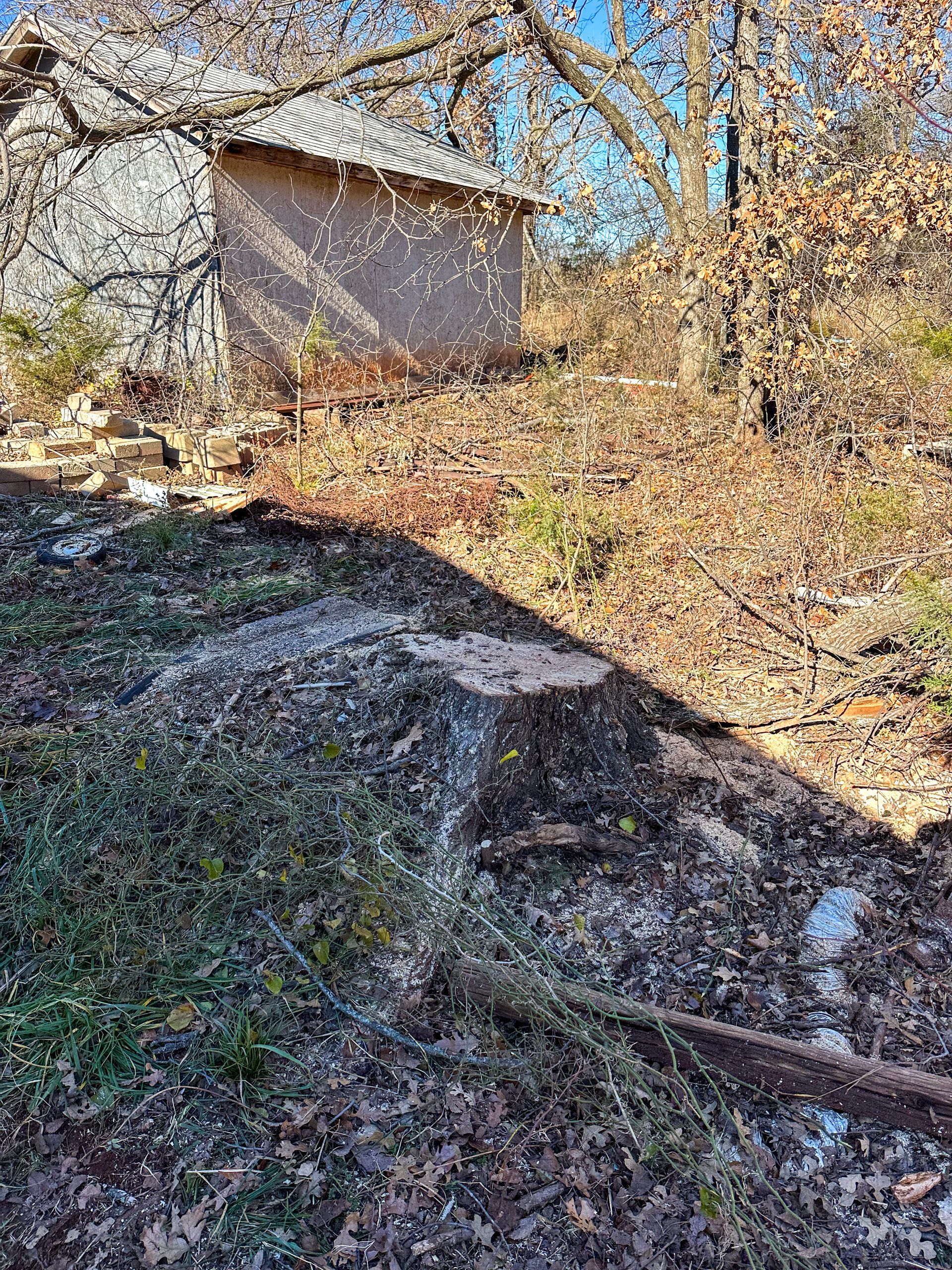 tree removal; tree service; arborist; tree removal choctaw, OK; tree removal midwest city, ok; tree removal nicoma park, ok; tree service choctaw, ok; tree service midwest city, ok; tree service nicoma park, ok tree removal harrah, tree removal choctaw, tree removal mcloud, tree removal jones, tree removal luther, tree removal edmond, tree removal arcadia, tree removal shawnee, tree removal meeker, tree removal nicoma park, tree removal spencer, tree removal mwc, tree removal midwest city, tree removal del city, tree removal okc, tree removal oklahoma city, tree removal moore, tree removal dale, tree removal midway, tree removal fowler, tree removal jacktown,  tree removal bethel acres, tree removal tecumseh, tree removal pink, tree removal nichols hills, tree removal the village, tree removal wellston, tree removal lake thunderbird, tree removal thunderbird, tree service harrah, tree service choctaw, tree service mcloud, tree service jones, tree service luther, tree service edmond, tree service arcadia, tree service shawnee, tree service meeker, tree service nicoma park, tree service spencer, tree service mwc, tree service midwest city, tree service del city, tree service okc, tree service oklahoma city, tree service moore, tree service dale, tree service midway, tree service fowler, tree service jacktown,  tree service bethel acres, tree service tecumseh, tree service pink, tree service nichols hills, tree service the village, tree service wellston, tree service lake thunderbird, tree service thunderbird, tree services harrah, tree services choctaw, tree services mcloud, tree services jones, tree services luther, tree services edmond, tree services arcadia, tree services shawnee, tree services meeker, tree services nicoma park, tree services spencer, tree services mwc, tree services midwest city, tree services del city, tree services okc, tree services oklahoma city, tree services moore, tree services dale, tree services midway, tree services fowler, tree services jacktown,  tree services bethel acres, tree services tecumseh, tree services pink, tree services nichols hills, tree services the village, tree services wellston, tree services lake thunderbird, tree services thunderbird, tree pruning harrah, tree pruning choctaw, tree pruning mcloud, tree pruning jones, tree pruning luther, tree pruning edmond, tree pruning arcadia, tree pruning shawnee, tree pruning meeker, tree pruning nicoma park, tree pruning spencer, tree pruning mwc, tree pruning midwest city, tree pruning del city, tree pruning okc, tree pruning oklahoma city, tree pruning moore, tree pruning dale, tree pruning midway, tree pruning fowler, tree pruning jacktown,  tree pruning bethel acres, tree pruning tecumseh, tree pruning pink, tree pruning nichols hills, tree pruning the village, tree pruning wellston, tree pruning lake thunderbird, tree pruning thunderbird, tree trimming harrah, tree trimming choctaw, tree trimming mcloud, tree trimming jones, tree trimming luther, tree trimming edmond, tree trimming arcadia, tree trimming shawnee, tree trimming meeker, tree trimming nicoma park, tree trimming spencer, tree trimming mwc, tree trimming midwest city, tree trimming del city, tree trimming okc, tree trimming oklahoma city, tree trimming moore, tree trimming dale, tree trimming midway, tree trimming fowler, tree trimming jacktown,  tree trimming bethel acres, tree trimming tecumseh, tree trimming pink, tree trimming nichols hills, tree trimming the village, tree trimming wellston, tree trimming lake thunderbird, tree trimming thunderbird, stump grinding harrah, stump grinding  choctaw, stump grinding mcloud, stump grinding jones, stump grinding luther, stump grinding  edmond, stump grinding arcadia, stump grinding shawnee, stump grinding meeker, stump grinding nicoma park, stump grinding spencer, stump grinding mwc, stump grinding midwest city, stump grinding del city, stump grinding okc, stump grinding oklahoma city, stump grinding moore, stump grinding dale, stump grinding midway, stump grinding fowler, stump grinding jacktown, stump grinding bethel acres, stump grinding tecumseh, stump grinding pink, stump grinding nichols hills, stump grinding the village, stump grinding wellston, stump grinding lake thunderbird, stump grinding thunderbird, harrah tree removal, choctaw tree removal, mcloud tree removal, jones tree removal, luther tree removal, edmond tree removal, arcadia tree removal, shawnee tree removal, meeker tree removal, nicoma park tree removal, spencer tree removal, mwc tree removal, midwest city tree removal, del city tree removal, okc tree removal, oklahoma city tree removal, moore tree removal, dale tree removal, midway tree removal, fowler tree removal, jacktown tree removal, bethel acres tree removal,  tecumseh tree removal, pink tree removal, nichols hills tree removal, the village tree removal, wellston tree removal, lake thunderbird tree removal, thunderbird tree removal, harrah tree service, choctaw tree service, mcloud tree service, jones tree service, luther tree service, edmond tree service, arcadia tree service, shawnee tree service, meeker tree service, nicoma park tree service, spencer tree service, mwc tree service, midwest city tree service, del city tree service, okc tree service, oklahoma city tree service, moore tree service, dale tree service, midway tree service, fowler tree service, jacktown tree service, bethel acres tree service,  tecumseh tree service, pink tree service, nichols hills tree service, the village tree service, wellston tree service, lake thunderbird tree service, thunderbird tree service, harrah tree services, choctaw tree services, mcloud tree services, jones tree services, luther tree services, edmond tree services, arcadia tree services, shawnee tree services, meeker tree services, nicoma park tree services, spencer tree services, mwc tree services, midwest city tree services, del city tree services, okc tree services, oklahoma city tree services, moore tree services, dale tree services, midway tree services, fowler tree services, jacktown tree services, bethel acres tree services,  tecumseh tree services, pink tree services, nichols hills tree services, the village tree services, wellston tree services, lake thunderbird tree services, thunderbird tree services, harrah tree pruning, choctaw tree pruning, mcloud tree pruning, jones tree pruning, luther tree pruning, edmond tree pruning, arcadia tree pruning, shawnee tree pruning, meeker tree pruning, nicoma park tree pruning, spencer tree pruning, mwc tree pruning, midwest city tree pruning, del city tree pruning, okc tree pruning, oklahoma city tree pruning, moore tree pruning, dale tree pruning, midway tree pruning, fowler tree pruning, jacktown tree pruning, bethel acres tree pruning,  tecumseh tree pruning, pink tree pruning, nichols hills tree pruning, the village tree pruning, wellston tree pruning, lake thunderbird tree pruning, thunderbird tree pruning, harrah tree trimming, choctaw tree trimming, mcloud tree trimming, jones tree trimming, luther tree trimming, edmond tree trimming, arcadia tree trimming, shawnee tree trimming, meeker tree trimming, nicoma park tree trimming, spencer tree trimming, mwc tree trimming, midwest city tree trimming, del city tree trimming, okc tree trimming, oklahoma city tree trimming, moore tree trimming, dale tree trimming, midway tree trimming, fowler tree trimming, jacktown tree trimming, bethel acres tree trimming,  tecumseh tree trimming, pink tree trimming, nichols hills tree trimming, the village tree trimming, wellston tree trimming, lake thunderbird tree trimming, thunderbird tree trimming, harrah stump grinding, choctaw stump grinding, mcloud stump grinding, jones stump grinding, luther stump grinding, edmond stump grinding, arcadia stump grinding, shawnee stump grinding, meeker stump grinding, nicoma park stump grinding, spencer stump grinding, mwc stump grinding, midwest city stump grinding, del city stump grinding, okc stump grinding, oklahoma city stump grinding, moore stump grinding, dale stump grinding, midway stump grinding, fowler stump grinding, jacktown stump grinding, bethel acres stump grinding,  tecumseh stump grinding, pink stump grinding, nichols hills stump grinding, the village stump grinding, wellston stump grinding, lake thunderbird stump grinding, thunderbird stump grinding, harrah arborist, choctaw arborist, mcloud arborist, jones arborist, luther arborist, edmond arborist, arcadia arborist, shawnee arborist, meeker arborist, nicoma park arborist, spencer arborist, mwc arborist, midwest city arborist, del city arborist, okc arborist, oklahoma city arborist, moore arborist, dale arborist, midway arborist, fowler arborist, jacktown arborist, bethel acres arborist,  tecumseh arborist, pink arborist, nichols hills arborist, the village arborist, wellston arborist, lake thunderbird arborist, thunderbird arborist, arborist harrah, arborist choctaw, arborist mcloud, arborist jones, arborist luther, arborist edmond, arborist arcadia, arborist shawnee, arborist meeker, arborist nicoma park, arborist spencer, arborist mwc, arborist midwest city, arborist del city, arborist okc, arborist oklahoma city, arborist moore, arborist dale, arborist midway, arborist fowler, arborist jacktown, arborist bethel acres, arborist tecumseh, arborist pink, arborist nichols hills, arborist the village, arborist wellston, arborist lake thunderbird, arborist thunderbird,