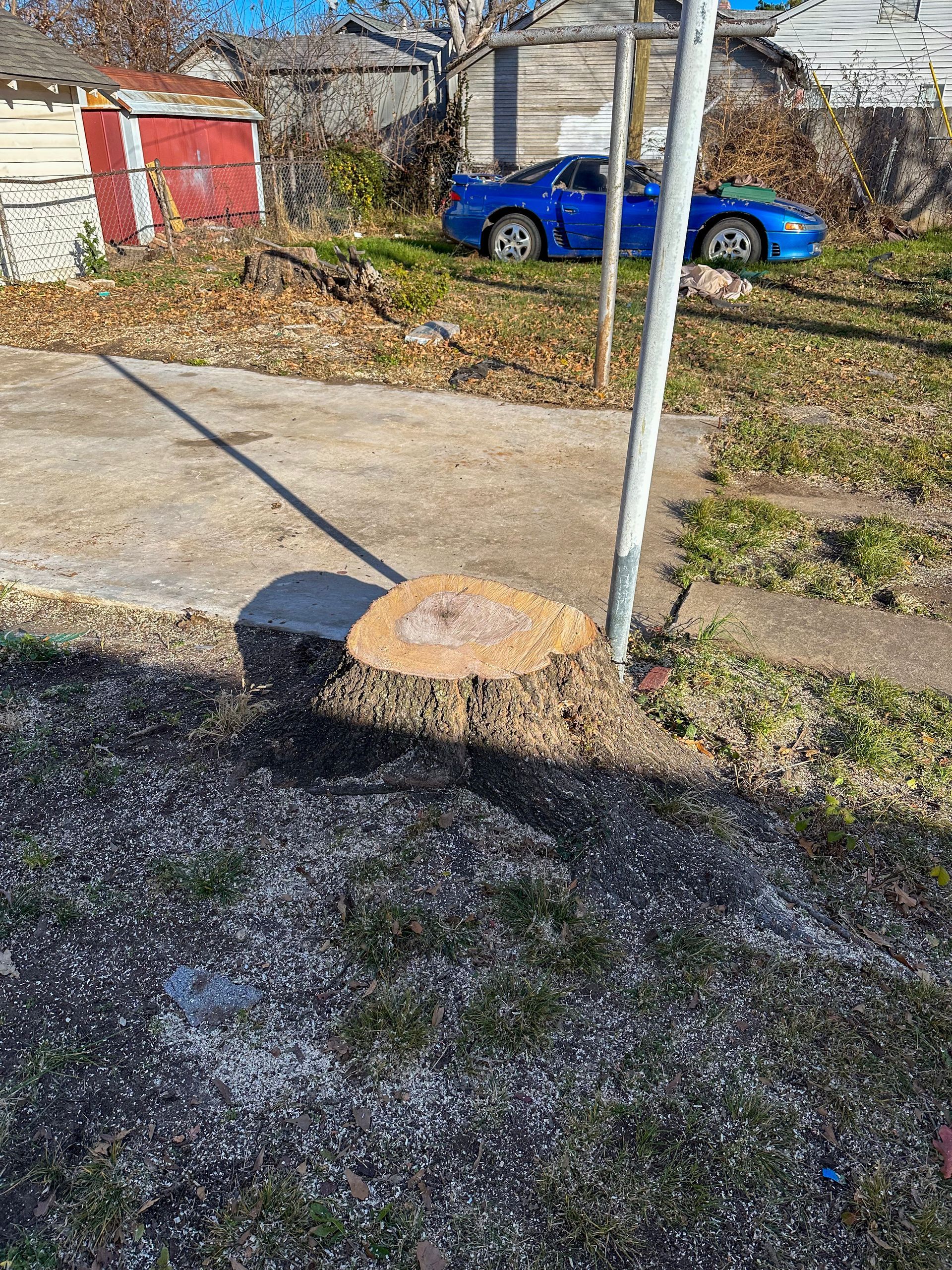 tree removal; tree service; arborist; tree removal choctaw, OK; tree removal midwest city, ok; tree removal nicoma park, ok; tree service choctaw, ok; tree service midwest city, ok; tree service nicoma park, ok tree removal harrah, tree removal choctaw, tree removal mcloud, tree removal jones, tree removal luther, tree removal edmond, tree removal arcadia, tree removal shawnee, tree removal meeker, tree removal nicoma park, tree removal spencer, tree removal mwc, tree removal midwest city, tree removal del city, tree removal okc, tree removal oklahoma city, tree removal moore, tree removal dale, tree removal midway, tree removal fowler, tree removal jacktown,  tree removal bethel acres, tree removal tecumseh, tree removal pink, tree removal nichols hills, tree removal the village, tree removal wellston, tree removal lake thunderbird, tree removal thunderbird, tree service harrah, tree service choctaw, tree service mcloud, tree service jones, tree service luther, tree service edmond, tree service arcadia, tree service shawnee, tree service meeker, tree service nicoma park, tree service spencer, tree service mwc, tree service midwest city, tree service del city, tree service okc, tree service oklahoma city, tree service moore, tree service dale, tree service midway, tree service fowler, tree service jacktown,  tree service bethel acres, tree service tecumseh, tree service pink, tree service nichols hills, tree service the village, tree service wellston, tree service lake thunderbird, tree service thunderbird, tree services harrah, tree services choctaw, tree services mcloud, tree services jones, tree services luther, tree services edmond, tree services arcadia, tree services shawnee, tree services meeker, tree services nicoma park, tree services spencer, tree services mwc, tree services midwest city, tree services del city, tree services okc, tree services oklahoma city, tree services moore, tree services dale, tree services midway, tree services fowler, tree services jacktown,  tree services bethel acres, tree services tecumseh, tree services pink, tree services nichols hills, tree services the village, tree services wellston, tree services lake thunderbird, tree services thunderbird, tree pruning harrah, tree pruning choctaw, tree pruning mcloud, tree pruning jones, tree pruning luther, tree pruning edmond, tree pruning arcadia, tree pruning shawnee, tree pruning meeker, tree pruning nicoma park, tree pruning spencer, tree pruning mwc, tree pruning midwest city, tree pruning del city, tree pruning okc, tree pruning oklahoma city, tree pruning moore, tree pruning dale, tree pruning midway, tree pruning fowler, tree pruning jacktown,  tree pruning bethel acres, tree pruning tecumseh, tree pruning pink, tree pruning nichols hills, tree pruning the village, tree pruning wellston, tree pruning lake thunderbird, tree pruning thunderbird, tree trimming harrah, tree trimming choctaw, tree trimming mcloud, tree trimming jones, tree trimming luther, tree trimming edmond, tree trimming arcadia, tree trimming shawnee, tree trimming meeker, tree trimming nicoma park, tree trimming spencer, tree trimming mwc, tree trimming midwest city, tree trimming del city, tree trimming okc, tree trimming oklahoma city, tree trimming moore, tree trimming dale, tree trimming midway, tree trimming fowler, tree trimming jacktown,  tree trimming bethel acres, tree trimming tecumseh, tree trimming pink, tree trimming nichols hills, tree trimming the village, tree trimming wellston, tree trimming lake thunderbird, tree trimming thunderbird, stump grinding harrah, stump grinding  choctaw, stump grinding mcloud, stump grinding jones, stump grinding luther, stump grinding  edmond, stump grinding arcadia, stump grinding shawnee, stump grinding meeker, stump grinding nicoma park, stump grinding spencer, stump grinding mwc, stump grinding midwest city, stump grinding del city, stump grinding okc, stump grinding oklahoma city, stump grinding moore, stump grinding dale, stump grinding midway, stump grinding fowler, stump grinding jacktown, stump grinding bethel acres, stump grinding tecumseh, stump grinding pink, stump grinding nichols hills, stump grinding the village, stump grinding wellston, stump grinding lake thunderbird, stump grinding thunderbird, harrah tree removal, choctaw tree removal, mcloud tree removal, jones tree removal, luther tree removal, edmond tree removal, arcadia tree removal, shawnee tree removal, meeker tree removal, nicoma park tree removal, spencer tree removal, mwc tree removal, midwest city tree removal, del city tree removal, okc tree removal, oklahoma city tree removal, moore tree removal, dale tree removal, midway tree removal, fowler tree removal, jacktown tree removal, bethel acres tree removal,  tecumseh tree removal, pink tree removal, nichols hills tree removal, the village tree removal, wellston tree removal, lake thunderbird tree removal, thunderbird tree removal, harrah tree service, choctaw tree service, mcloud tree service, jones tree service, luther tree service, edmond tree service, arcadia tree service, shawnee tree service, meeker tree service, nicoma park tree service, spencer tree service, mwc tree service, midwest city tree service, del city tree service, okc tree service, oklahoma city tree service, moore tree service, dale tree service, midway tree service, fowler tree service, jacktown tree service, bethel acres tree service,  tecumseh tree service, pink tree service, nichols hills tree service, the village tree service, wellston tree service, lake thunderbird tree service, thunderbird tree service, harrah tree services, choctaw tree services, mcloud tree services, jones tree services, luther tree services, edmond tree services, arcadia tree services, shawnee tree services, meeker tree services, nicoma park tree services, spencer tree services, mwc tree services, midwest city tree services, del city tree services, okc tree services, oklahoma city tree services, moore tree services, dale tree services, midway tree services, fowler tree services, jacktown tree services, bethel acres tree services,  tecumseh tree services, pink tree services, nichols hills tree services, the village tree services, wellston tree services, lake thunderbird tree services, thunderbird tree services, harrah tree pruning, choctaw tree pruning, mcloud tree pruning, jones tree pruning, luther tree pruning, edmond tree pruning, arcadia tree pruning, shawnee tree pruning, meeker tree pruning, nicoma park tree pruning, spencer tree pruning, mwc tree pruning, midwest city tree pruning, del city tree pruning, okc tree pruning, oklahoma city tree pruning, moore tree pruning, dale tree pruning, midway tree pruning, fowler tree pruning, jacktown tree pruning, bethel acres tree pruning,  tecumseh tree pruning, pink tree pruning, nichols hills tree pruning, the village tree pruning, wellston tree pruning, lake thunderbird tree pruning, thunderbird tree pruning, harrah tree trimming, choctaw tree trimming, mcloud tree trimming, jones tree trimming, luther tree trimming, edmond tree trimming, arcadia tree trimming, shawnee tree trimming, meeker tree trimming, nicoma park tree trimming, spencer tree trimming, mwc tree trimming, midwest city tree trimming, del city tree trimming, okc tree trimming, oklahoma city tree trimming, moore tree trimming, dale tree trimming, midway tree trimming, fowler tree trimming, jacktown tree trimming, bethel acres tree trimming,  tecumseh tree trimming, pink tree trimming, nichols hills tree trimming, the village tree trimming, wellston tree trimming, lake thunderbird tree trimming, thunderbird tree trimming, harrah stump grinding, choctaw stump grinding, mcloud stump grinding, jones stump grinding, luther stump grinding, edmond stump grinding, arcadia stump grinding, shawnee stump grinding, meeker stump grinding, nicoma park stump grinding, spencer stump grinding, mwc stump grinding, midwest city stump grinding, del city stump grinding, okc stump grinding, oklahoma city stump grinding, moore stump grinding, dale stump grinding, midway stump grinding, fowler stump grinding, jacktown stump grinding, bethel acres stump grinding,  tecumseh stump grinding, pink stump grinding, nichols hills stump grinding, the village stump grinding, wellston stump grinding, lake thunderbird stump grinding, thunderbird stump grinding, harrah arborist, choctaw arborist, mcloud arborist, jones arborist, luther arborist, edmond arborist, arcadia arborist, shawnee arborist, meeker arborist, nicoma park arborist, spencer arborist, mwc arborist, midwest city arborist, del city arborist, okc arborist, oklahoma city arborist, moore arborist, dale arborist, midway arborist, fowler arborist, jacktown arborist, bethel acres arborist,  tecumseh arborist, pink arborist, nichols hills arborist, the village arborist, wellston arborist, lake thunderbird arborist, thunderbird arborist, arborist harrah, arborist choctaw, arborist mcloud, arborist jones, arborist luther, arborist edmond, arborist arcadia, arborist shawnee, arborist meeker, arborist nicoma park, arborist spencer, arborist mwc, arborist midwest city, arborist del city, arborist okc, arborist oklahoma city, arborist moore, arborist dale, arborist midway, arborist fowler, arborist jacktown, arborist bethel acres, arborist tecumseh, arborist pink, arborist nichols hills, arborist the village, arborist wellston, arborist lake thunderbird, arborist thunderbird,