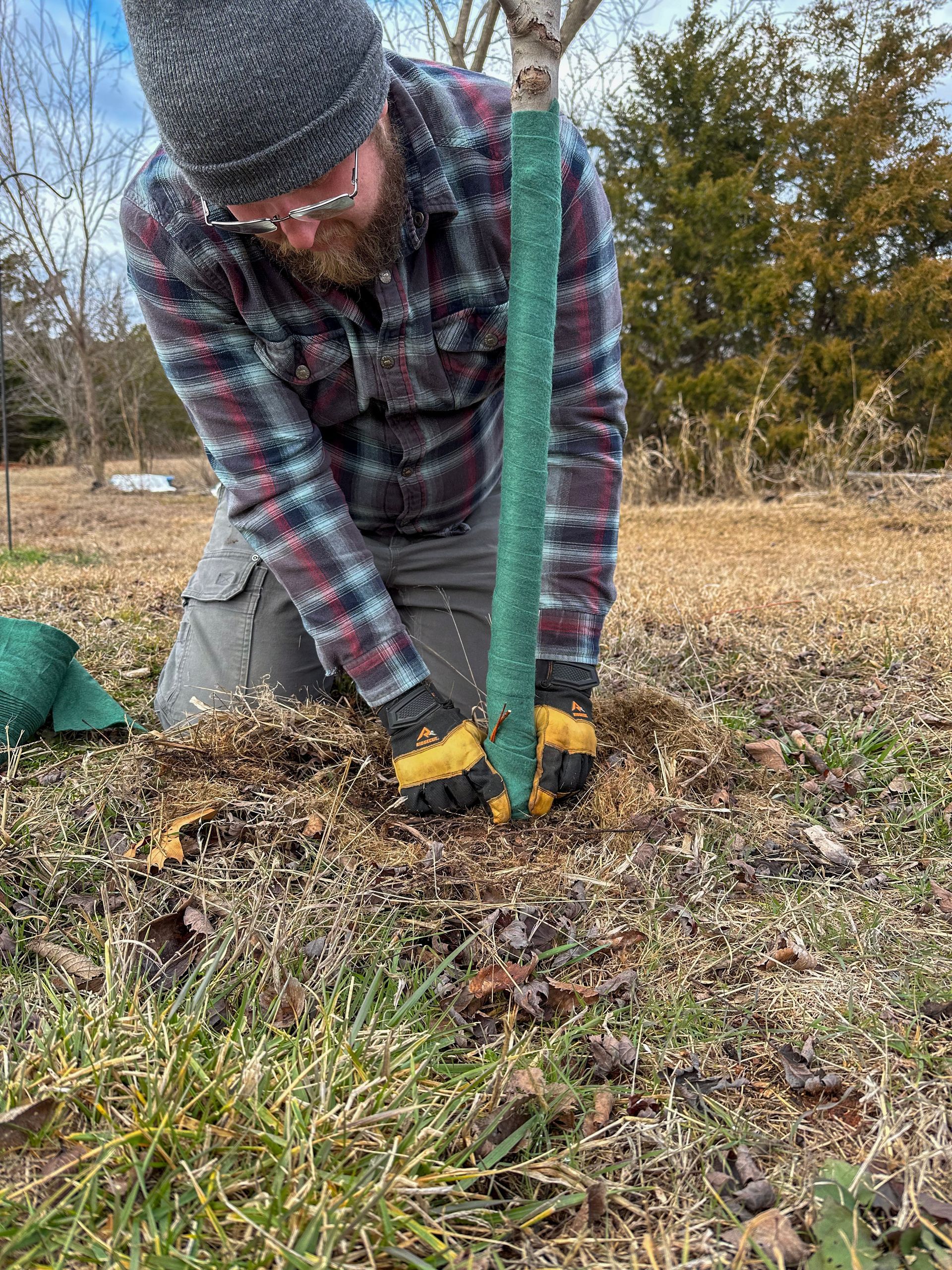tree removal; tree service; arborist; tree removal choctaw, OK; tree removal midwest city, ok; tree removal nicoma park, ok; tree service choctaw, ok; tree service midwest city, ok; tree service nicoma park, ok tree removal harrah, tree removal choctaw, tree removal mcloud, tree removal jones, tree removal luther, tree removal edmond, tree removal arcadia, tree removal shawnee, tree removal meeker, tree removal nicoma park, tree removal spencer, tree removal mwc, tree removal midwest city, tree removal del city, tree removal okc, tree removal oklahoma city, tree removal moore, tree removal dale, tree removal midway, tree removal fowler, tree removal jacktown,  tree removal bethel acres, tree removal tecumseh, tree removal pink, tree removal nichols hills, tree removal the village, tree removal wellston, tree removal lake thunderbird, tree removal thunderbird, tree service harrah, tree service choctaw, tree service mcloud, tree service jones, tree service luther, tree service edmond, tree service arcadia, tree service shawnee, tree service meeker, tree service nicoma park, tree service spencer, tree service mwc, tree service midwest city, tree service del city, tree service okc, tree service oklahoma city, tree service moore, tree service dale, tree service midway, tree service fowler, tree service jacktown,  tree service bethel acres, tree service tecumseh, tree service pink, tree service nichols hills, tree service the village, tree service wellston, tree service lake thunderbird, tree service thunderbird, tree services harrah, tree services choctaw, tree services mcloud, tree services jones, tree services luther, tree services edmond, tree services arcadia, tree services shawnee, tree services meeker, tree services nicoma park, tree services spencer, tree services mwc, tree services midwest city, tree services del city, tree services okc, tree services oklahoma city, tree services moore, tree services dale, tree services midway, tree services fowler, tree services jacktown,  tree services bethel acres, tree services tecumseh, tree services pink, tree services nichols hills, tree services the village, tree services wellston, tree services lake thunderbird, tree services thunderbird, tree pruning harrah, tree pruning choctaw, tree pruning mcloud, tree pruning jones, tree pruning luther, tree pruning edmond, tree pruning arcadia, tree pruning shawnee, tree pruning meeker, tree pruning nicoma park, tree pruning spencer, tree pruning mwc, tree pruning midwest city, tree pruning del city, tree pruning okc, tree pruning oklahoma city, tree pruning moore, tree pruning dale, tree pruning midway, tree pruning fowler, tree pruning jacktown,  tree pruning bethel acres, tree pruning tecumseh, tree pruning pink, tree pruning nichols hills, tree pruning the village, tree pruning wellston, tree pruning lake thunderbird, tree pruning thunderbird, tree trimming harrah, tree trimming choctaw, tree trimming mcloud, tree trimming jones, tree trimming luther, tree trimming edmond, tree trimming arcadia, tree trimming shawnee, tree trimming meeker, tree trimming nicoma park, tree trimming spencer, tree trimming mwc, tree trimming midwest city, tree trimming del city, tree trimming okc, tree trimming oklahoma city, tree trimming moore, tree trimming dale, tree trimming midway, tree trimming fowler, tree trimming jacktown,  tree trimming bethel acres, tree trimming tecumseh, tree trimming pink, tree trimming nichols hills, tree trimming the village, tree trimming wellston, tree trimming lake thunderbird, tree trimming thunderbird, stump grinding harrah, stump grinding  choctaw, stump grinding mcloud, stump grinding jones, stump grinding luther, stump grinding  edmond, stump grinding arcadia, stump grinding shawnee, stump grinding meeker, stump grinding nicoma park, stump grinding spencer, stump grinding mwc, stump grinding midwest city, stump grinding del city, stump grinding okc, stump grinding oklahoma city, stump grinding moore, stump grinding dale, stump grinding midway, stump grinding fowler, stump grinding jacktown, stump grinding bethel acres, stump grinding tecumseh, stump grinding pink, stump grinding nichols hills, stump grinding the village, stump grinding wellston, stump grinding lake thunderbird, stump grinding thunderbird, harrah tree removal, choctaw tree removal, mcloud tree removal, jones tree removal, luther tree removal, edmond tree removal, arcadia tree removal, shawnee tree removal, meeker tree removal, nicoma park tree removal, spencer tree removal, mwc tree removal, midwest city tree removal, del city tree removal, okc tree removal, oklahoma city tree removal, moore tree removal, dale tree removal, midway tree removal, fowler tree removal, jacktown tree removal, bethel acres tree removal,  tecumseh tree removal, pink tree removal, nichols hills tree removal, the village tree removal, wellston tree removal, lake thunderbird tree removal, thunderbird tree removal, harrah tree service, choctaw tree service, mcloud tree service, jones tree service, luther tree service, edmond tree service, arcadia tree service, shawnee tree service, meeker tree service, nicoma park tree service, spencer tree service, mwc tree service, midwest city tree service, del city tree service, okc tree service, oklahoma city tree service, moore tree service, dale tree service, midway tree service, fowler tree service, jacktown tree service, bethel acres tree service,  tecumseh tree service, pink tree service, nichols hills tree service, the village tree service, wellston tree service, lake thunderbird tree service, thunderbird tree service, harrah tree services, choctaw tree services, mcloud tree services, jones tree services, luther tree services, edmond tree services, arcadia tree services, shawnee tree services, meeker tree services, nicoma park tree services, spencer tree services, mwc tree services, midwest city tree services, del city tree services, okc tree services, oklahoma city tree services, moore tree services, dale tree services, midway tree services, fowler tree services, jacktown tree services, bethel acres tree services,  tecumseh tree services, pink tree services, nichols hills tree services, the village tree services, wellston tree services, lake thunderbird tree services, thunderbird tree services, harrah tree pruning, choctaw tree pruning, mcloud tree pruning, jones tree pruning, luther tree pruning, edmond tree pruning, arcadia tree pruning, shawnee tree pruning, meeker tree pruning, nicoma park tree pruning, spencer tree pruning, mwc tree pruning, midwest city tree pruning, del city tree pruning, okc tree pruning, oklahoma city tree pruning, moore tree pruning, dale tree pruning, midway tree pruning, fowler tree pruning, jacktown tree pruning, bethel acres tree pruning,  tecumseh tree pruning, pink tree pruning, nichols hills tree pruning, the village tree pruning, wellston tree pruning, lake thunderbird tree pruning, thunderbird tree pruning, harrah tree trimming, choctaw tree trimming, mcloud tree trimming, jones tree trimming, luther tree trimming, edmond tree trimming, arcadia tree trimming, shawnee tree trimming, meeker tree trimming, nicoma park tree trimming, spencer tree trimming, mwc tree trimming, midwest city tree trimming, del city tree trimming, okc tree trimming, oklahoma city tree trimming, moore tree trimming, dale tree trimming, midway tree trimming, fowler tree trimming, jacktown tree trimming, bethel acres tree trimming,  tecumseh tree trimming, pink tree trimming, nichols hills tree trimming, the village tree trimming, wellston tree trimming, lake thunderbird tree trimming, thunderbird tree trimming, harrah stump grinding, choctaw stump grinding, mcloud stump grinding, jones stump grinding, luther stump grinding, edmond stump grinding, arcadia stump grinding, shawnee stump grinding, meeker stump grinding, nicoma park stump grinding, spencer stump grinding, mwc stump grinding, midwest city stump grinding, del city stump grinding, okc stump grinding, oklahoma city stump grinding, moore stump grinding, dale stump grinding, midway stump grinding, fowler stump grinding, jacktown stump grinding, bethel acres stump grinding,  tecumseh stump grinding, pink stump grinding, nichols hills stump grinding, the village stump grinding, wellston stump grinding, lake thunderbird stump grinding, thunderbird stump grinding, harrah arborist, choctaw arborist, mcloud arborist, jones arborist, luther arborist, edmond arborist, arcadia arborist, shawnee arborist, meeker arborist, nicoma park arborist, spencer arborist, mwc arborist, midwest city arborist, del city arborist, okc arborist, oklahoma city arborist, moore arborist, dale arborist, midway arborist, fowler arborist, jacktown arborist, bethel acres arborist,  tecumseh arborist, pink arborist, nichols hills arborist, the village arborist, wellston arborist, lake thunderbird arborist, thunderbird arborist, arborist harrah, arborist choctaw, arborist mcloud, arborist jones, arborist luther, arborist edmond, arborist arcadia, arborist shawnee, arborist meeker, arborist nicoma park, arborist spencer, arborist mwc, arborist midwest city, arborist del city, arborist okc, arborist oklahoma city, arborist moore, arborist dale, arborist midway, arborist fowler, arborist jacktown, arborist bethel acres, arborist tecumseh, arborist pink, arborist nichols hills, arborist the village, arborist wellston, arborist lake thunderbird, arborist thunderbird,