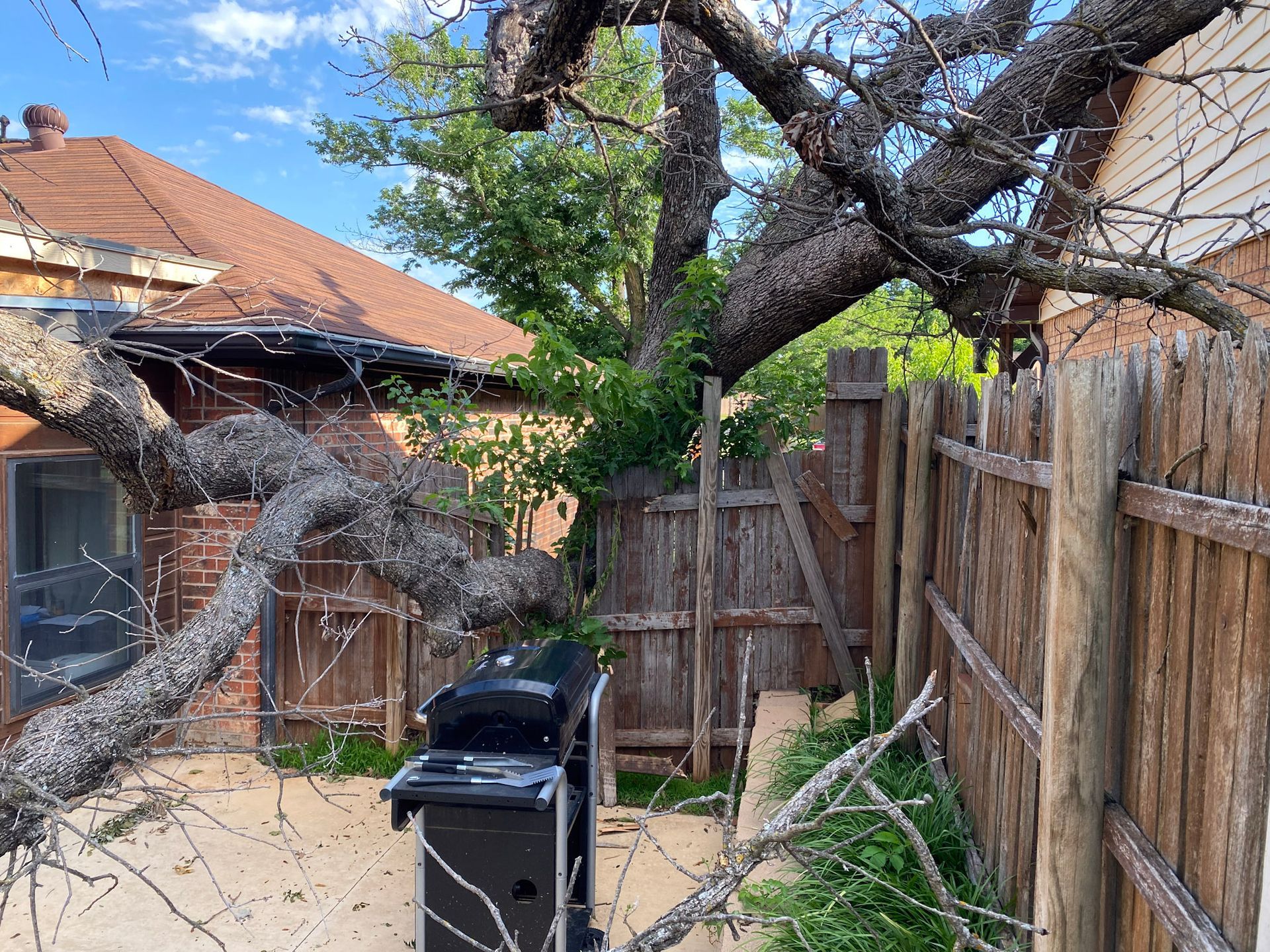 tree removal; tree service; arborist; tree removal choctaw, OK; tree removal midwest city, ok; tree removal nicoma park, ok; tree service choctaw, ok; tree service midwest city, ok; tree service nicoma park, ok tree removal harrah, tree removal choctaw, tree removal mcloud, tree removal jones, tree removal luther, tree removal edmond, tree removal arcadia, tree removal shawnee, tree removal meeker, tree removal nicoma park, tree removal spencer, tree removal mwc, tree removal midwest city, tree removal del city, tree removal okc, tree removal oklahoma city, tree removal moore, tree removal dale, tree removal midway, tree removal fowler, tree removal jacktown,  tree removal bethel acres, tree removal tecumseh, tree removal pink, tree removal nichols hills, tree removal the village, tree removal wellston, tree removal lake thunderbird, tree removal thunderbird, tree service harrah, tree service choctaw, tree service mcloud, tree service jones, tree service luther, tree service edmond, tree service arcadia, tree service shawnee, tree service meeker, tree service nicoma park, tree service spencer, tree service mwc, tree service midwest city, tree service del city, tree service okc, tree service oklahoma city, tree service moore, tree service dale, tree service midway, tree service fowler, tree service jacktown,  tree service bethel acres, tree service tecumseh, tree service pink, tree service nichols hills, tree service the village, tree service wellston, tree service lake thunderbird, tree service thunderbird, tree services harrah, tree services choctaw, tree services mcloud, tree services jones, tree services luther, tree services edmond, tree services arcadia, tree services shawnee, tree services meeker, tree services nicoma park, tree services spencer, tree services mwc, tree services midwest city, tree services del city, tree services okc, tree services oklahoma city, tree services moore, tree services dale, tree services midway, tree services fowler, tree services jacktown,  tree services bethel acres, tree services tecumseh, tree services pink, tree services nichols hills, tree services the village, tree services wellston, tree services lake thunderbird, tree services thunderbird, tree pruning harrah, tree pruning choctaw, tree pruning mcloud, tree pruning jones, tree pruning luther, tree pruning edmond, tree pruning arcadia, tree pruning shawnee, tree pruning meeker, tree pruning nicoma park, tree pruning spencer, tree pruning mwc, tree pruning midwest city, tree pruning del city, tree pruning okc, tree pruning oklahoma city, tree pruning moore, tree pruning dale, tree pruning midway, tree pruning fowler, tree pruning jacktown,  tree pruning bethel acres, tree pruning tecumseh, tree pruning pink, tree pruning nichols hills, tree pruning the village, tree pruning wellston, tree pruning lake thunderbird, tree pruning thunderbird, tree trimming harrah, tree trimming choctaw, tree trimming mcloud, tree trimming jones, tree trimming luther, tree trimming edmond, tree trimming arcadia, tree trimming shawnee, tree trimming meeker, tree trimming nicoma park, tree trimming spencer, tree trimming mwc, tree trimming midwest city, tree trimming del city, tree trimming okc, tree trimming oklahoma city, tree trimming moore, tree trimming dale, tree trimming midway, tree trimming fowler, tree trimming jacktown,  tree trimming bethel acres, tree trimming tecumseh, tree trimming pink, tree trimming nichols hills, tree trimming the village, tree trimming wellston, tree trimming lake thunderbird, tree trimming thunderbird, stump grinding harrah, stump grinding  choctaw, stump grinding mcloud, stump grinding jones, stump grinding luther, stump grinding  edmond, stump grinding arcadia, stump grinding shawnee, stump grinding meeker, stump grinding nicoma park, stump grinding spencer, stump grinding mwc, stump grinding midwest city, stump grinding del city, stump grinding okc, stump grinding oklahoma city, stump grinding moore, stump grinding dale, stump grinding midway, stump grinding fowler, stump grinding jacktown, stump grinding bethel acres, stump grinding tecumseh, stump grinding pink, stump grinding nichols hills, stump grinding the village, stump grinding wellston, stump grinding lake thunderbird, stump grinding thunderbird, harrah tree removal, choctaw tree removal, mcloud tree removal, jones tree removal, luther tree removal, edmond tree removal, arcadia tree removal, shawnee tree removal, meeker tree removal, nicoma park tree removal, spencer tree removal, mwc tree removal, midwest city tree removal, del city tree removal, okc tree removal, oklahoma city tree removal, moore tree removal, dale tree removal, midway tree removal, fowler tree removal, jacktown tree removal, bethel acres tree removal,  tecumseh tree removal, pink tree removal, nichols hills tree removal, the village tree removal, wellston tree removal, lake thunderbird tree removal, thunderbird tree removal, harrah tree service, choctaw tree service, mcloud tree service, jones tree service, luther tree service, edmond tree service, arcadia tree service, shawnee tree service, meeker tree service, nicoma park tree service, spencer tree service, mwc tree service, midwest city tree service, del city tree service, okc tree service, oklahoma city tree service, moore tree service, dale tree service, midway tree service, fowler tree service, jacktown tree service, bethel acres tree service,  tecumseh tree service, pink tree service, nichols hills tree service, the village tree service, wellston tree service, lake thunderbird tree service, thunderbird tree service, harrah tree services, choctaw tree services, mcloud tree services, jones tree services, luther tree services, edmond tree services, arcadia tree services, shawnee tree services, meeker tree services, nicoma park tree services, spencer tree services, mwc tree services, midwest city tree services, del city tree services, okc tree services, oklahoma city tree services, moore tree services, dale tree services, midway tree services, fowler tree services, jacktown tree services, bethel acres tree services,  tecumseh tree services, pink tree services, nichols hills tree services, the village tree services, wellston tree services, lake thunderbird tree services, thunderbird tree services, harrah tree pruning, choctaw tree pruning, mcloud tree pruning, jones tree pruning, luther tree pruning, edmond tree pruning, arcadia tree pruning, shawnee tree pruning, meeker tree pruning, nicoma park tree pruning, spencer tree pruning, mwc tree pruning, midwest city tree pruning, del city tree pruning, okc tree pruning, oklahoma city tree pruning, moore tree pruning, dale tree pruning, midway tree pruning, fowler tree pruning, jacktown tree pruning, bethel acres tree pruning,  tecumseh tree pruning, pink tree pruning, nichols hills tree pruning, the village tree pruning, wellston tree pruning, lake thunderbird tree pruning, thunderbird tree pruning, harrah tree trimming, choctaw tree trimming, mcloud tree trimming, jones tree trimming, luther tree trimming, edmond tree trimming, arcadia tree trimming, shawnee tree trimming, meeker tree trimming, nicoma park tree trimming, spencer tree trimming, mwc tree trimming, midwest city tree trimming, del city tree trimming, okc tree trimming, oklahoma city tree trimming, moore tree trimming, dale tree trimming, midway tree trimming, fowler tree trimming, jacktown tree trimming, bethel acres tree trimming,  tecumseh tree trimming, pink tree trimming, nichols hills tree trimming, the village tree trimming, wellston tree trimming, lake thunderbird tree trimming, thunderbird tree trimming, harrah stump grinding, choctaw stump grinding, mcloud stump grinding, jones stump grinding, luther stump grinding, edmond stump grinding, arcadia stump grinding, shawnee stump grinding, meeker stump grinding, nicoma park stump grinding, spencer stump grinding, mwc stump grinding, midwest city stump grinding, del city stump grinding, okc stump grinding, oklahoma city stump grinding, moore stump grinding, dale stump grinding, midway stump grinding, fowler stump grinding, jacktown stump grinding, bethel acres stump grinding,  tecumseh stump grinding, pink stump grinding, nichols hills stump grinding, the village stump grinding, wellston stump grinding, lake thunderbird stump grinding, thunderbird stump grinding, harrah arborist, choctaw arborist, mcloud arborist, jones arborist, luther arborist, edmond arborist, arcadia arborist, shawnee arborist, meeker arborist, nicoma park arborist, spencer arborist, mwc arborist, midwest city arborist, del city arborist, okc arborist, oklahoma city arborist, moore arborist, dale arborist, midway arborist, fowler arborist, jacktown arborist, bethel acres arborist,  tecumseh arborist, pink arborist, nichols hills arborist, the village arborist, wellston arborist, lake thunderbird arborist, thunderbird arborist, arborist harrah, arborist choctaw, arborist mcloud, arborist jones, arborist luther, arborist edmond, arborist arcadia, arborist shawnee, arborist meeker, arborist nicoma park, arborist spencer, arborist mwc, arborist midwest city, arborist del city, arborist okc, arborist oklahoma city, arborist moore, arborist dale, arborist midway, arborist fowler, arborist jacktown, arborist bethel acres, arborist tecumseh, arborist pink, arborist nichols hills, arborist the village, arborist wellston, arborist lake thunderbird, arborist thunderbird,