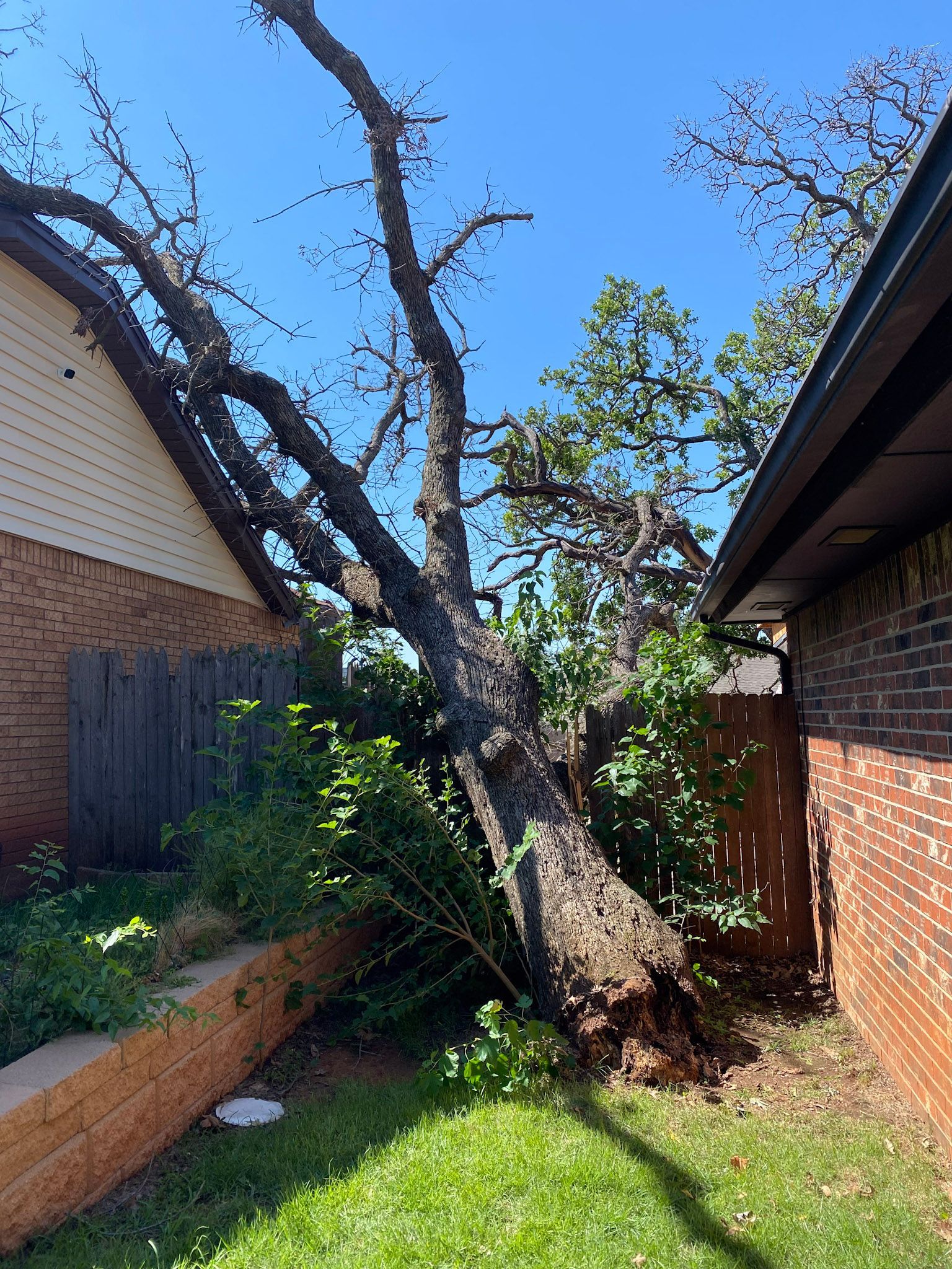 tree removal; tree service; arborist; tree removal choctaw, OK; tree removal midwest city, ok; tree removal nicoma park, ok; tree service choctaw, ok; tree service midwest city, ok; tree service nicoma park, ok tree removal harrah, tree removal choctaw, tree removal mcloud, tree removal jones, tree removal luther, tree removal edmond, tree removal arcadia, tree removal shawnee, tree removal meeker, tree removal nicoma park, tree removal spencer, tree removal mwc, tree removal midwest city, tree removal del city, tree removal okc, tree removal oklahoma city, tree removal moore, tree removal dale, tree removal midway, tree removal fowler, tree removal jacktown,  tree removal bethel acres, tree removal tecumseh, tree removal pink, tree removal nichols hills, tree removal the village, tree removal wellston, tree removal lake thunderbird, tree removal thunderbird, tree service harrah, tree service choctaw, tree service mcloud, tree service jones, tree service luther, tree service edmond, tree service arcadia, tree service shawnee, tree service meeker, tree service nicoma park, tree service spencer, tree service mwc, tree service midwest city, tree service del city, tree service okc, tree service oklahoma city, tree service moore, tree service dale, tree service midway, tree service fowler, tree service jacktown,  tree service bethel acres, tree service tecumseh, tree service pink, tree service nichols hills, tree service the village, tree service wellston, tree service lake thunderbird, tree service thunderbird, tree services harrah, tree services choctaw, tree services mcloud, tree services jones, tree services luther, tree services edmond, tree services arcadia, tree services shawnee, tree services meeker, tree services nicoma park, tree services spencer, tree services mwc, tree services midwest city, tree services del city, tree services okc, tree services oklahoma city, tree services moore, tree services dale, tree services midway, tree services fowler, tree services jacktown,  tree services bethel acres, tree services tecumseh, tree services pink, tree services nichols hills, tree services the village, tree services wellston, tree services lake thunderbird, tree services thunderbird, tree pruning harrah, tree pruning choctaw, tree pruning mcloud, tree pruning jones, tree pruning luther, tree pruning edmond, tree pruning arcadia, tree pruning shawnee, tree pruning meeker, tree pruning nicoma park, tree pruning spencer, tree pruning mwc, tree pruning midwest city, tree pruning del city, tree pruning okc, tree pruning oklahoma city, tree pruning moore, tree pruning dale, tree pruning midway, tree pruning fowler, tree pruning jacktown,  tree pruning bethel acres, tree pruning tecumseh, tree pruning pink, tree pruning nichols hills, tree pruning the village, tree pruning wellston, tree pruning lake thunderbird, tree pruning thunderbird, tree trimming harrah, tree trimming choctaw, tree trimming mcloud, tree trimming jones, tree trimming luther, tree trimming edmond, tree trimming arcadia, tree trimming shawnee, tree trimming meeker, tree trimming nicoma park, tree trimming spencer, tree trimming mwc, tree trimming midwest city, tree trimming del city, tree trimming okc, tree trimming oklahoma city, tree trimming moore, tree trimming dale, tree trimming midway, tree trimming fowler, tree trimming jacktown,  tree trimming bethel acres, tree trimming tecumseh, tree trimming pink, tree trimming nichols hills, tree trimming the village, tree trimming wellston, tree trimming lake thunderbird, tree trimming thunderbird, stump grinding harrah, stump grinding  choctaw, stump grinding mcloud, stump grinding jones, stump grinding luther, stump grinding  edmond, stump grinding arcadia, stump grinding shawnee, stump grinding meeker, stump grinding nicoma park, stump grinding spencer, stump grinding mwc, stump grinding midwest city, stump grinding del city, stump grinding okc, stump grinding oklahoma city, stump grinding moore, stump grinding dale, stump grinding midway, stump grinding fowler, stump grinding jacktown, stump grinding bethel acres, stump grinding tecumseh, stump grinding pink, stump grinding nichols hills, stump grinding the village, stump grinding wellston, stump grinding lake thunderbird, stump grinding thunderbird, harrah tree removal, choctaw tree removal, mcloud tree removal, jones tree removal, luther tree removal, edmond tree removal, arcadia tree removal, shawnee tree removal, meeker tree removal, nicoma park tree removal, spencer tree removal, mwc tree removal, midwest city tree removal, del city tree removal, okc tree removal, oklahoma city tree removal, moore tree removal, dale tree removal, midway tree removal, fowler tree removal, jacktown tree removal, bethel acres tree removal,  tecumseh tree removal, pink tree removal, nichols hills tree removal, the village tree removal, wellston tree removal, lake thunderbird tree removal, thunderbird tree removal, harrah tree service, choctaw tree service, mcloud tree service, jones tree service, luther tree service, edmond tree service, arcadia tree service, shawnee tree service, meeker tree service, nicoma park tree service, spencer tree service, mwc tree service, midwest city tree service, del city tree service, okc tree service, oklahoma city tree service, moore tree service, dale tree service, midway tree service, fowler tree service, jacktown tree service, bethel acres tree service,  tecumseh tree service, pink tree service, nichols hills tree service, the village tree service, wellston tree service, lake thunderbird tree service, thunderbird tree service, harrah tree services, choctaw tree services, mcloud tree services, jones tree services, luther tree services, edmond tree services, arcadia tree services, shawnee tree services, meeker tree services, nicoma park tree services, spencer tree services, mwc tree services, midwest city tree services, del city tree services, okc tree services, oklahoma city tree services, moore tree services, dale tree services, midway tree services, fowler tree services, jacktown tree services, bethel acres tree services,  tecumseh tree services, pink tree services, nichols hills tree services, the village tree services, wellston tree services, lake thunderbird tree services, thunderbird tree services, harrah tree pruning, choctaw tree pruning, mcloud tree pruning, jones tree pruning, luther tree pruning, edmond tree pruning, arcadia tree pruning, shawnee tree pruning, meeker tree pruning, nicoma park tree pruning, spencer tree pruning, mwc tree pruning, midwest city tree pruning, del city tree pruning, okc tree pruning, oklahoma city tree pruning, moore tree pruning, dale tree pruning, midway tree pruning, fowler tree pruning, jacktown tree pruning, bethel acres tree pruning,  tecumseh tree pruning, pink tree pruning, nichols hills tree pruning, the village tree pruning, wellston tree pruning, lake thunderbird tree pruning, thunderbird tree pruning, harrah tree trimming, choctaw tree trimming, mcloud tree trimming, jones tree trimming, luther tree trimming, edmond tree trimming, arcadia tree trimming, shawnee tree trimming, meeker tree trimming, nicoma park tree trimming, spencer tree trimming, mwc tree trimming, midwest city tree trimming, del city tree trimming, okc tree trimming, oklahoma city tree trimming, moore tree trimming, dale tree trimming, midway tree trimming, fowler tree trimming, jacktown tree trimming, bethel acres tree trimming,  tecumseh tree trimming, pink tree trimming, nichols hills tree trimming, the village tree trimming, wellston tree trimming, lake thunderbird tree trimming, thunderbird tree trimming, harrah stump grinding, choctaw stump grinding, mcloud stump grinding, jones stump grinding, luther stump grinding, edmond stump grinding, arcadia stump grinding, shawnee stump grinding, meeker stump grinding, nicoma park stump grinding, spencer stump grinding, mwc stump grinding, midwest city stump grinding, del city stump grinding, okc stump grinding, oklahoma city stump grinding, moore stump grinding, dale stump grinding, midway stump grinding, fowler stump grinding, jacktown stump grinding, bethel acres stump grinding,  tecumseh stump grinding, pink stump grinding, nichols hills stump grinding, the village stump grinding, wellston stump grinding, lake thunderbird stump grinding, thunderbird stump grinding, harrah arborist, choctaw arborist, mcloud arborist, jones arborist, luther arborist, edmond arborist, arcadia arborist, shawnee arborist, meeker arborist, nicoma park arborist, spencer arborist, mwc arborist, midwest city arborist, del city arborist, okc arborist, oklahoma city arborist, moore arborist, dale arborist, midway arborist, fowler arborist, jacktown arborist, bethel acres arborist,  tecumseh arborist, pink arborist, nichols hills arborist, the village arborist, wellston arborist, lake thunderbird arborist, thunderbird arborist, arborist harrah, arborist choctaw, arborist mcloud, arborist jones, arborist luther, arborist edmond, arborist arcadia, arborist shawnee, arborist meeker, arborist nicoma park, arborist spencer, arborist mwc, arborist midwest city, arborist del city, arborist okc, arborist oklahoma city, arborist moore, arborist dale, arborist midway, arborist fowler, arborist jacktown, arborist bethel acres, arborist tecumseh, arborist pink, arborist nichols hills, arborist the village, arborist wellston, arborist lake thunderbird, arborist thunderbird,