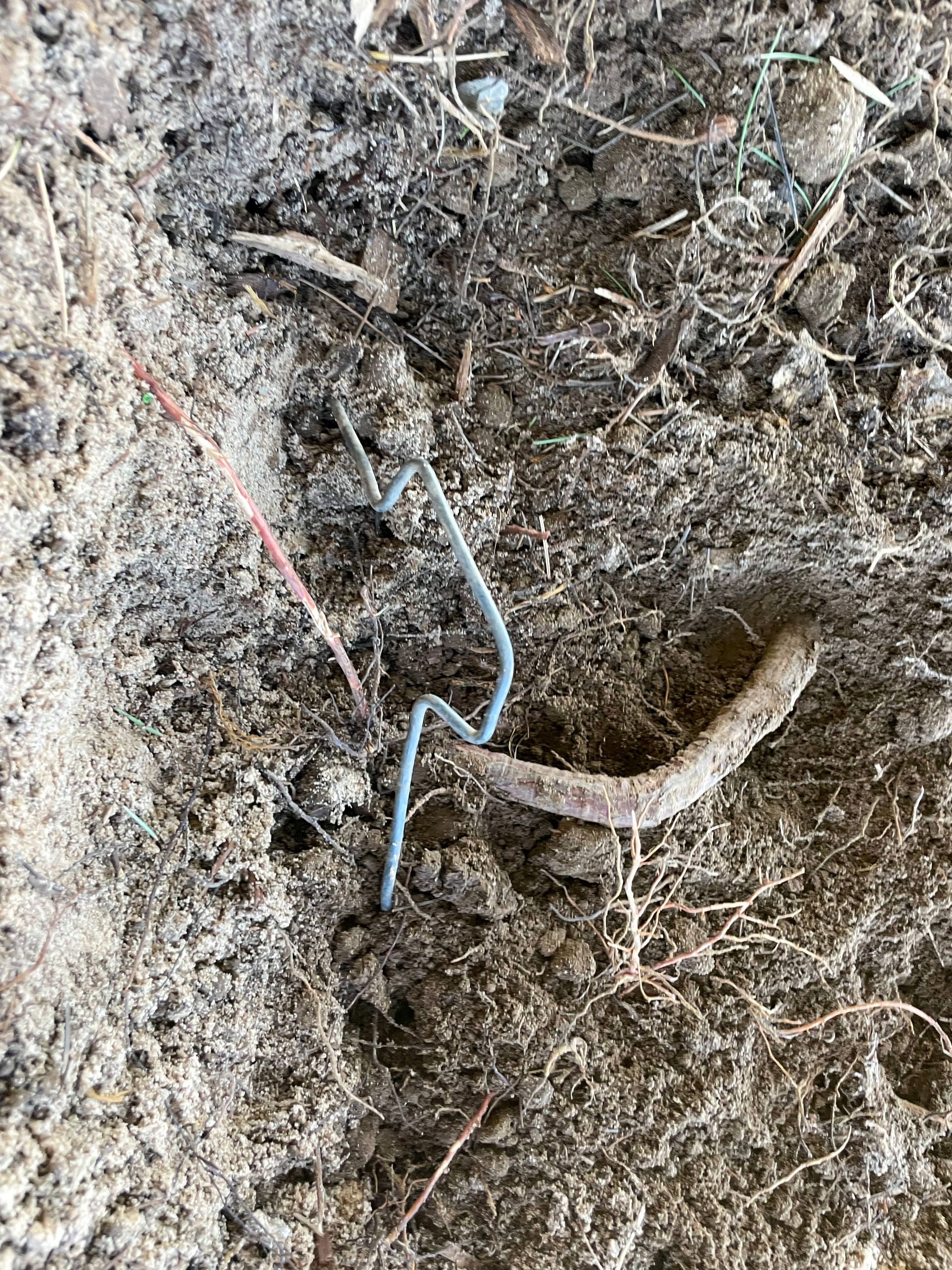 tree removal; tree service; arborist; tree removal choctaw, OK; tree removal midwest city, ok; tree removal nicoma park, ok; tree service choctaw, ok; tree service midwest city, ok; tree service nicoma park, ok tree removal harrah, tree removal choctaw, tree removal mcloud, tree removal jones, tree removal luther, tree removal edmond, tree removal arcadia, tree removal shawnee, tree removal meeker, tree removal nicoma park, tree removal spencer, tree removal mwc, tree removal midwest city, tree removal del city, tree removal okc, tree removal oklahoma city, tree removal moore, tree removal dale, tree removal midway, tree removal fowler, tree removal jacktown,  tree removal bethel acres, tree removal tecumseh, tree removal pink, tree removal nichols hills, tree removal the village, tree removal wellston, tree removal lake thunderbird, tree removal thunderbird, tree service harrah, tree service choctaw, tree service mcloud, tree service jones, tree service luther, tree service edmond, tree service arcadia, tree service shawnee, tree service meeker, tree service nicoma park, tree service spencer, tree service mwc, tree service midwest city, tree service del city, tree service okc, tree service oklahoma city, tree service moore, tree service dale, tree service midway, tree service fowler, tree service jacktown,  tree service bethel acres, tree service tecumseh, tree service pink, tree service nichols hills, tree service the village, tree service wellston, tree service lake thunderbird, tree service thunderbird, tree services harrah, tree services choctaw, tree services mcloud, tree services jones, tree services luther, tree services edmond, tree services arcadia, tree services shawnee, tree services meeker, tree services nicoma park, tree services spencer, tree services mwc, tree services midwest city, tree services del city, tree services okc, tree services oklahoma city, tree services moore, tree services dale, tree services midway, tree services fowler, tree services jacktown,  tree services bethel acres, tree services tecumseh, tree services pink, tree services nichols hills, tree services the village, tree services wellston, tree services lake thunderbird, tree services thunderbird, tree pruning harrah, tree pruning choctaw, tree pruning mcloud, tree pruning jones, tree pruning luther, tree pruning edmond, tree pruning arcadia, tree pruning shawnee, tree pruning meeker, tree pruning nicoma park, tree pruning spencer, tree pruning mwc, tree pruning midwest city, tree pruning del city, tree pruning okc, tree pruning oklahoma city, tree pruning moore, tree pruning dale, tree pruning midway, tree pruning fowler, tree pruning jacktown,  tree pruning bethel acres, tree pruning tecumseh, tree pruning pink, tree pruning nichols hills, tree pruning the village, tree pruning wellston, tree pruning lake thunderbird, tree pruning thunderbird, tree trimming harrah, tree trimming choctaw, tree trimming mcloud, tree trimming jones, tree trimming luther, tree trimming edmond, tree trimming arcadia, tree trimming shawnee, tree trimming meeker, tree trimming nicoma park, tree trimming spencer, tree trimming mwc, tree trimming midwest city, tree trimming del city, tree trimming okc, tree trimming oklahoma city, tree trimming moore, tree trimming dale, tree trimming midway, tree trimming fowler, tree trimming jacktown,  tree trimming bethel acres, tree trimming tecumseh, tree trimming pink, tree trimming nichols hills, tree trimming the village, tree trimming wellston, tree trimming lake thunderbird, tree trimming thunderbird, stump grinding harrah, stump grinding  choctaw, stump grinding mcloud, stump grinding jones, stump grinding luther, stump grinding  edmond, stump grinding arcadia, stump grinding shawnee, stump grinding meeker, stump grinding nicoma park, stump grinding spencer, stump grinding mwc, stump grinding midwest city, stump grinding del city, stump grinding okc, stump grinding oklahoma city, stump grinding moore, stump grinding dale, stump grinding midway, stump grinding fowler, stump grinding jacktown, stump grinding bethel acres, stump grinding tecumseh, stump grinding pink, stump grinding nichols hills, stump grinding the village, stump grinding wellston, stump grinding lake thunderbird, stump grinding thunderbird, harrah tree removal, choctaw tree removal, mcloud tree removal, jones tree removal, luther tree removal, edmond tree removal, arcadia tree removal, shawnee tree removal, meeker tree removal, nicoma park tree removal, spencer tree removal, mwc tree removal, midwest city tree removal, del city tree removal, okc tree removal, oklahoma city tree removal, moore tree removal, dale tree removal, midway tree removal, fowler tree removal, jacktown tree removal, bethel acres tree removal,  tecumseh tree removal, pink tree removal, nichols hills tree removal, the village tree removal, wellston tree removal, lake thunderbird tree removal, thunderbird tree removal, harrah tree service, choctaw tree service, mcloud tree service, jones tree service, luther tree service, edmond tree service, arcadia tree service, shawnee tree service, meeker tree service, nicoma park tree service, spencer tree service, mwc tree service, midwest city tree service, del city tree service, okc tree service, oklahoma city tree service, moore tree service, dale tree service, midway tree service, fowler tree service, jacktown tree service, bethel acres tree service,  tecumseh tree service, pink tree service, nichols hills tree service, the village tree service, wellston tree service, lake thunderbird tree service, thunderbird tree service, harrah tree services, choctaw tree services, mcloud tree services, jones tree services, luther tree services, edmond tree services, arcadia tree services, shawnee tree services, meeker tree services, nicoma park tree services, spencer tree services, mwc tree services, midwest city tree services, del city tree services, okc tree services, oklahoma city tree services, moore tree services, dale tree services, midway tree services, fowler tree services, jacktown tree services, bethel acres tree services,  tecumseh tree services, pink tree services, nichols hills tree services, the village tree services, wellston tree services, lake thunderbird tree services, thunderbird tree services, harrah tree pruning, choctaw tree pruning, mcloud tree pruning, jones tree pruning, luther tree pruning, edmond tree pruning, arcadia tree pruning, shawnee tree pruning, meeker tree pruning, nicoma park tree pruning, spencer tree pruning, mwc tree pruning, midwest city tree pruning, del city tree pruning, okc tree pruning, oklahoma city tree pruning, moore tree pruning, dale tree pruning, midway tree pruning, fowler tree pruning, jacktown tree pruning, bethel acres tree pruning,  tecumseh tree pruning, pink tree pruning, nichols hills tree pruning, the village tree pruning, wellston tree pruning, lake thunderbird tree pruning, thunderbird tree pruning, harrah tree trimming, choctaw tree trimming, mcloud tree trimming, jones tree trimming, luther tree trimming, edmond tree trimming, arcadia tree trimming, shawnee tree trimming, meeker tree trimming, nicoma park tree trimming, spencer tree trimming, mwc tree trimming, midwest city tree trimming, del city tree trimming, okc tree trimming, oklahoma city tree trimming, moore tree trimming, dale tree trimming, midway tree trimming, fowler tree trimming, jacktown tree trimming, bethel acres tree trimming,  tecumseh tree trimming, pink tree trimming, nichols hills tree trimming, the village tree trimming, wellston tree trimming, lake thunderbird tree trimming, thunderbird tree trimming, harrah stump grinding, choctaw stump grinding, mcloud stump grinding, jones stump grinding, luther stump grinding, edmond stump grinding, arcadia stump grinding, shawnee stump grinding, meeker stump grinding, nicoma park stump grinding, spencer stump grinding, mwc stump grinding, midwest city stump grinding, del city stump grinding, okc stump grinding, oklahoma city stump grinding, moore stump grinding, dale stump grinding, midway stump grinding, fowler stump grinding, jacktown stump grinding, bethel acres stump grinding,  tecumseh stump grinding, pink stump grinding, nichols hills stump grinding, the village stump grinding, wellston stump grinding, lake thunderbird stump grinding, thunderbird stump grinding, harrah arborist, choctaw arborist, mcloud arborist, jones arborist, luther arborist, edmond arborist, arcadia arborist, shawnee arborist, meeker arborist, nicoma park arborist, spencer arborist, mwc arborist, midwest city arborist, del city arborist, okc arborist, oklahoma city arborist, moore arborist, dale arborist, midway arborist, fowler arborist, jacktown arborist, bethel acres arborist,  tecumseh arborist, pink arborist, nichols hills arborist, the village arborist, wellston arborist, lake thunderbird arborist, thunderbird arborist, arborist harrah, arborist choctaw, arborist mcloud, arborist jones, arborist luther, arborist edmond, arborist arcadia, arborist shawnee, arborist meeker, arborist nicoma park, arborist spencer, arborist mwc, arborist midwest city, arborist del city, arborist okc, arborist oklahoma city, arborist moore, arborist dale, arborist midway, arborist fowler, arborist jacktown, arborist bethel acres, arborist tecumseh, arborist pink, arborist nichols hills, arborist the village, arborist wellston, arborist lake thunderbird, arborist thunderbird,