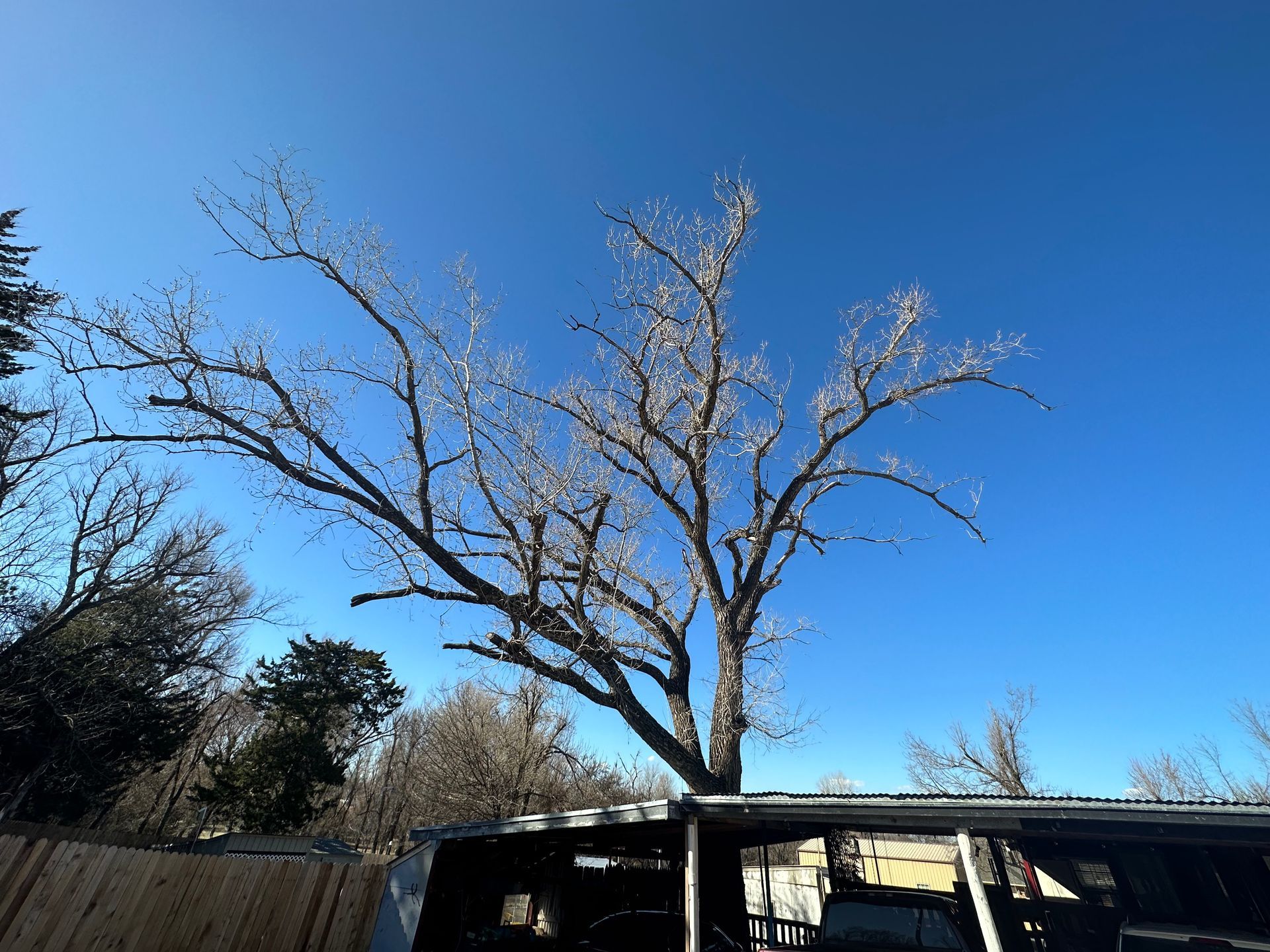 cottonwood tree removal; tree removal; tree service; arborist; tree removal choctaw, OK; tree removal midwest city, ok; tree removal nicoma park, ok; tree service choctaw, ok; tree service midwest city, ok; tree service nicoma park, ok tree removal harrah, tree removal choctaw, tree removal mcloud, tree removal jones, tree removal luther, tree removal edmond, tree removal arcadia, tree removal shawnee, tree removal meeker, tree removal nicoma park, tree removal spencer, tree removal mwc, tree removal midwest city, tree removal del city, tree removal okc, tree removal oklahoma city, tree removal moore, tree removal dale, tree removal midway, tree removal fowler, tree removal jacktown,  tree removal bethel acres, tree removal tecumseh, tree removal pink, tree removal nichols hills, tree removal the village, tree removal wellston, tree removal lake thunderbird, tree removal thunderbird, tree service harrah, tree service choctaw, tree service mcloud, tree service jones, tree service luther, tree service edmond, tree service arcadia, tree service shawnee, tree service meeker, tree service nicoma park, tree service spencer, tree service mwc, tree service midwest city, tree service del city, tree service okc, tree service oklahoma city, tree service moore, tree service dale, tree service midway, tree service fowler, tree service jacktown,  tree service bethel acres, tree service tecumseh, tree service pink, tree service nichols hills, tree service the village, tree service wellston, tree service lake thunderbird, tree service thunderbird, tree services harrah, tree services choctaw, tree services mcloud, tree services jones, tree services luther, tree services edmond, tree services arcadia, tree services shawnee, tree services meeker, tree services nicoma park, tree services spencer, tree services mwc, tree services midwest city, tree services del city, tree services okc, tree services oklahoma city, tree services moore, tree services dale, tree services midway, tree services fowler, tree services jacktown,  tree services bethel acres, tree services tecumseh, tree services pink, tree services nichols hills, tree services the village, tree services wellston, tree services lake thunderbird, tree services thunderbird, tree pruning harrah, tree pruning choctaw, tree pruning mcloud, tree pruning jones, tree pruning luther, tree pruning edmond, tree pruning arcadia, tree pruning shawnee, tree pruning meeker, tree pruning nicoma park, tree pruning spencer, tree pruning mwc, tree pruning midwest city, tree pruning del city, tree pruning okc, tree pruning oklahoma city, tree pruning moore, tree pruning dale, tree pruning midway, tree pruning fowler, tree pruning jacktown,  tree pruning bethel acres, tree pruning tecumseh, tree pruning pink, tree pruning nichols hills, tree pruning the village, tree pruning wellston, tree pruning lake thunderbird, tree pruning thunderbird, tree trimming harrah, tree trimming choctaw, tree trimming mcloud, tree trimming jones, tree trimming luther, tree trimming edmond, tree trimming arcadia, tree trimming shawnee, tree trimming meeker, tree trimming nicoma park, tree trimming spencer, tree trimming mwc, tree trimming midwest city, tree trimming del city, tree trimming okc, tree trimming oklahoma city, tree trimming moore, tree trimming dale, tree trimming midway, tree trimming fowler, tree trimming jacktown,  tree trimming bethel acres, tree trimming tecumseh, tree trimming pink, tree trimming nichols hills, tree trimming the village, tree trimming wellston, tree trimming lake thunderbird, tree trimming thunderbird, stump grinding harrah, stump grinding  choctaw, stump grinding mcloud, stump grinding jones, stump grinding luther, stump grinding  edmond, stump grinding arcadia, stump grinding shawnee, stump grinding meeker, stump grinding nicoma park, stump grinding spencer, stump grinding mwc, stump grinding midwest city, stump grinding del city, stump grinding okc, stump grinding oklahoma city, stump grinding moore, stump grinding dale, stump grinding midway, stump grinding fowler, stump grinding jacktown, stump grinding bethel acres, stump grinding tecumseh, stump grinding pink, stump grinding nichols hills, stump grinding the village, stump grinding wellston, stump grinding lake thunderbird, stump grinding thunderbird, harrah tree removal, choctaw tree removal, mcloud tree removal, jones tree removal, luther tree removal, edmond tree removal, arcadia tree removal, shawnee tree removal, meeker tree removal, nicoma park tree removal, spencer tree removal, mwc tree removal, midwest city tree removal, del city tree removal, okc tree removal, oklahoma city tree removal, moore tree removal, dale tree removal, midway tree removal, fowler tree removal, jacktown tree removal, bethel acres tree removal,  tecumseh tree removal, pink tree removal, nichols hills tree removal, the village tree removal, wellston tree removal, lake thunderbird tree removal, thunderbird tree removal, harrah tree service, choctaw tree service, mcloud tree service, jones tree service, luther tree service, edmond tree service, arcadia tree service, shawnee tree service, meeker tree service, nicoma park tree service, spencer tree service, mwc tree service, midwest city tree service, del city tree service, okc tree service, oklahoma city tree service, moore tree service, dale tree service, midway tree service, fowler tree service, jacktown tree service, bethel acres tree service,  tecumseh tree service, pink tree service, nichols hills tree service, the village tree service, wellston tree service, lake thunderbird tree service, thunderbird tree service, harrah tree services, choctaw tree services, mcloud tree services, jones tree services, luther tree services, edmond tree services, arcadia tree services, shawnee tree services, meeker tree services, nicoma park tree services, spencer tree services, mwc tree services, midwest city tree services, del city tree services, okc tree services, oklahoma city tree services, moore tree services, dale tree services, midway tree services, fowler tree services, jacktown tree services, bethel acres tree services,  tecumseh tree services, pink tree services, nichols hills tree services, the village tree services, wellston tree services, lake thunderbird tree services, thunderbird tree services, harrah tree pruning, choctaw tree pruning, mcloud tree pruning, jones tree pruning, luther tree pruning, edmond tree pruning, arcadia tree pruning, shawnee tree pruning, meeker tree pruning, nicoma park tree pruning, spencer tree pruning, mwc tree pruning, midwest city tree pruning, del city tree pruning, okc tree pruning, oklahoma city tree pruning, moore tree pruning, dale tree pruning, midway tree pruning, fowler tree pruning, jacktown tree pruning, bethel acres tree pruning,  tecumseh tree pruning, pink tree pruning, nichols hills tree pruning, the village tree pruning, wellston tree pruning, lake thunderbird tree pruning, thunderbird tree pruning, harrah tree trimming, choctaw tree trimming, mcloud tree trimming, jones tree trimming, luther tree trimming, edmond tree trimming, arcadia tree trimming, shawnee tree trimming, meeker tree trimming, nicoma park tree trimming, spencer tree trimming, mwc tree trimming, midwest city tree trimming, del city tree trimming, okc tree trimming, oklahoma city tree trimming, moore tree trimming, dale tree trimming, midway tree trimming, fowler tree trimming, jacktown tree trimming, bethel acres tree trimming,  tecumseh tree trimming, pink tree trimming, nichols hills tree trimming, the village tree trimming, wellston tree trimming, lake thunderbird tree trimming, thunderbird tree trimming, harrah stump grinding, choctaw stump grinding, mcloud stump grinding, jones stump grinding, luther stump grinding, edmond stump grinding, arcadia stump grinding, shawnee stump grinding, meeker stump grinding, nicoma park stump grinding, spencer stump grinding, mwc stump grinding, midwest city stump grinding, del city stump grinding, okc stump grinding, oklahoma city stump grinding, moore stump grinding, dale stump grinding, midway stump grinding, fowler stump grinding, jacktown stump grinding, bethel acres stump grinding,  tecumseh stump grinding, pink stump grinding, nichols hills stump grinding, the village stump grinding, wellston stump grinding, lake thunderbird stump grinding, thunderbird stump grinding, harrah arborist, choctaw arborist, mcloud arborist, jones arborist, luther arborist, edmond arborist, arcadia arborist, shawnee arborist, meeker arborist, nicoma park arborist, spencer arborist, mwc arborist, midwest city arborist, del city arborist, okc arborist, oklahoma city arborist, moore arborist, dale arborist, midway arborist, fowler arborist, jacktown arborist, bethel acres arborist,  tecumseh arborist, pink arborist, nichols hills arborist, the village arborist, wellston arborist, lake thunderbird arborist, thunderbird arborist, arborist harrah, arborist choctaw, arborist mcloud, arborist jones, arborist luther, arborist edmond, arborist arcadia, arborist shawnee, arborist meeker, arborist nicoma park, arborist spencer, arborist mwc, arborist midwest city, arborist del city, arborist okc, arborist oklahoma city, arborist moore, arborist dale, arborist midway, arborist fowler, arborist jacktown, arborist bethel acres, arborist tecumseh, arborist pink, arborist nichols hills, arborist the village, arborist wellston, arborist lake thunderbird, arborist thunderbird,