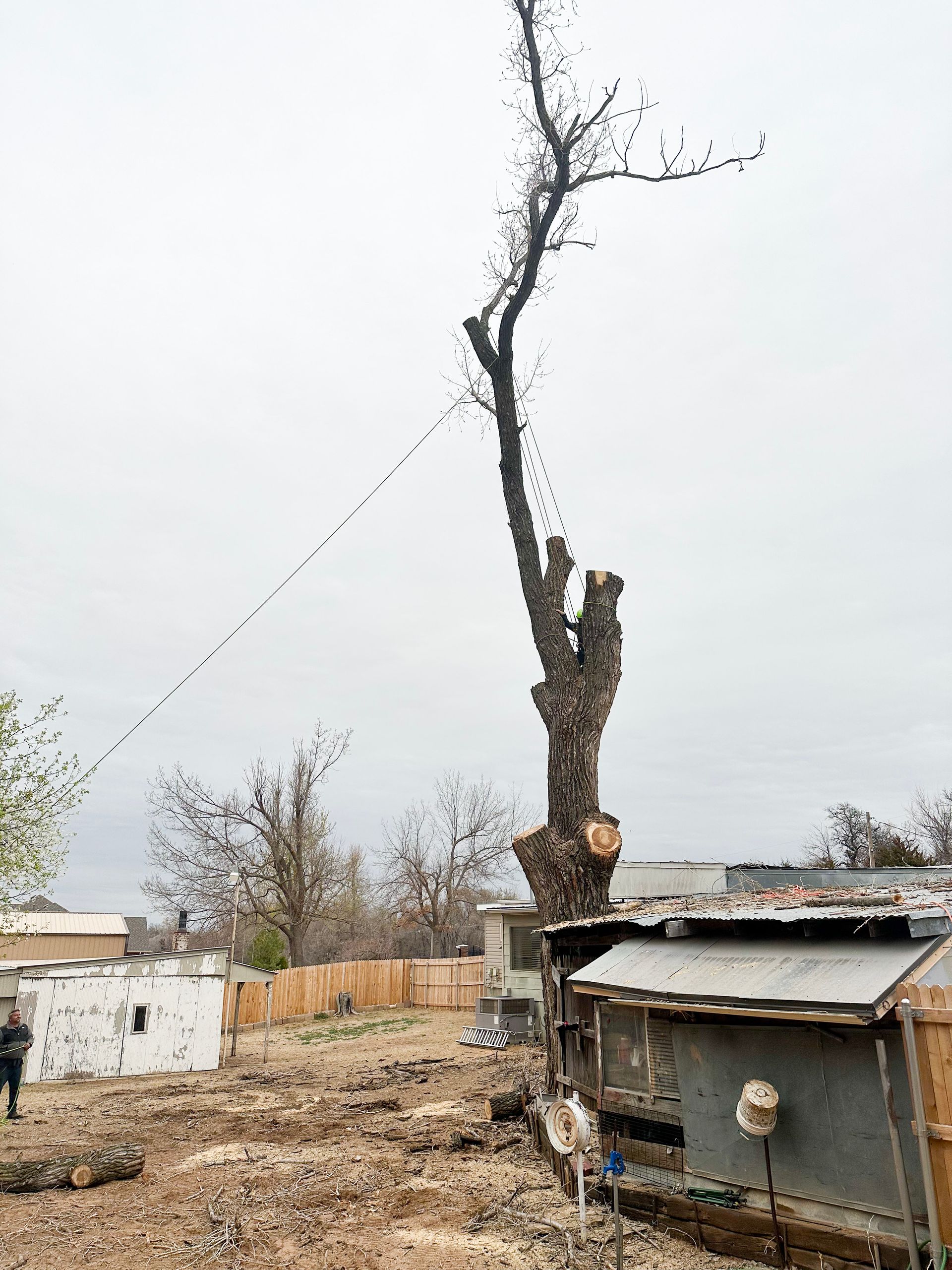 cottonwood tree removal; tree removal; tree service; arborist; tree removal choctaw, OK; tree removal midwest city, ok; tree removal nicoma park, ok; tree service choctaw, ok; tree service midwest city, ok; tree service nicoma park, ok tree removal harrah, tree removal choctaw, tree removal mcloud, tree removal jones, tree removal luther, tree removal edmond, tree removal arcadia, tree removal shawnee, tree removal meeker, tree removal nicoma park, tree removal spencer, tree removal mwc, tree removal midwest city, tree removal del city, tree removal okc, tree removal oklahoma city, tree removal moore, tree removal dale, tree removal midway, tree removal fowler, tree removal jacktown,  tree removal bethel acres, tree removal tecumseh, tree removal pink, tree removal nichols hills, tree removal the village, tree removal wellston, tree removal lake thunderbird, tree removal thunderbird, tree service harrah, tree service choctaw, tree service mcloud, tree service jones, tree service luther, tree service edmond, tree service arcadia, tree service shawnee, tree service meeker, tree service nicoma park, tree service spencer, tree service mwc, tree service midwest city, tree service del city, tree service okc, tree service oklahoma city, tree service moore, tree service dale, tree service midway, tree service fowler, tree service jacktown,  tree service bethel acres, tree service tecumseh, tree service pink, tree service nichols hills, tree service the village, tree service wellston, tree service lake thunderbird, tree service thunderbird, tree services harrah, tree services choctaw, tree services mcloud, tree services jones, tree services luther, tree services edmond, tree services arcadia, tree services shawnee, tree services meeker, tree services nicoma park, tree services spencer, tree services mwc, tree services midwest city, tree services del city, tree services okc, tree services oklahoma city, tree services moore, tree services dale, tree services midway, tree services fowler, tree services jacktown,  tree services bethel acres, tree services tecumseh, tree services pink, tree services nichols hills, tree services the village, tree services wellston, tree services lake thunderbird, tree services thunderbird, tree pruning harrah, tree pruning choctaw, tree pruning mcloud, tree pruning jones, tree pruning luther, tree pruning edmond, tree pruning arcadia, tree pruning shawnee, tree pruning meeker, tree pruning nicoma park, tree pruning spencer, tree pruning mwc, tree pruning midwest city, tree pruning del city, tree pruning okc, tree pruning oklahoma city, tree pruning moore, tree pruning dale, tree pruning midway, tree pruning fowler, tree pruning jacktown,  tree pruning bethel acres, tree pruning tecumseh, tree pruning pink, tree pruning nichols hills, tree pruning the village, tree pruning wellston, tree pruning lake thunderbird, tree pruning thunderbird, tree trimming harrah, tree trimming choctaw, tree trimming mcloud, tree trimming jones, tree trimming luther, tree trimming edmond, tree trimming arcadia, tree trimming shawnee, tree trimming meeker, tree trimming nicoma park, tree trimming spencer, tree trimming mwc, tree trimming midwest city, tree trimming del city, tree trimming okc, tree trimming oklahoma city, tree trimming moore, tree trimming dale, tree trimming midway, tree trimming fowler, tree trimming jacktown,  tree trimming bethel acres, tree trimming tecumseh, tree trimming pink, tree trimming nichols hills, tree trimming the village, tree trimming wellston, tree trimming lake thunderbird, tree trimming thunderbird, stump grinding harrah, stump grinding  choctaw, stump grinding mcloud, stump grinding jones, stump grinding luther, stump grinding  edmond, stump grinding arcadia, stump grinding shawnee, stump grinding meeker, stump grinding nicoma park, stump grinding spencer, stump grinding mwc, stump grinding midwest city, stump grinding del city, stump grinding okc, stump grinding oklahoma city, stump grinding moore, stump grinding dale, stump grinding midway, stump grinding fowler, stump grinding jacktown, stump grinding bethel acres, stump grinding tecumseh, stump grinding pink, stump grinding nichols hills, stump grinding the village, stump grinding wellston, stump grinding lake thunderbird, stump grinding thunderbird, harrah tree removal, choctaw tree removal, mcloud tree removal, jones tree removal, luther tree removal, edmond tree removal, arcadia tree removal, shawnee tree removal, meeker tree removal, nicoma park tree removal, spencer tree removal, mwc tree removal, midwest city tree removal, del city tree removal, okc tree removal, oklahoma city tree removal, moore tree removal, dale tree removal, midway tree removal, fowler tree removal, jacktown tree removal, bethel acres tree removal,  tecumseh tree removal, pink tree removal, nichols hills tree removal, the village tree removal, wellston tree removal, lake thunderbird tree removal, thunderbird tree removal, harrah tree service, choctaw tree service, mcloud tree service, jones tree service, luther tree service, edmond tree service, arcadia tree service, shawnee tree service, meeker tree service, nicoma park tree service, spencer tree service, mwc tree service, midwest city tree service, del city tree service, okc tree service, oklahoma city tree service, moore tree service, dale tree service, midway tree service, fowler tree service, jacktown tree service, bethel acres tree service,  tecumseh tree service, pink tree service, nichols hills tree service, the village tree service, wellston tree service, lake thunderbird tree service, thunderbird tree service, harrah tree services, choctaw tree services, mcloud tree services, jones tree services, luther tree services, edmond tree services, arcadia tree services, shawnee tree services, meeker tree services, nicoma park tree services, spencer tree services, mwc tree services, midwest city tree services, del city tree services, okc tree services, oklahoma city tree services, moore tree services, dale tree services, midway tree services, fowler tree services, jacktown tree services, bethel acres tree services,  tecumseh tree services, pink tree services, nichols hills tree services, the village tree services, wellston tree services, lake thunderbird tree services, thunderbird tree services, harrah tree pruning, choctaw tree pruning, mcloud tree pruning, jones tree pruning, luther tree pruning, edmond tree pruning, arcadia tree pruning, shawnee tree pruning, meeker tree pruning, nicoma park tree pruning, spencer tree pruning, mwc tree pruning, midwest city tree pruning, del city tree pruning, okc tree pruning, oklahoma city tree pruning, moore tree pruning, dale tree pruning, midway tree pruning, fowler tree pruning, jacktown tree pruning, bethel acres tree pruning,  tecumseh tree pruning, pink tree pruning, nichols hills tree pruning, the village tree pruning, wellston tree pruning, lake thunderbird tree pruning, thunderbird tree pruning, harrah tree trimming, choctaw tree trimming, mcloud tree trimming, jones tree trimming, luther tree trimming, edmond tree trimming, arcadia tree trimming, shawnee tree trimming, meeker tree trimming, nicoma park tree trimming, spencer tree trimming, mwc tree trimming, midwest city tree trimming, del city tree trimming, okc tree trimming, oklahoma city tree trimming, moore tree trimming, dale tree trimming, midway tree trimming, fowler tree trimming, jacktown tree trimming, bethel acres tree trimming,  tecumseh tree trimming, pink tree trimming, nichols hills tree trimming, the village tree trimming, wellston tree trimming, lake thunderbird tree trimming, thunderbird tree trimming, harrah stump grinding, choctaw stump grinding, mcloud stump grinding, jones stump grinding, luther stump grinding, edmond stump grinding, arcadia stump grinding, shawnee stump grinding, meeker stump grinding, nicoma park stump grinding, spencer stump grinding, mwc stump grinding, midwest city stump grinding, del city stump grinding, okc stump grinding, oklahoma city stump grinding, moore stump grinding, dale stump grinding, midway stump grinding, fowler stump grinding, jacktown stump grinding, bethel acres stump grinding,  tecumseh stump grinding, pink stump grinding, nichols hills stump grinding, the village stump grinding, wellston stump grinding, lake thunderbird stump grinding, thunderbird stump grinding, harrah arborist, choctaw arborist, mcloud arborist, jones arborist, luther arborist, edmond arborist, arcadia arborist, shawnee arborist, meeker arborist, nicoma park arborist, spencer arborist, mwc arborist, midwest city arborist, del city arborist, okc arborist, oklahoma city arborist, moore arborist, dale arborist, midway arborist, fowler arborist, jacktown arborist, bethel acres arborist,  tecumseh arborist, pink arborist, nichols hills arborist, the village arborist, wellston arborist, lake thunderbird arborist, thunderbird arborist, arborist harrah, arborist choctaw, arborist mcloud, arborist jones, arborist luther, arborist edmond, arborist arcadia, arborist shawnee, arborist meeker, arborist nicoma park, arborist spencer, arborist mwc, arborist midwest city, arborist del city, arborist okc, arborist oklahoma city, arborist moore, arborist dale, arborist midway, arborist fowler, arborist jacktown, arborist bethel acres, arborist tecumseh, arborist pink, arborist nichols hills, arborist the village, arborist wellston, arborist lake thunderbird, arborist thunderbird,