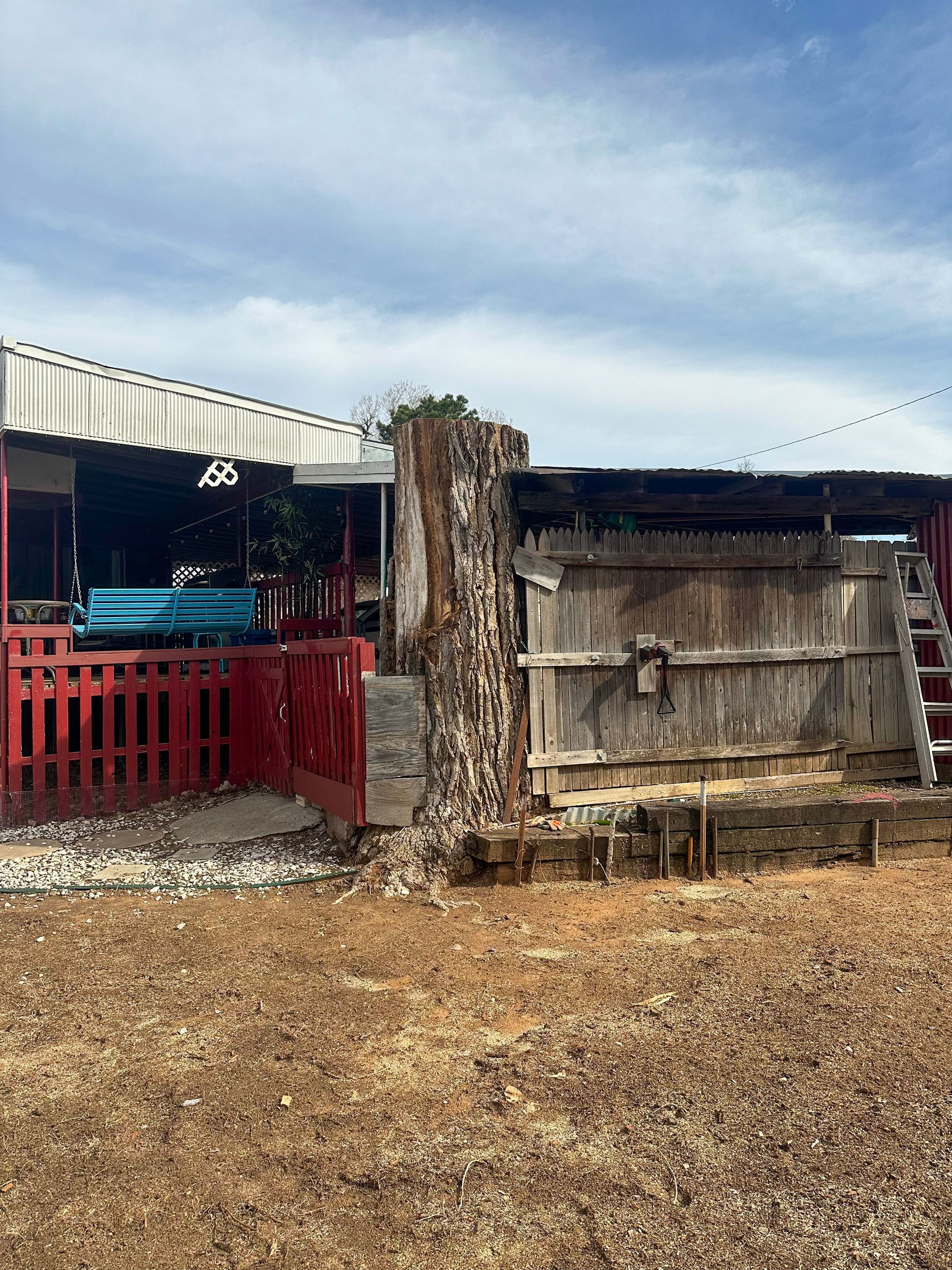 cottonwood tree removal; tree removal; tree service; arborist; tree removal choctaw, OK; tree removal midwest city, ok; tree removal nicoma park, ok; tree service choctaw, ok; tree service midwest city, ok; tree service nicoma park, ok tree removal harrah, tree removal choctaw, tree removal mcloud, tree removal jones, tree removal luther, tree removal edmond, tree removal arcadia, tree removal shawnee, tree removal meeker, tree removal nicoma park, tree removal spencer, tree removal mwc, tree removal midwest city, tree removal del city, tree removal okc, tree removal oklahoma city, tree removal moore, tree removal dale, tree removal midway, tree removal fowler, tree removal jacktown,  tree removal bethel acres, tree removal tecumseh, tree removal pink, tree removal nichols hills, tree removal the village, tree removal wellston, tree removal lake thunderbird, tree removal thunderbird, tree service harrah, tree service choctaw, tree service mcloud, tree service jones, tree service luther, tree service edmond, tree service arcadia, tree service shawnee, tree service meeker, tree service nicoma park, tree service spencer, tree service mwc, tree service midwest city, tree service del city, tree service okc, tree service oklahoma city, tree service moore, tree service dale, tree service midway, tree service fowler, tree service jacktown,  tree service bethel acres, tree service tecumseh, tree service pink, tree service nichols hills, tree service the village, tree service wellston, tree service lake thunderbird, tree service thunderbird, tree services harrah, tree services choctaw, tree services mcloud, tree services jones, tree services luther, tree services edmond, tree services arcadia, tree services shawnee, tree services meeker, tree services nicoma park, tree services spencer, tree services mwc, tree services midwest city, tree services del city, tree services okc, tree services oklahoma city, tree services moore, tree services dale, tree services midway, tree services fowler, tree services jacktown,  tree services bethel acres, tree services tecumseh, tree services pink, tree services nichols hills, tree services the village, tree services wellston, tree services lake thunderbird, tree services thunderbird, tree pruning harrah, tree pruning choctaw, tree pruning mcloud, tree pruning jones, tree pruning luther, tree pruning edmond, tree pruning arcadia, tree pruning shawnee, tree pruning meeker, tree pruning nicoma park, tree pruning spencer, tree pruning mwc, tree pruning midwest city, tree pruning del city, tree pruning okc, tree pruning oklahoma city, tree pruning moore, tree pruning dale, tree pruning midway, tree pruning fowler, tree pruning jacktown,  tree pruning bethel acres, tree pruning tecumseh, tree pruning pink, tree pruning nichols hills, tree pruning the village, tree pruning wellston, tree pruning lake thunderbird, tree pruning thunderbird, tree trimming harrah, tree trimming choctaw, tree trimming mcloud, tree trimming jones, tree trimming luther, tree trimming edmond, tree trimming arcadia, tree trimming shawnee, tree trimming meeker, tree trimming nicoma park, tree trimming spencer, tree trimming mwc, tree trimming midwest city, tree trimming del city, tree trimming okc, tree trimming oklahoma city, tree trimming moore, tree trimming dale, tree trimming midway, tree trimming fowler, tree trimming jacktown,  tree trimming bethel acres, tree trimming tecumseh, tree trimming pink, tree trimming nichols hills, tree trimming the village, tree trimming wellston, tree trimming lake thunderbird, tree trimming thunderbird, stump grinding harrah, stump grinding  choctaw, stump grinding mcloud, stump grinding jones, stump grinding luther, stump grinding  edmond, stump grinding arcadia, stump grinding shawnee, stump grinding meeker, stump grinding nicoma park, stump grinding spencer, stump grinding mwc, stump grinding midwest city, stump grinding del city, stump grinding okc, stump grinding oklahoma city, stump grinding moore, stump grinding dale, stump grinding midway, stump grinding fowler, stump grinding jacktown, stump grinding bethel acres, stump grinding tecumseh, stump grinding pink, stump grinding nichols hills, stump grinding the village, stump grinding wellston, stump grinding lake thunderbird, stump grinding thunderbird, harrah tree removal, choctaw tree removal, mcloud tree removal, jones tree removal, luther tree removal, edmond tree removal, arcadia tree removal, shawnee tree removal, meeker tree removal, nicoma park tree removal, spencer tree removal, mwc tree removal, midwest city tree removal, del city tree removal, okc tree removal, oklahoma city tree removal, moore tree removal, dale tree removal, midway tree removal, fowler tree removal, jacktown tree removal, bethel acres tree removal,  tecumseh tree removal, pink tree removal, nichols hills tree removal, the village tree removal, wellston tree removal, lake thunderbird tree removal, thunderbird tree removal, harrah tree service, choctaw tree service, mcloud tree service, jones tree service, luther tree service, edmond tree service, arcadia tree service, shawnee tree service, meeker tree service, nicoma park tree service, spencer tree service, mwc tree service, midwest city tree service, del city tree service, okc tree service, oklahoma city tree service, moore tree service, dale tree service, midway tree service, fowler tree service, jacktown tree service, bethel acres tree service,  tecumseh tree service, pink tree service, nichols hills tree service, the village tree service, wellston tree service, lake thunderbird tree service, thunderbird tree service, harrah tree services, choctaw tree services, mcloud tree services, jones tree services, luther tree services, edmond tree services, arcadia tree services, shawnee tree services, meeker tree services, nicoma park tree services, spencer tree services, mwc tree services, midwest city tree services, del city tree services, okc tree services, oklahoma city tree services, moore tree services, dale tree services, midway tree services, fowler tree services, jacktown tree services, bethel acres tree services,  tecumseh tree services, pink tree services, nichols hills tree services, the village tree services, wellston tree services, lake thunderbird tree services, thunderbird tree services, harrah tree pruning, choctaw tree pruning, mcloud tree pruning, jones tree pruning, luther tree pruning, edmond tree pruning, arcadia tree pruning, shawnee tree pruning, meeker tree pruning, nicoma park tree pruning, spencer tree pruning, mwc tree pruning, midwest city tree pruning, del city tree pruning, okc tree pruning, oklahoma city tree pruning, moore tree pruning, dale tree pruning, midway tree pruning, fowler tree pruning, jacktown tree pruning, bethel acres tree pruning,  tecumseh tree pruning, pink tree pruning, nichols hills tree pruning, the village tree pruning, wellston tree pruning, lake thunderbird tree pruning, thunderbird tree pruning, harrah tree trimming, choctaw tree trimming, mcloud tree trimming, jones tree trimming, luther tree trimming, edmond tree trimming, arcadia tree trimming, shawnee tree trimming, meeker tree trimming, nicoma park tree trimming, spencer tree trimming, mwc tree trimming, midwest city tree trimming, del city tree trimming, okc tree trimming, oklahoma city tree trimming, moore tree trimming, dale tree trimming, midway tree trimming, fowler tree trimming, jacktown tree trimming, bethel acres tree trimming,  tecumseh tree trimming, pink tree trimming, nichols hills tree trimming, the village tree trimming, wellston tree trimming, lake thunderbird tree trimming, thunderbird tree trimming, harrah stump grinding, choctaw stump grinding, mcloud stump grinding, jones stump grinding, luther stump grinding, edmond stump grinding, arcadia stump grinding, shawnee stump grinding, meeker stump grinding, nicoma park stump grinding, spencer stump grinding, mwc stump grinding, midwest city stump grinding, del city stump grinding, okc stump grinding, oklahoma city stump grinding, moore stump grinding, dale stump grinding, midway stump grinding, fowler stump grinding, jacktown stump grinding, bethel acres stump grinding,  tecumseh stump grinding, pink stump grinding, nichols hills stump grinding, the village stump grinding, wellston stump grinding, lake thunderbird stump grinding, thunderbird stump grinding, harrah arborist, choctaw arborist, mcloud arborist, jones arborist, luther arborist, edmond arborist, arcadia arborist, shawnee arborist, meeker arborist, nicoma park arborist, spencer arborist, mwc arborist, midwest city arborist, del city arborist, okc arborist, oklahoma city arborist, moore arborist, dale arborist, midway arborist, fowler arborist, jacktown arborist, bethel acres arborist,  tecumseh arborist, pink arborist, nichols hills arborist, the village arborist, wellston arborist, lake thunderbird arborist, thunderbird arborist, arborist harrah, arborist choctaw, arborist mcloud, arborist jones, arborist luther, arborist edmond, arborist arcadia, arborist shawnee, arborist meeker, arborist nicoma park, arborist spencer, arborist mwc, arborist midwest city, arborist del city, arborist okc, arborist oklahoma city, arborist moore, arborist dale, arborist midway, arborist fowler, arborist jacktown, arborist bethel acres, arborist tecumseh, arborist pink, arborist nichols hills, arborist the village, arborist wellston, arborist lake thunderbird, arborist thunderbird,