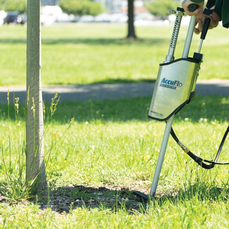 A man pruning a tree.
