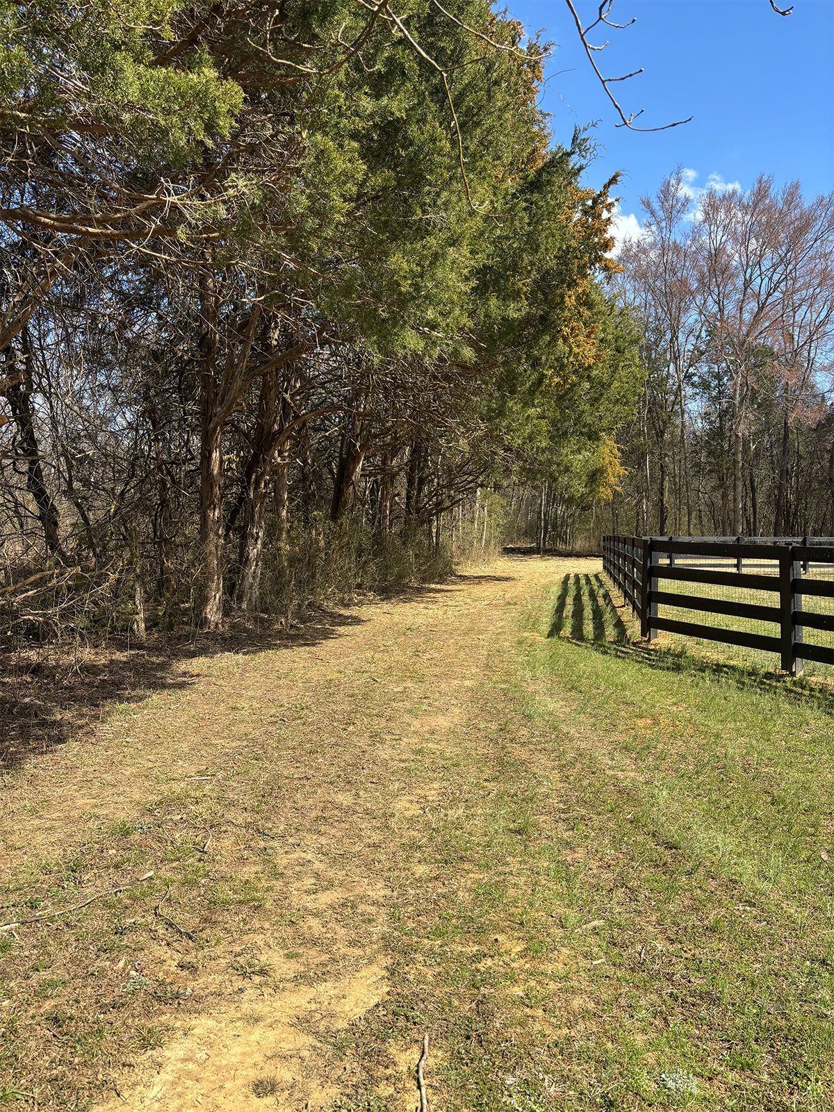 A dirt road going through a field with trees and a fence.