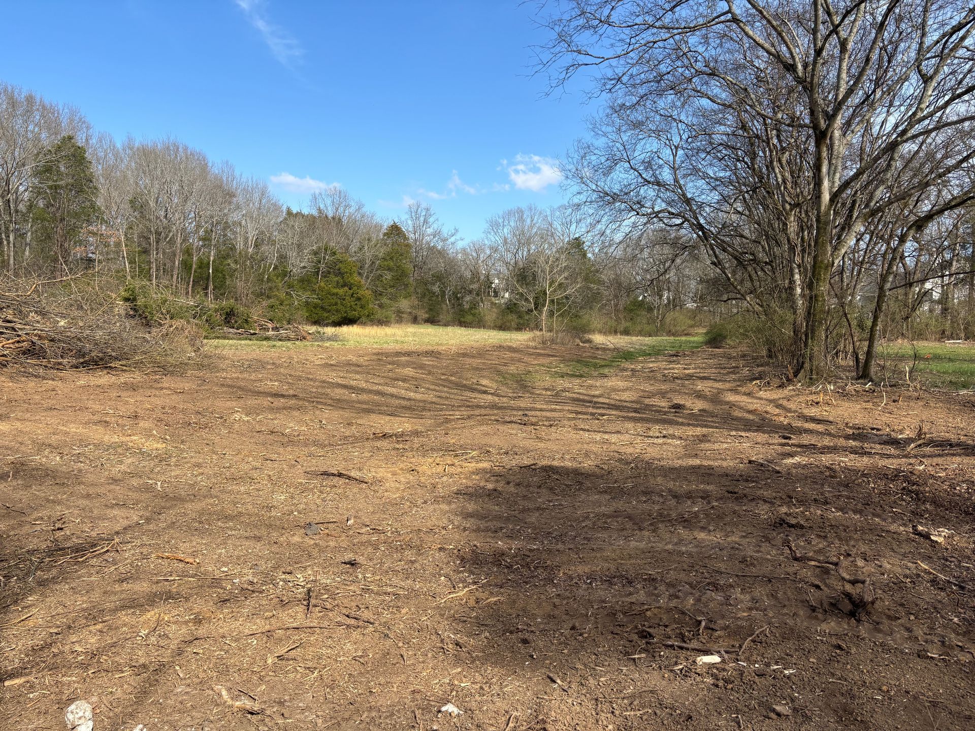A dirt field with trees in the background and a blue sky.