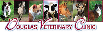 Douglas Veterinary Clinic | Logo