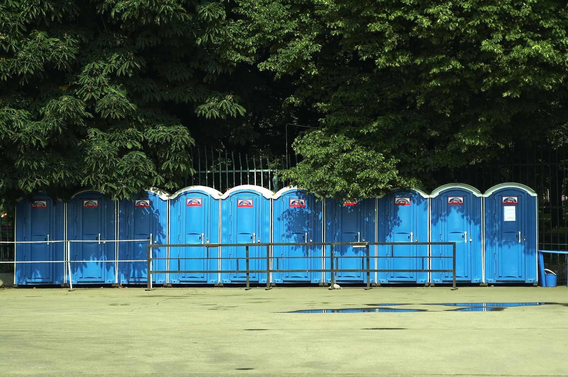Blue portable toilets lined up against a fence, in front of a backdrop of green trees.