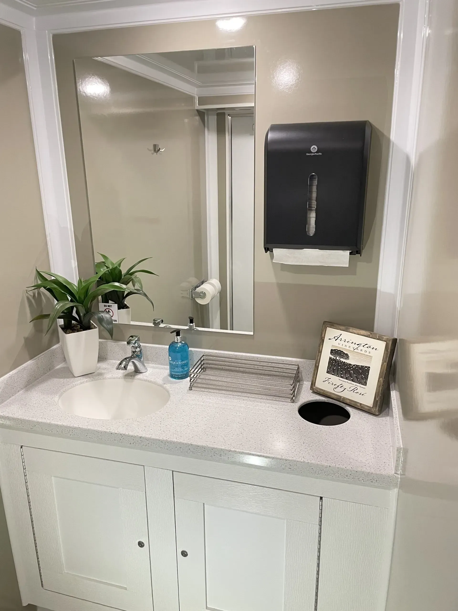 A restroom vanity with mirror, sink, and paper towel dispenser. There is a plant and trash can on the countertop.