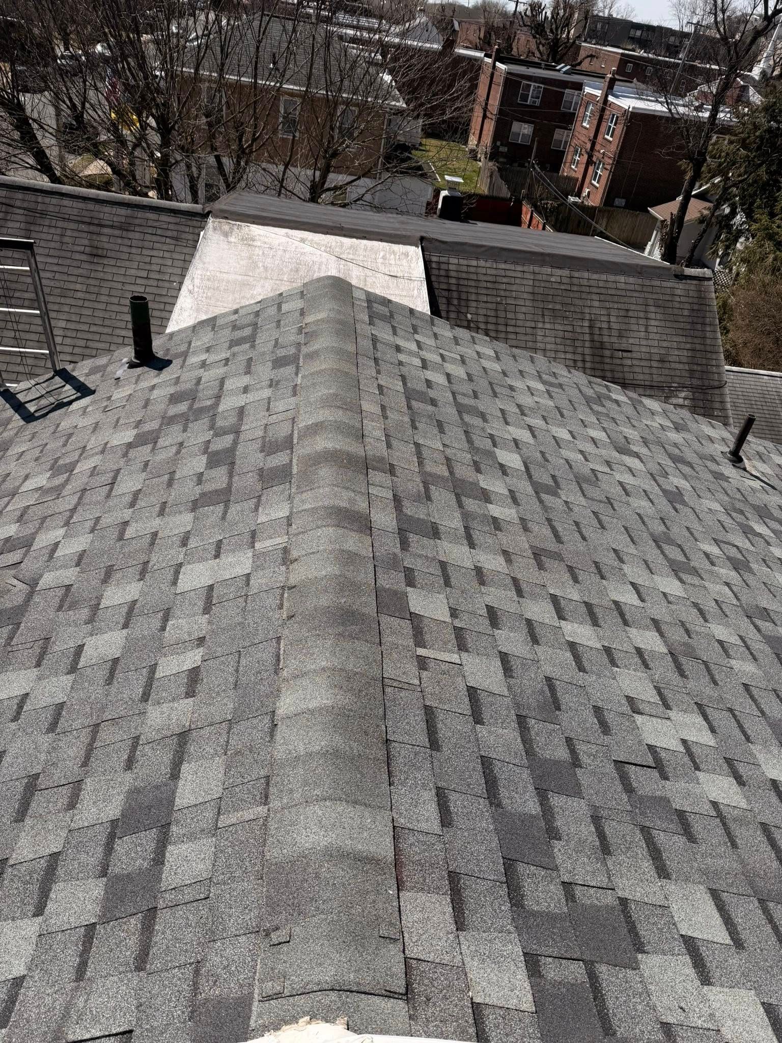 Gray shingled roof with a white patch near the ridge, viewed from above with trees and neighboring houses in the background