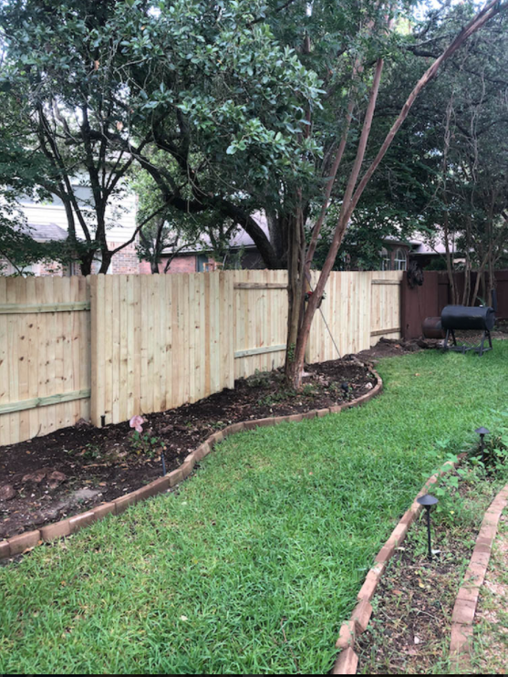Backyard fence