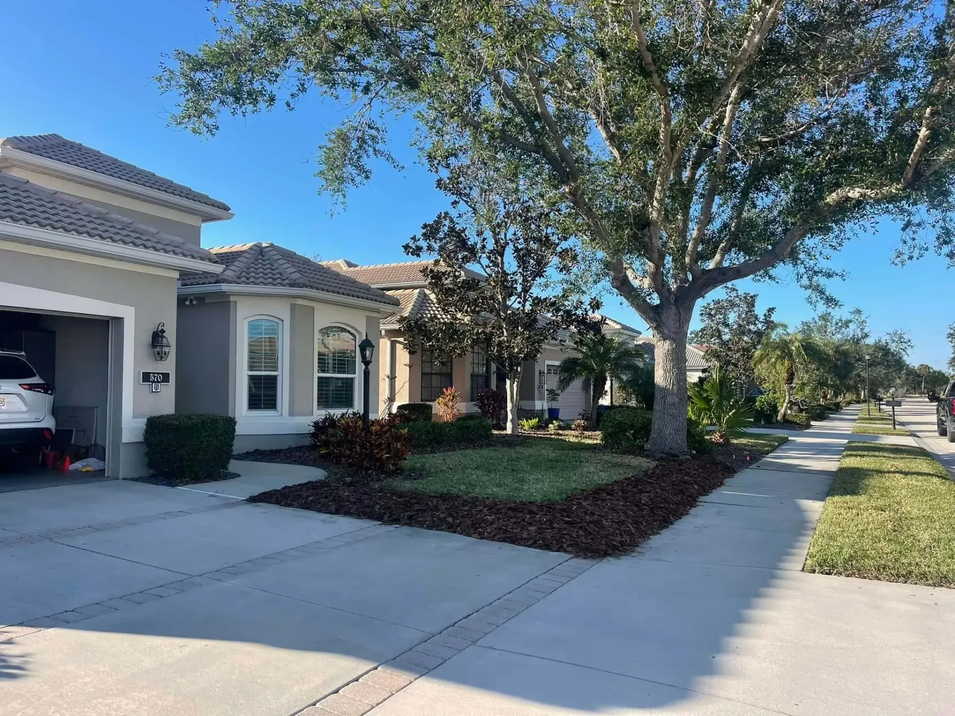 Suburban street with a house, driveway, large tree, and landscaped front yard on a sunny day