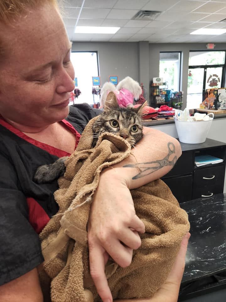 A woman is holding a cat wrapped in a towel
