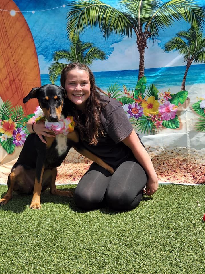A woman is kneeling down next to a dog in front of a beach backdrop.