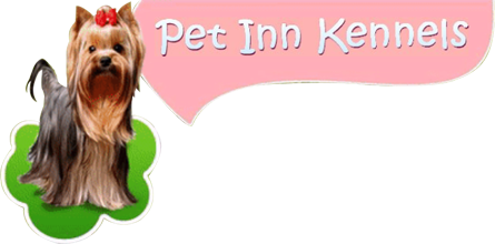 dog and cat boarding