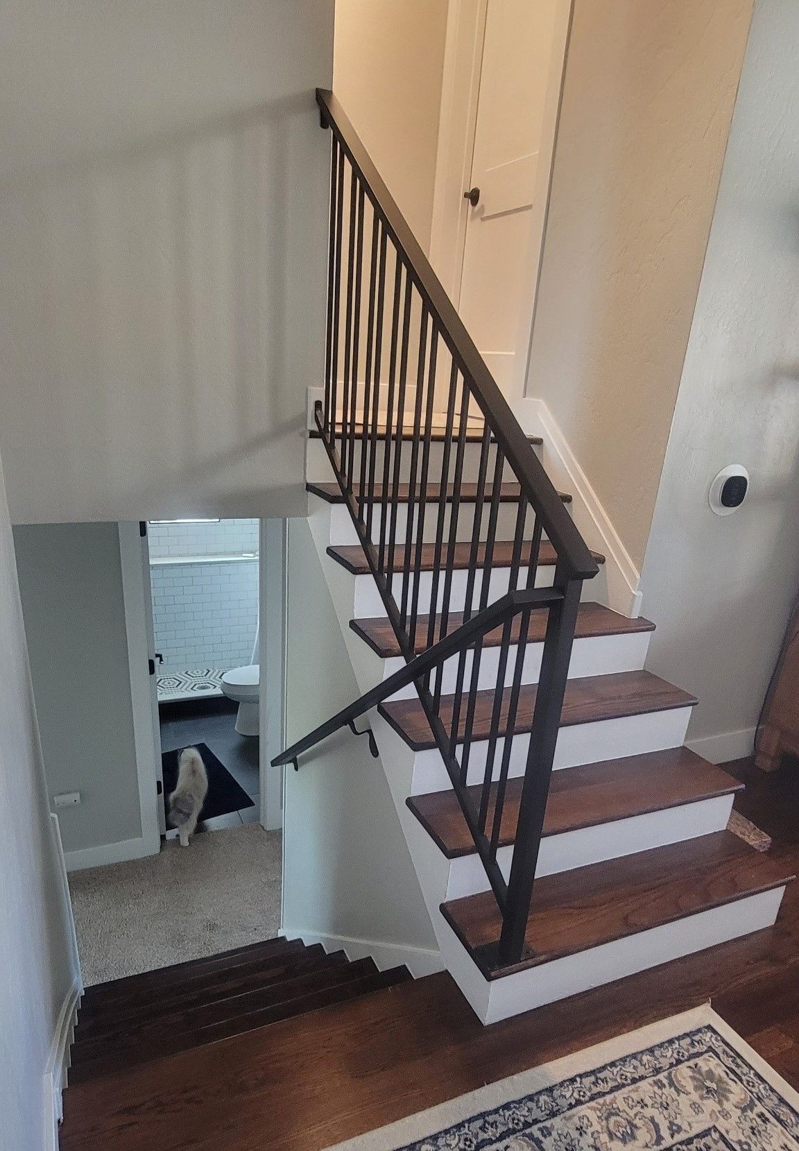 A cat is sitting on a rug next to a staircase in a house.