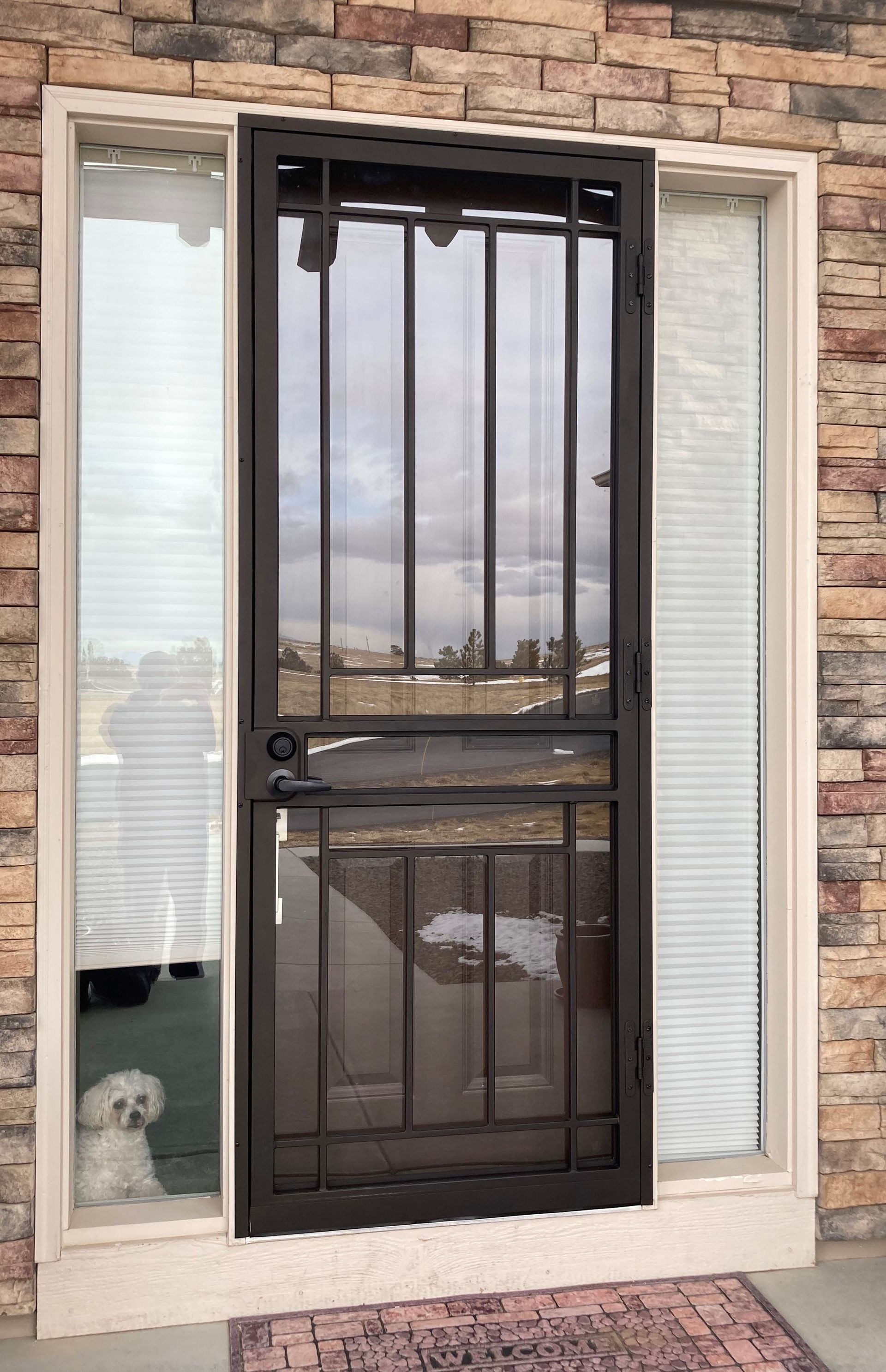 Security Storm Doors