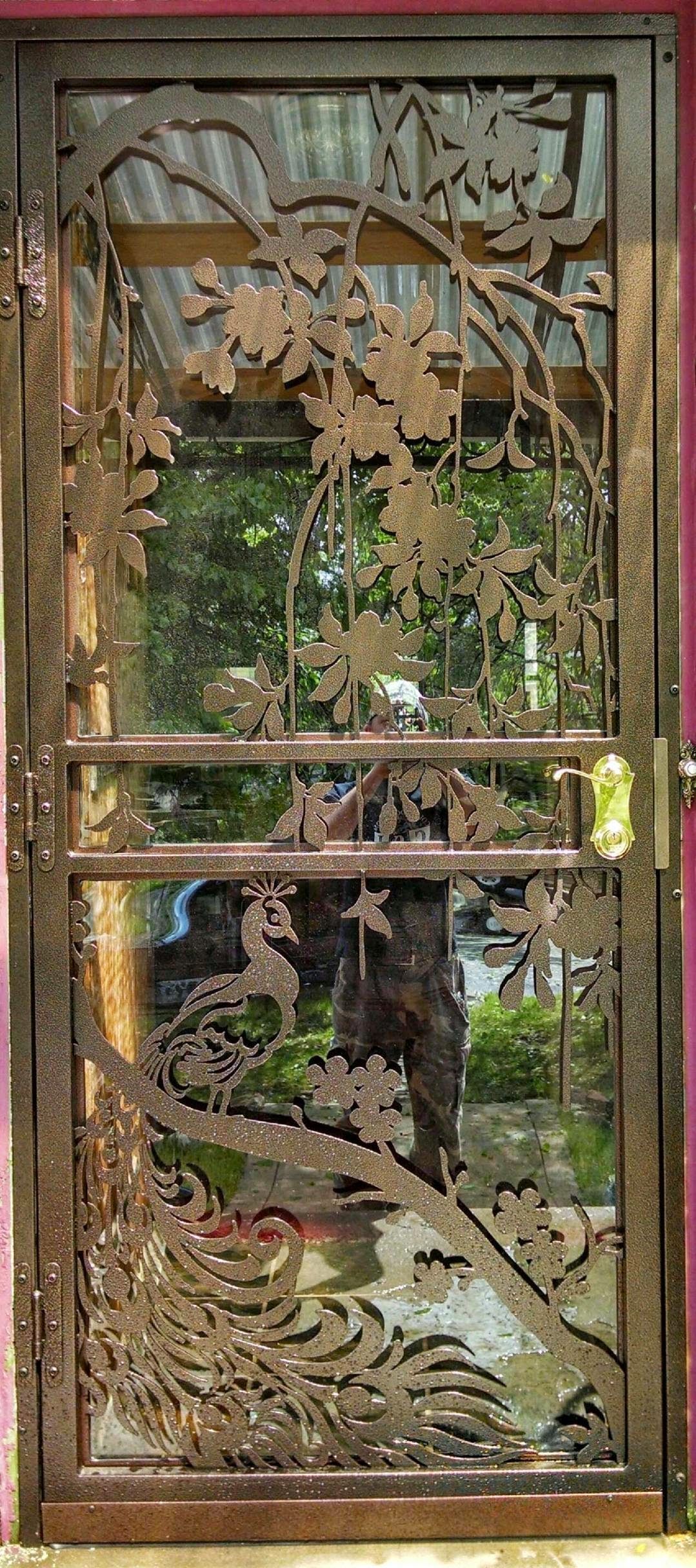 Security Storm Doors