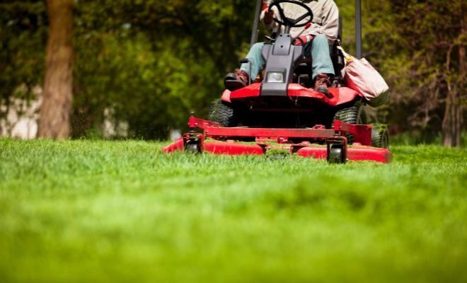 Person mowing a lush green lawn with a red riding mower outdoors