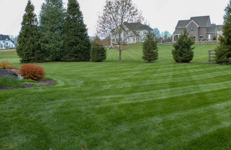Manicured green lawn with striped mowing patterns, shrubs, and houses in a suburban neighborhood
