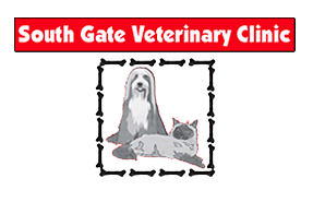 Pet Surgery | Spaying and Neutering | Fort Myers, FL