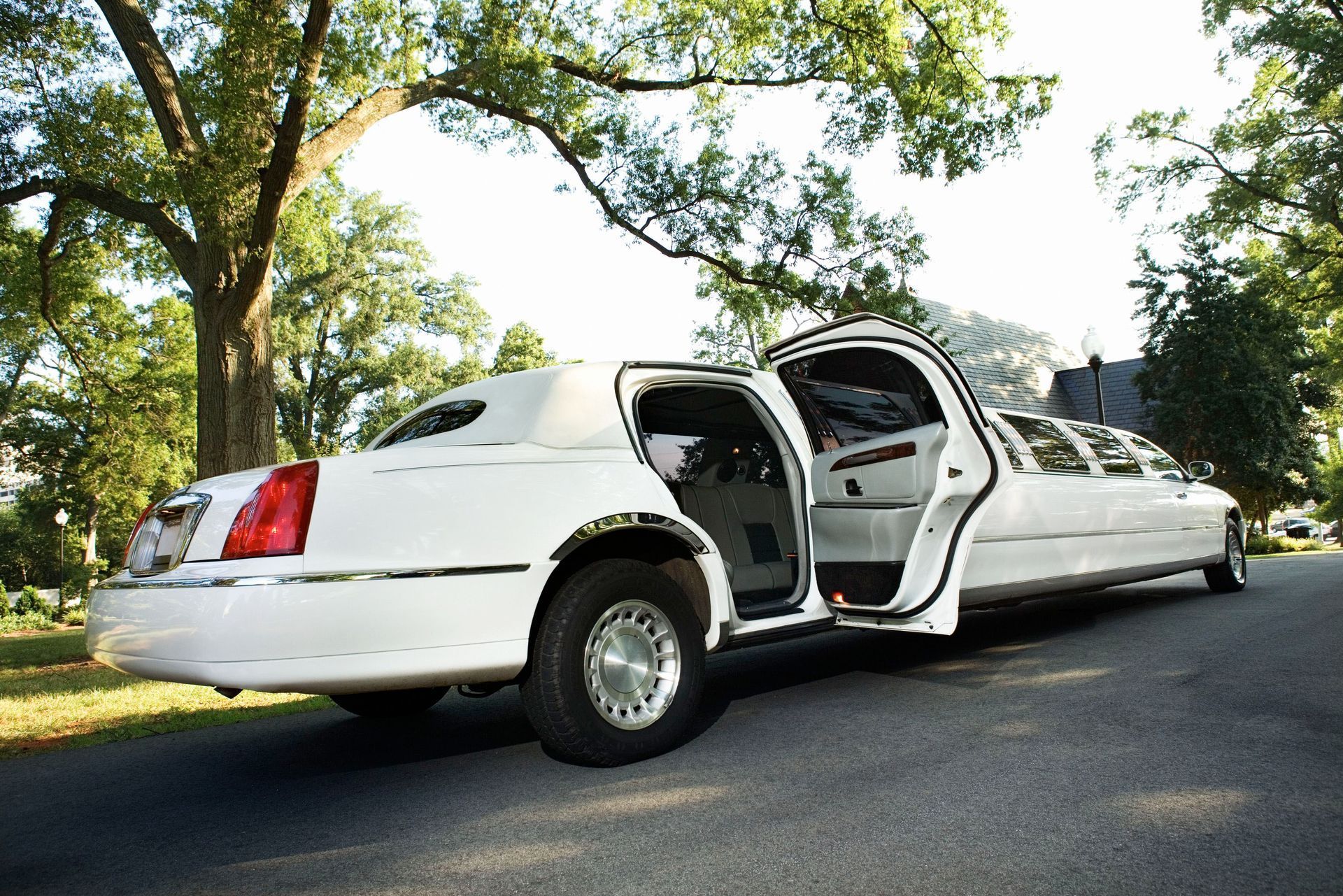 White limousine with open door on a tree-lined road.