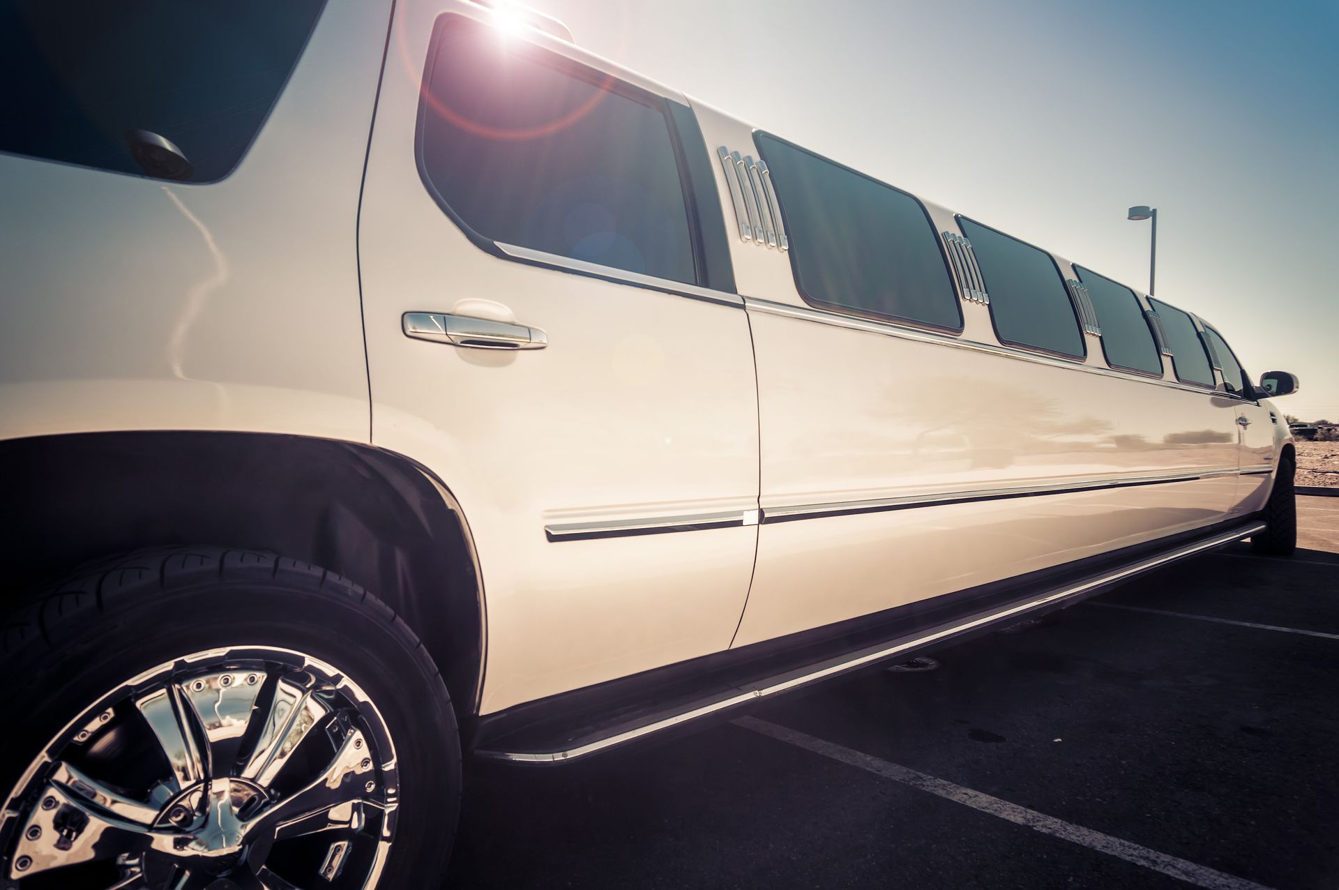 White limousine parked outdoors on a sunny day.