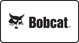 Bobcat