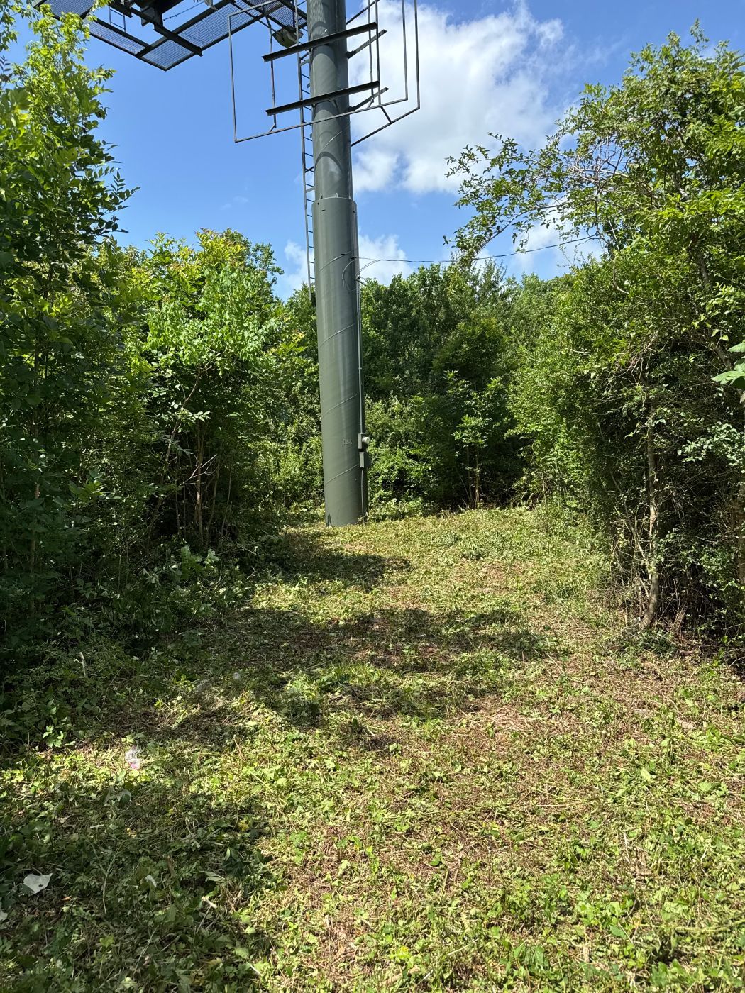 A cleared path through dense green bushes leads to a tall metal support structure against a blue sky.