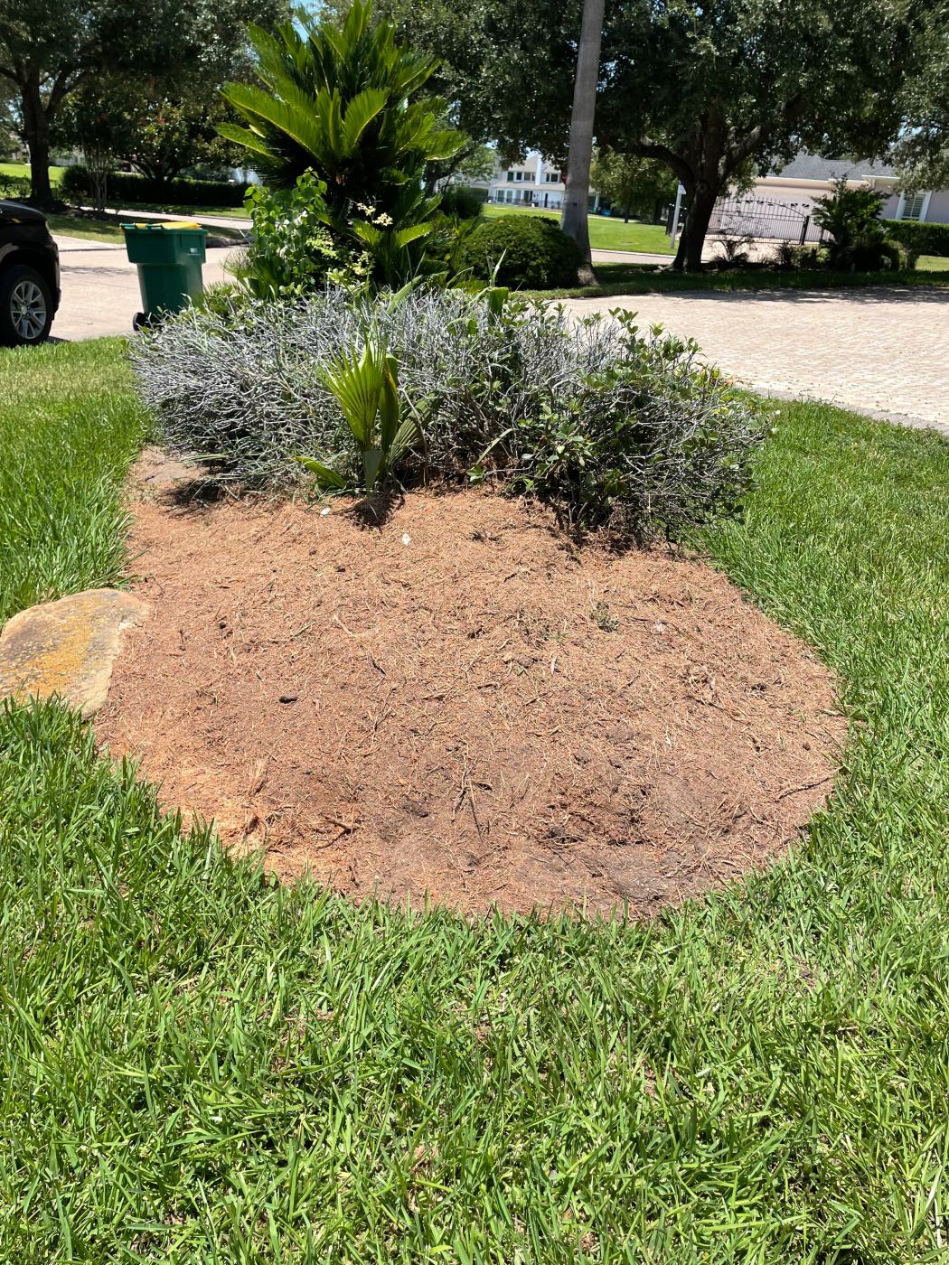 Flower bed with brown mulch, green plants, and grass.