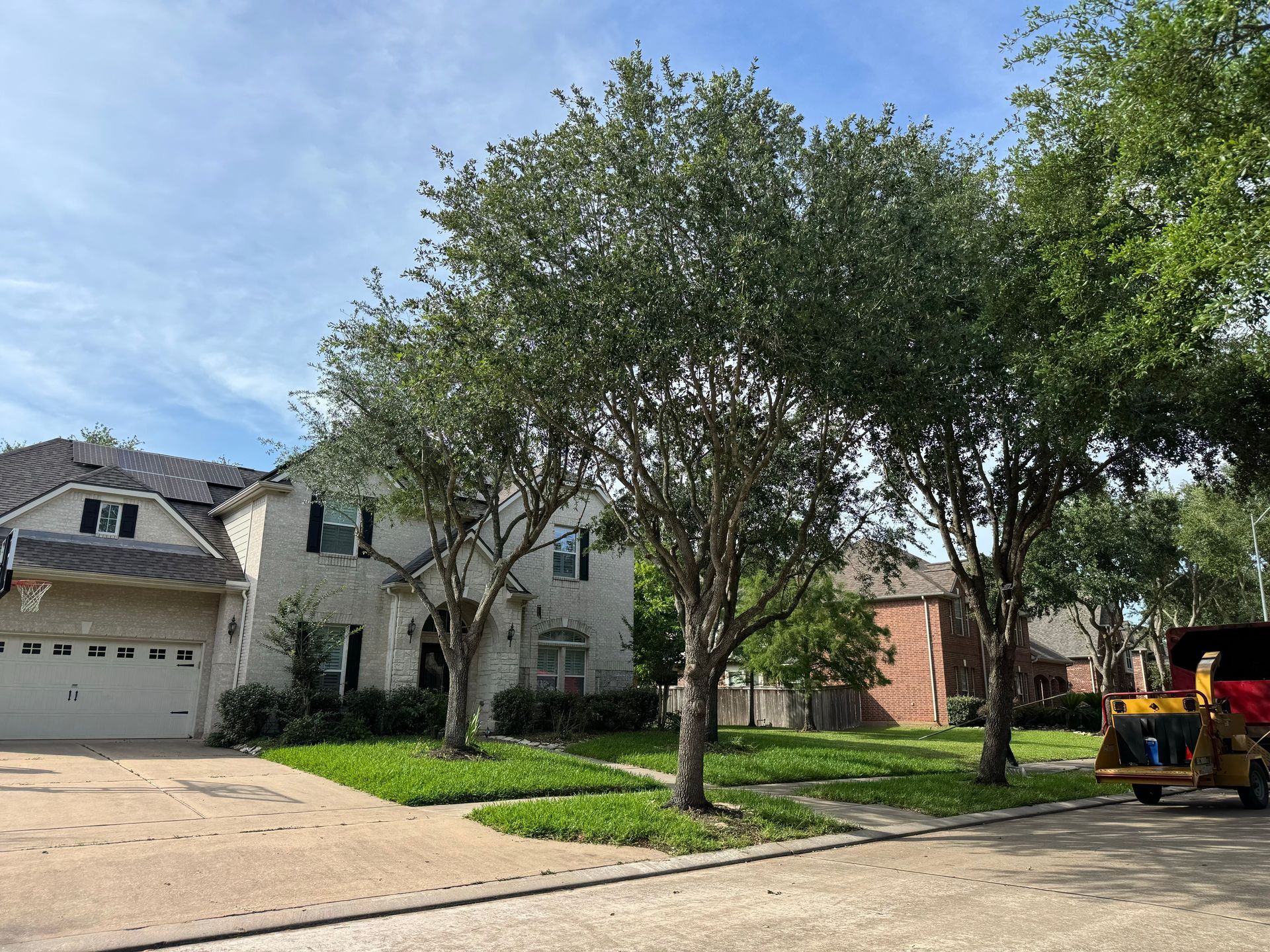 House with trees and a street in front. Blue sky.