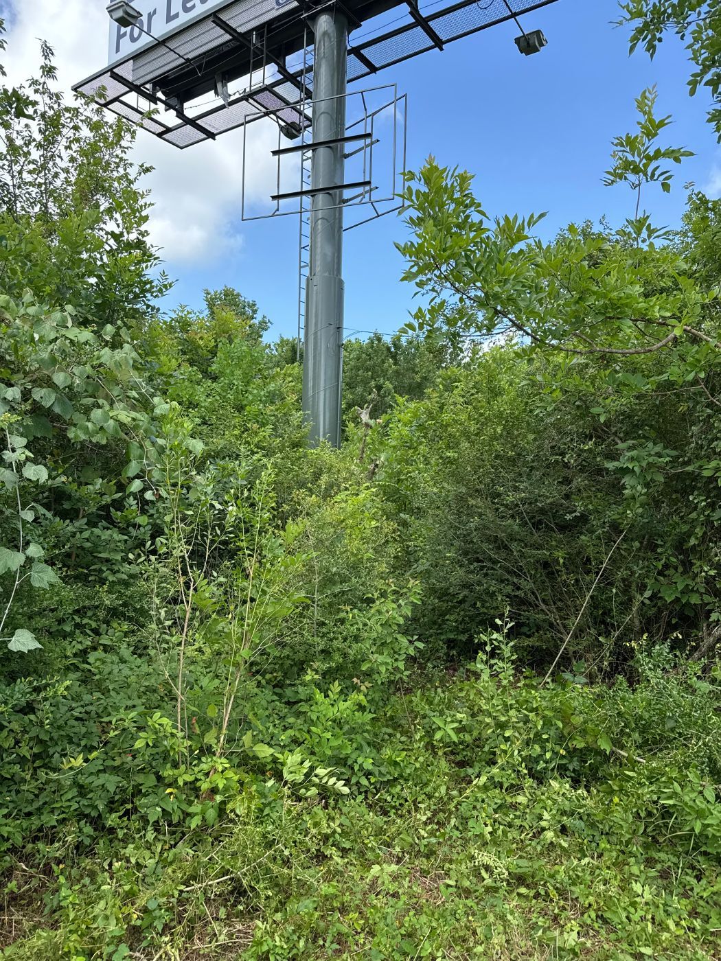 A tall metal tower surrounded by dense green bushes under a blue sky.