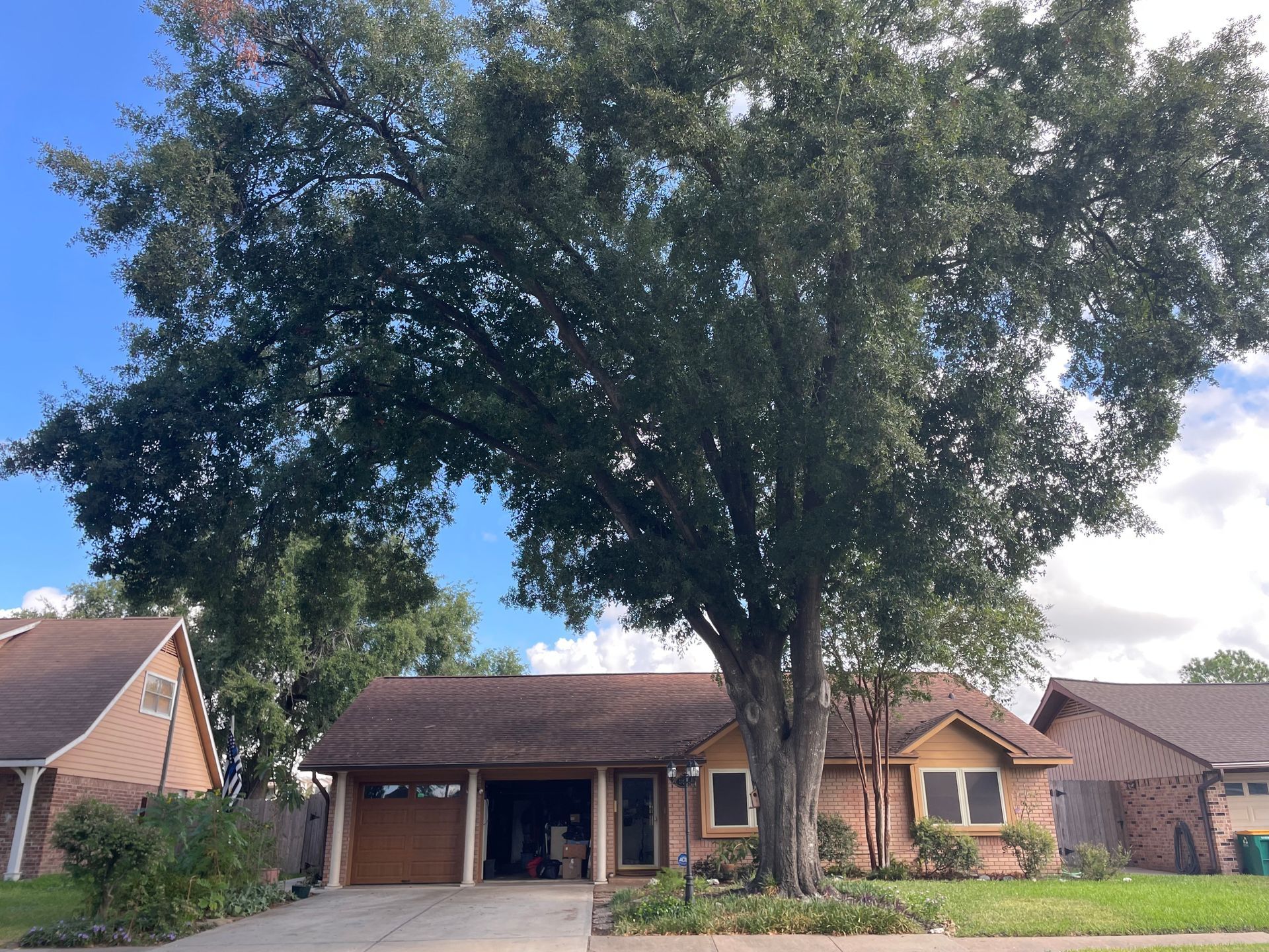 A large tree shades a one-story brick house. Other houses and a blue sky are visible.