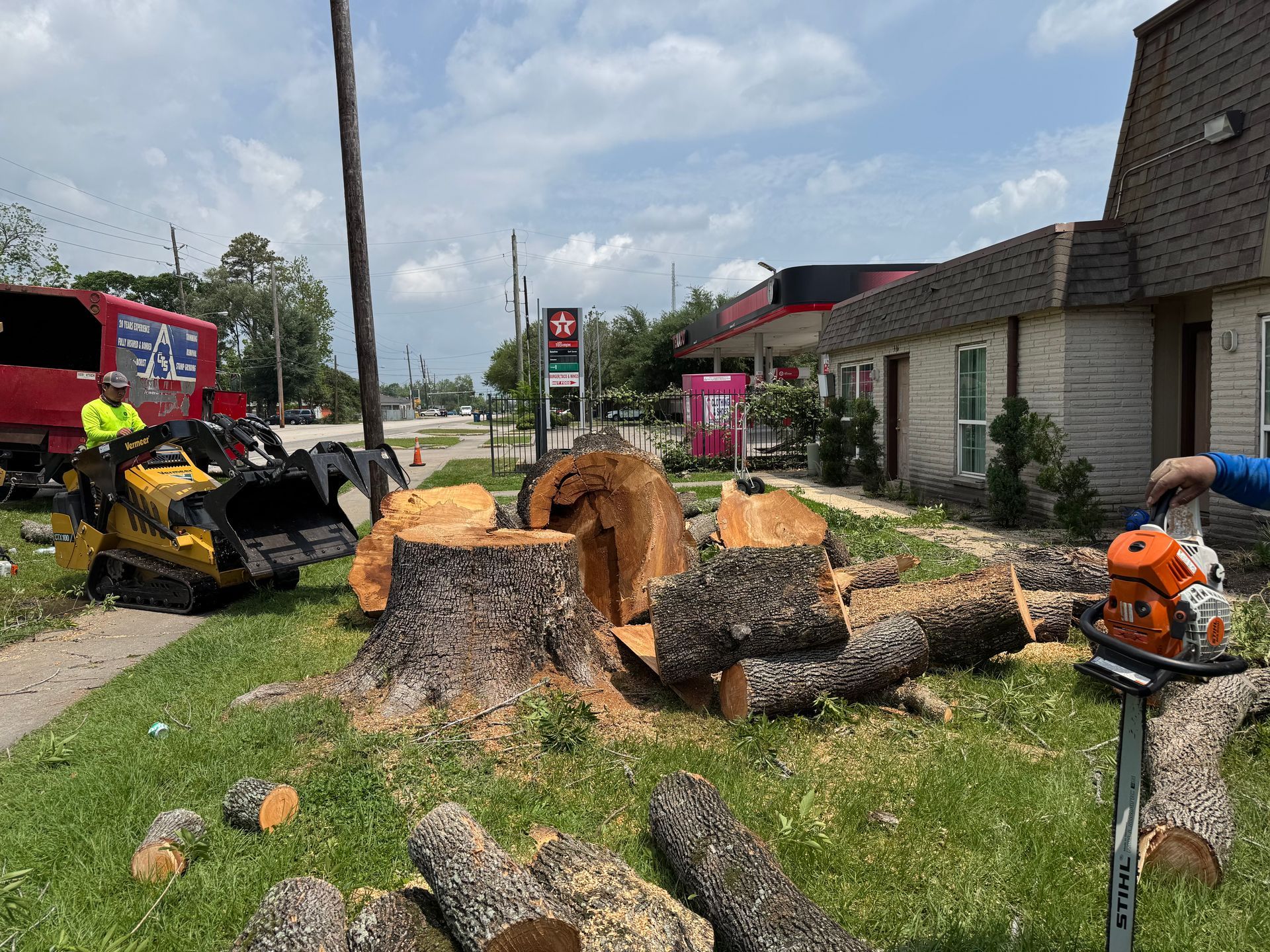 Tree removal: workers using machinery to cut down a large tree next to a building on a sunny day.