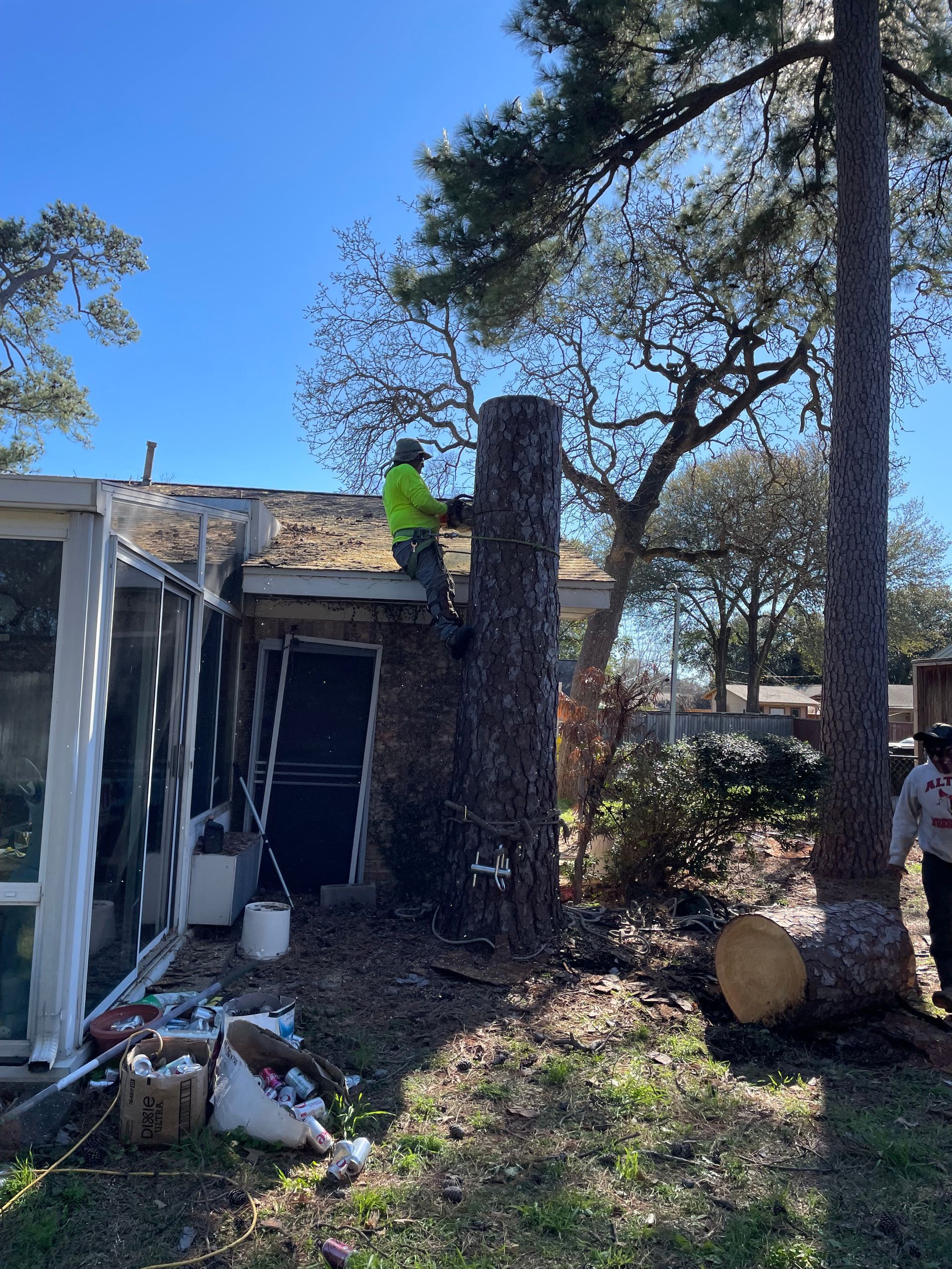 A man is climbing a tree in front of a house.