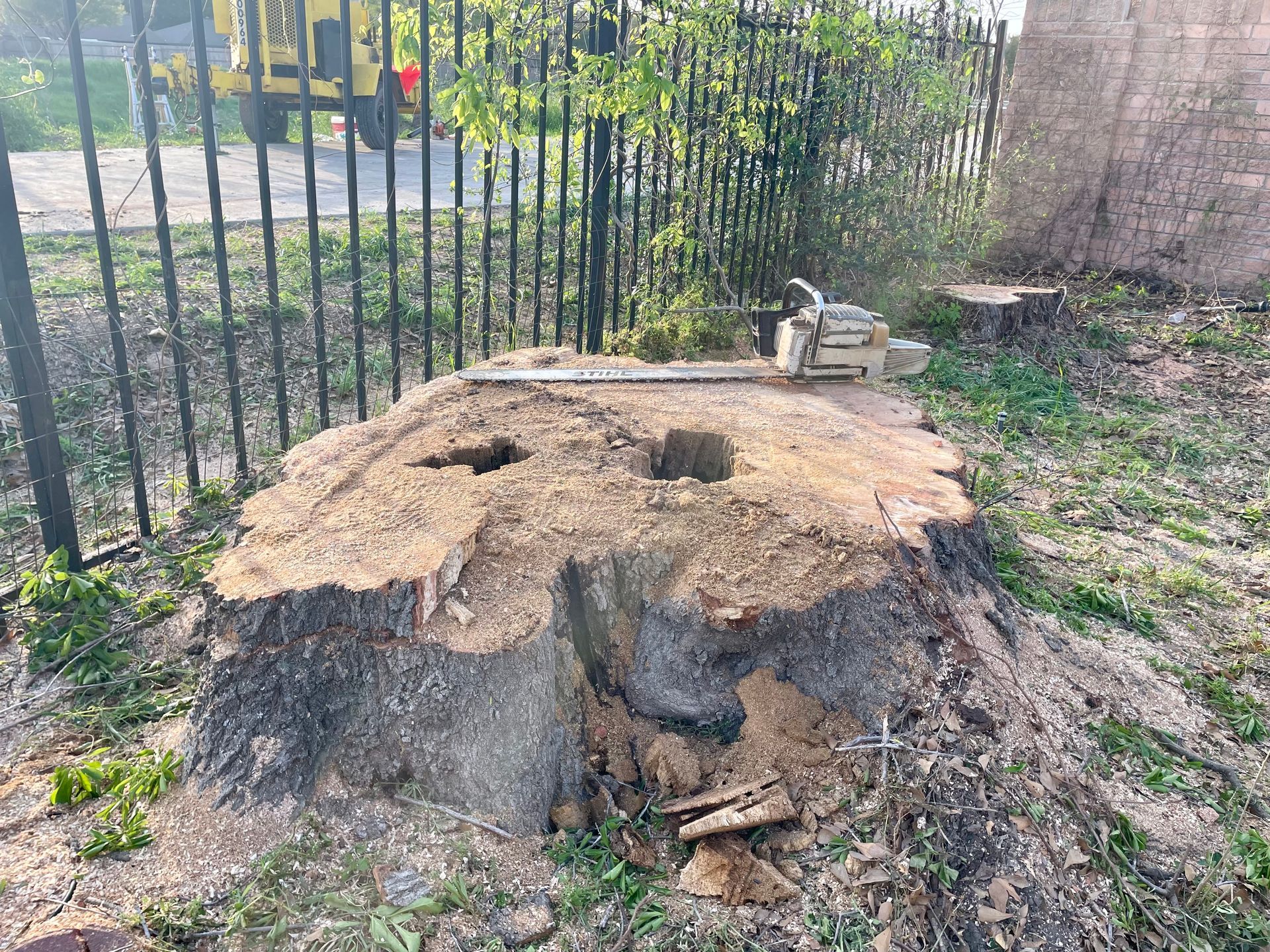 A large tree stump is sitting in the middle of a yard next to a fence.
