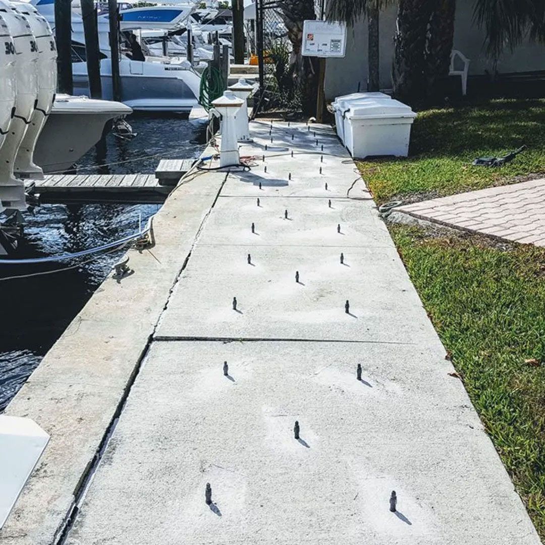 Concrete dock with metal pegs; boats docked on the left, grassy area on the right.