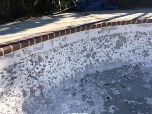 Empty swimming pool with peeling white plaster, brown brick coping.